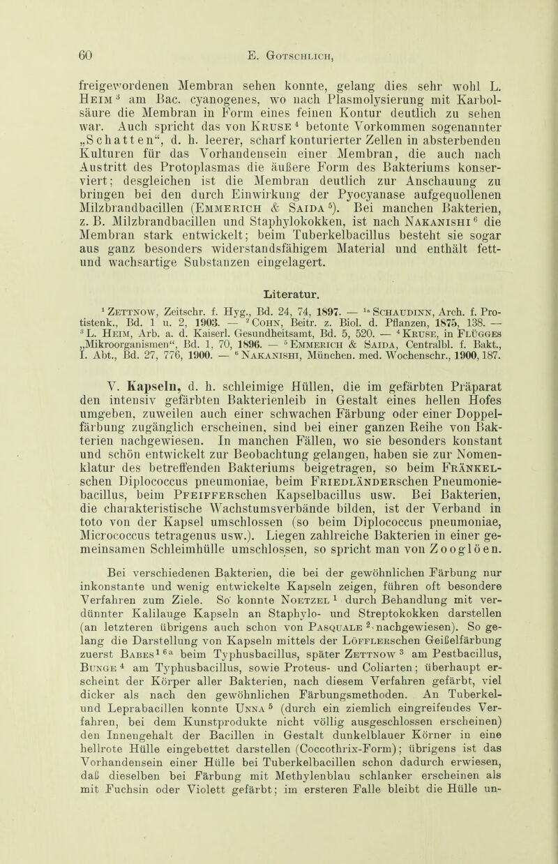 freigev^ordenen Membran sehen konnte, gelang dies sehr wohl L. Heim ^ am Bac. cyanogenes, wo nach Plasmolysierung mit Karbol- säure die Membran in Form eines feinen Kontur deutlich zu sehen war. Auch spricht das von Kruse * betonte Vorkommen sogenannter „Schatten, d. h. leerer, scharf konturierter Zellen in absterbenden Kulturen für das Vorhandensein einer Membran, die auch nach Austritt des Protoplasmas die äußere Form des Bakteriums konser- viert; desgleichen ist die Membran deutlich zur Anschauung zu bringen bei den durch Einwirkung der Pyocyanase aufgequollenen Milzbrandbacillen (Emmerich & Saida Bei manchen Bakterien, z. B. Milzbrandbacillen und Staphylokokken, ist nach Nakanishi  die Membran stark entwickelt; beim Tuberkelbacillus besteht sie sogar aus ganz besonders widerstandsfähigem Material und enthält fett- und wachsartige Substanzen eingelagert. Literatur. ' Zettnow, Zeitschr. f. Hyg., Bd. 24, 74, 1897. — Schatjdinn, Arch. f. Pro- tistenk., Bd. 1 u. 2, 1903. — ^Cohn, Beitr. z. Biol. d. Pflanzen, 1875, 138. — L. Heim, Arb. a. d. Kaiserl. Gesundheitsamt, Bd. 5, 520. — ^ Kruse, in Flügges „Mikroorganismen, Bd. 1, 70, 1896. — ''Emmerich & Saida, Centralbl. f. Bakt., I. Abt., Bd. 27, 776, 1900. — Nakanishi, München, med. Wochenschr., 1900,187. V. Kapseln, d. h. schleimige Hüllen, die im gefärbten Präparat den intensiv gefärbten Bakterienleib in Gestalt eines hellen Hofes umgeben, zuweilen auch einer schwachen Färbung oder einer Doppel- färbung zugänglich erscheinen, sind bei einer ganzen Reihe von Bak- terien nachgewiesen. In manchen Fällen, wo sie besonders konstant und schön entwickelt zur Beobachtung gelangen, haben sie zur Nomen- klatur des betreifenden Bakteriums beigetragen, so beim Fränkel- schen Diplococcus pneumoniae, beim FniEDLÄNDERschen Pneumonie- bacillus, beim PpEiFFERscheu Kapselbacillus usw. Bei Bakterien, die charakteristische Wachstumsverbände bilden, ist der Verband in toto von der Kapsel umschlossen (so beim Diplococcus pneumoniae, Micrococcus tetragenus usw.). Liegen zahlreiche Bakterien in einer ge- meinsamen Schleimhülle umschlossen, so spricht man von Zooglöen. Bei verschiedenen Bakterien, die bei der gewöhnlichen Färbung nur inkonstante und wenig entwickelte Kapseln zeigen, führen oft besondere Verfahren zum Ziele. So' konnte Noetzbl ^ durch Behandlung mit ver- dünnter Kalilauge Kapseln an Staphylo- und Streptokokken darstellen (an letzteren übrigens auch schon von Pasqualb 2.nachgewiesen). So ge- lang die Darstellung von Kapseln mittels der LöFFLERSchen Geißelfärbung zuerst Babes^^^ beim Typhusbacillus, später Zettnow ^ am Pestbacillus, Bunge* am Typhusbacillus, sowie Proteus- und Coliarten; überhaupt er- scheint der Körper aller Bakterien, nach diesem Verfahren gefärbt, viel dicker als nach den gewöhnlichen Pärbungsmethoden. An Tuberkel- und Leprabacillen konnte Unna ^ (durch ein ziemlich eingreifendes Ver- fahren, bei dem Kunstprodukte nicht völlig ausgeschlossen erscheinen) den Innengehalt der Bacillen in Gestalt dunkelblauer Körner in eine hellrote Hülle eingebettet darstellen (Coccothrix-Porm); übrigens ist das Vorhandensein einer Hülle bei Tuberkelbacillen schon dadurch erwiesen, daß dieselben bei Färbung mit Methylenblau schlanker erscheinen als mit Fuchsin oder Violett gefärbt; im ersteren Falle bleibt die Hülle un-