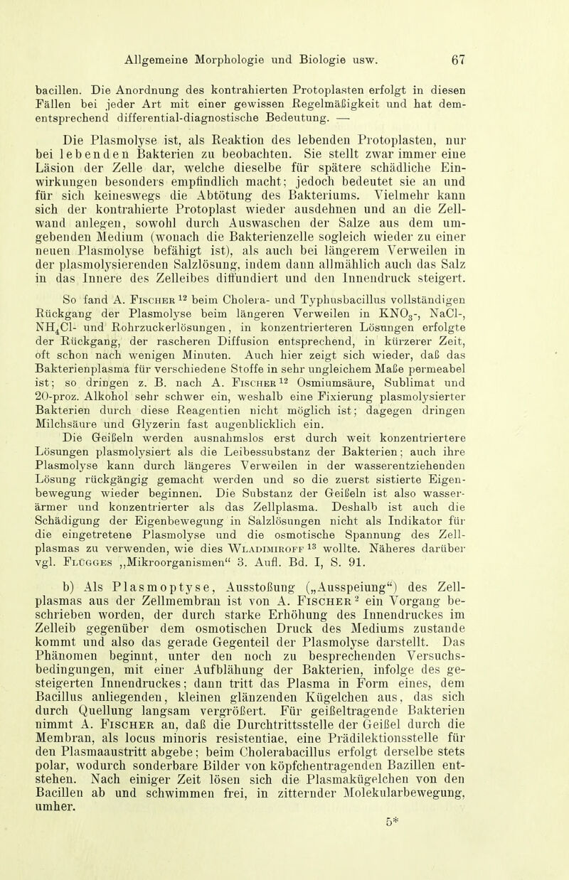 bacillen. Die Anordnung des kontrahierten Protoplasten erfolgt in diesen Fällen bei jeder Art mit einer gewissen Regelmäßigkeit und hat dem- entsprechend differential-diagnostische Bedeutung. — Die Plasmolyse ist, als Reaktion des lebenden Protoplasten, nur bei lebenden Bakterien zu beobachten. Sie stellt zwar immer eine Läsion der Zelle dar, welche dieselbe für spätere schädliche Ein- wirkungen besonders empflndlich macht; jedoch bedeutet sie an und für sich keineswegs die Abtötung des Bakteriums. Vielmehr kann sich der kontrahierte Protoplast wieder ausdehnen und an die Zell- wand anlegen, sowohl durch Auswaschen der Salze aus dem um- gebenden Medium (wonach die Bakterienzelle sogleich wieder zu einer neuen Plasmolyse befähigt ist), als auch bei längerem Verweilen in der plasmolysierenden Salzlösung, indem dann allmählich auch das Salz in das Innere des Zelleibes dittundiert und den Innendruck steigert. So fand A. Fischer beim Cholera- und Typhusbacillus vollständigen Rückgang der Plasmolyse beim längeren Verweilen in KNO3-, NaCl-, NH^Cl- und Rohrzuckerlösungen, in konzentrierteren Lösungen erfolgte der Rückgang, der rascheren Diffusion entsprechend, in kürzerer Zeit, oft schon nach wenigen Minuten. Auch hier zeigt sich wieder, daß das Bakterienplasma für verschiedene Stoffe in sehr ungleichem Maße permeabel ist; so dringen z. B. nach A. Fischer ^2 Osmiumsäure, Sublimat und 20-proz. Alkohol sehr schwer ein, weshalb eine Fixierung plasmolysierter Bakterien durch diese Reagentien nicht möglich ist; dagegen dringen Milchsäure und Glyzerin fast augenblicklich ein. Die Geißeln werden ausnahmslos erst durch weit konzentriertere Lösungen plasmolysiert als die Leibessubstanz der Bakterien; auch ihre Plasmolyse kann durch längeres Verweilen in der wasserentziehenden Lösung rückgängig gemacht werden und so die zuerst sistierte Eigen- bewegung wieder beginnen. Die Substanz der Geißeln ist also wasser- ärmer und konzentrierter als das Zellplasma. Deshalb ist auch die Schädigung der Eigenbewegung in Salzlösungen nicht als Indikator für die eingetretene Plasmolyse und die osmotische Spannung des Zell- plasmas zu verwenden, wie dies Wladimiroff wollte. Näheres darüber vgl. Flügges ,,Mikroorganismen 3. Aufl. Bd. I, S. 91. b) Als Plasmoptyse, Ausstoßung („Ausspeiung) des Zell- plasmas aus der Zellmembran ist von A. Fischer'^ ein Vorgang be- schrieben worden, der durch starke Erhöhung des Innendruckes im Zelleib gegenüber dem osmotischen Druck des Mediums zustande kommt und also das gerade Gegenteil der Plasmolyse darstellt. Das Phänomen beginnt, unter den noch zu besprechenden Versuchs- bedingungen, mit einer Aufblähung der Bakterien, infolge des ge- steigerten Innendruckes; dann tritt das Plasma in Form eines, dem Bacillus anliegenden, kleinen glänzenden Kügelchen aus, das sich durch Quellung langsam vergrößert. Für geißeltragende Bakterien nimmt A. Fischer an, daß die Durchtrittsstelle der Geißel durch die Membran, als locus minoris resistentiae, eine Prädilektionsstelle für den Plasmaaustritt abgebe; beim Cholerabacillus erfolgt derselbe stets polar, wodurch sonderbare Bilder von köpfchentragenden Bazillen ent- stehen. Nach einiger Zeit lösen sich die Plasmakügelchen von den Bacillen ab und schwimmen frei, in zitternder Molekularbewegung, umher. 5*