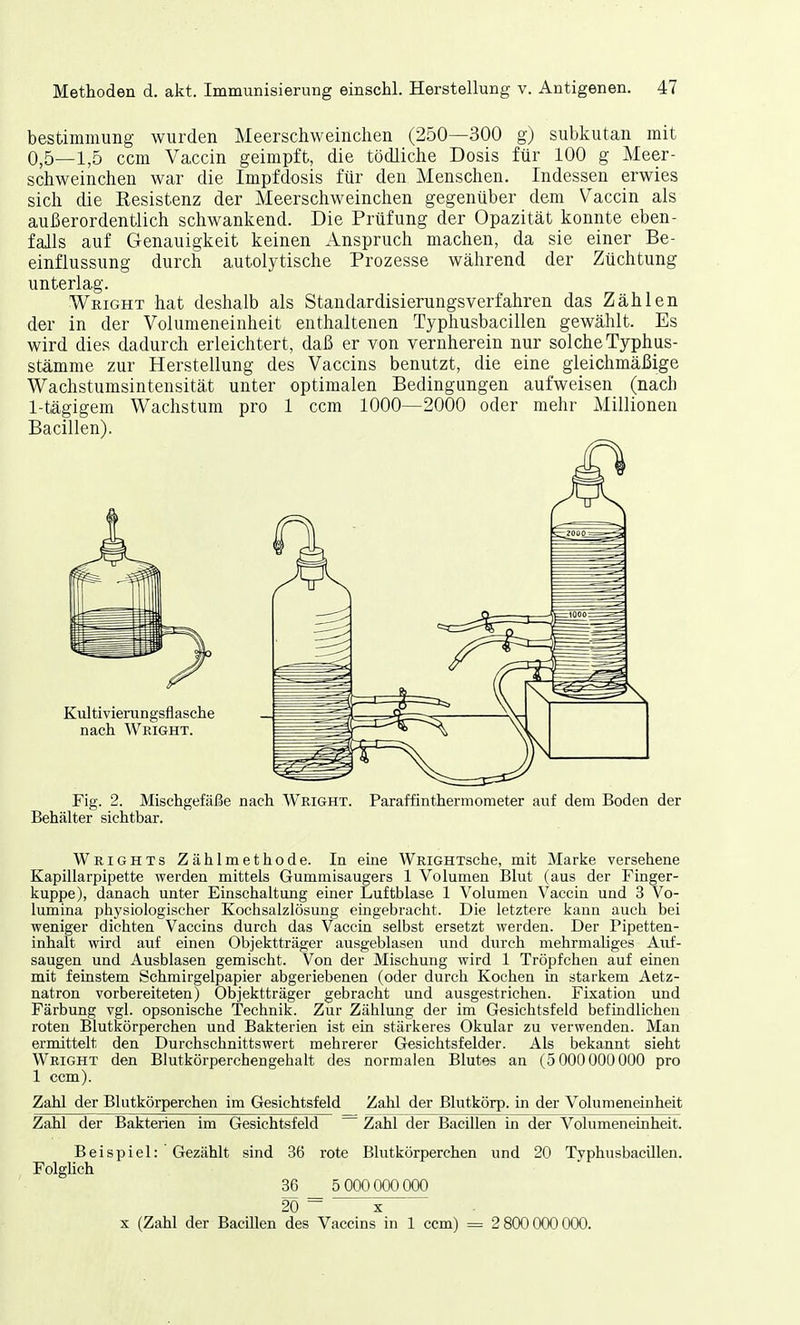 bestimmung wurden Meerschweinchen (250—300 g) subkutan mit 0,5—1,5 ccm Vaccin geimpft, die tödliche Dosis für 100 g Meer- schweinchen war die Impfdosis für den Menschen. Indessen erwies sich die Resistenz der Meerschweinchen gegenüber dem Vaccin als außerordentlich schwankend. Die Prüfung der Opazität konnte eben- falls auf Genauigkeit keinen Anspruch machen, da sie einer Be- einflussung durch autolytische Prozesse während der Züchtung unterlag. Wright hat deshalb als Standardisierungsverfahren das Zählen der in der Volumeneinheit enthaltenen Typhusbacillen gewählt. Es wird dies dadurch erleichtert, daß er von vernherein nur solche Typhus- stämme zur Herstellung des Vaccins benutzt, die eine gleichmäßige Wachstumsintensität unter optimalen Bedingungen aufweisen (nach 1-tägigem Wachstum pro 1 ccm 1000—2000 oder mehr Millionen Bacillen). Fig. 2. Mischgefäße nach Wright. Paraffinthermometer auf dem Boden der Behälter sichtbar. Wrights Zählmethode. In eine WRiGHTSche, mit Marke versehene Kapillarpipette werden mittels Gummisaugers 1 Volumen Blut (aus der Finger- kuppe), danach unter Einschaltung einer Luftblase 1 Volumen Vaccin und 3 Vo- lumina physiologischer Kochsalzlösung eingebracht. Die letztere kann auch bei weniger dichten Vaccins durch das Vaccin selbst ersetzt werden. Der Pipetten- inhalt wird auf einen Objektträger ausgeblasen und durch mehrmaliges Auf- saugen und Ausblasen gemischt. Von der Mischung wird 1 Tröpfchen auf einen mit feinstem Schmirgelpapier abgeriebenen (oder durch Kochen in starkem Aetz- natron vorbereiteten) Objektträger gebracht und ausgestrichen. Fixation und Färbung vgl. opsonische Technik. Zur Zählung der im Gesichtsfeld befindlichen roten Blutkörperchen und Bakterien ist ein stärkeres Okular zu verwenden. Man ermittelt den Durchschnittswert mehrerer Gesichtsfelder. Als bekannt sieht Wright den Blutkörperchengehalt des normalen Blutes an (5 000000000 pro 1 ccm). Zahl der Blutkörperchen im Gesichtsfeld Zahl der Blutkörp. in der Volumeneinheit Zahl der Bakterien im Gesichtsfeld Zahl der Bacillen in der Volumeneinheit. Beispiel: Gezählt sind 36 rote Blutkörperchen und 20 Typhusbacillen. Folglich 36 _ 5 000000000 20 ~~ x x (Zahl der Bacillen des Vaccins in 1 ccm) = 2 800 000000.