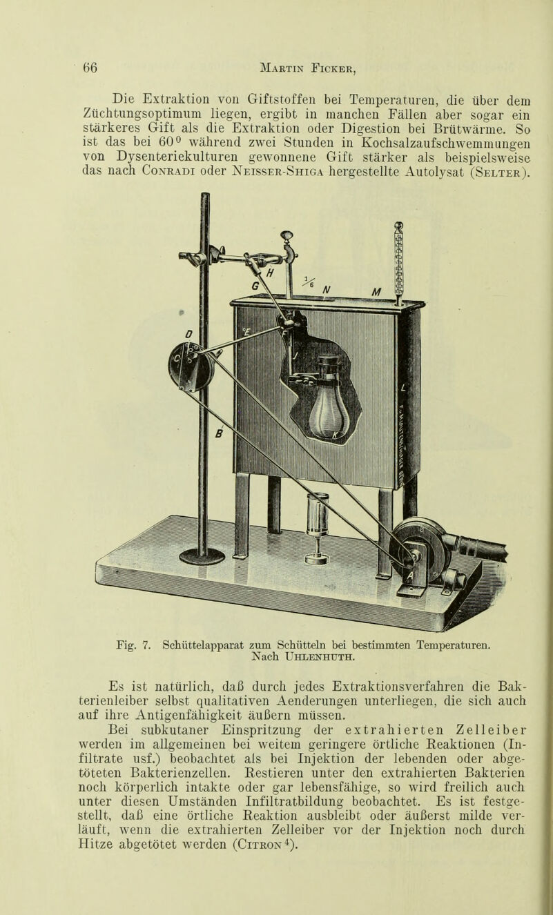 Die Extraktion von Giftstoffen bei Temperaturen, die über dem Züchtungsoptimum liegen, ergibt in manchen Fällen aber sogar ein stärkeres Gift als die Extraktion oder Digestion bei Brütwärme. So ist das bei 60° während zwei Stunden in Kochsalzaufschwemmungen von Dysenteriekulturen gewonnene Gift stärker als beispielsweise das nach Conradi oder Neisser-Shiga hergestellte Autolysat (Selter). Fig. 7. Schüttelapparat zum Schütteln bei bestimmten Temperaturen. Nach Uhlenhüth. Es ist natürlich, daß durch jedes Extraktionsverfahren die Bak- terienleiber selbst qualitativen Aenderungen unterliegen, die sich auch auf ihre Antigenfähigkeit äußern müssen. Bei subkutaner Einspritzung der extrahierten Zelleiber werden im allgemeinen bei weitem geringere örtliche Reaktionen (In- filtrate usf.) beobachtet als bei Injektion der lebenden oder abge- töteten Bakterienzellen. Restieren unter den extrahierten Bakterien noch körperlich intakte oder gar lebensfähige, so wird freilich auch unter diesen Umständen Infiltratbildung beobachtet. Es ist festge- stellt, daß eine örtliche Reaktion ausbleibt oder äußerst milde ver- läuft, wenn die extrahierten Zelleiber vor der Injektion noch durch Hitze abgetötet werden (Citron4).