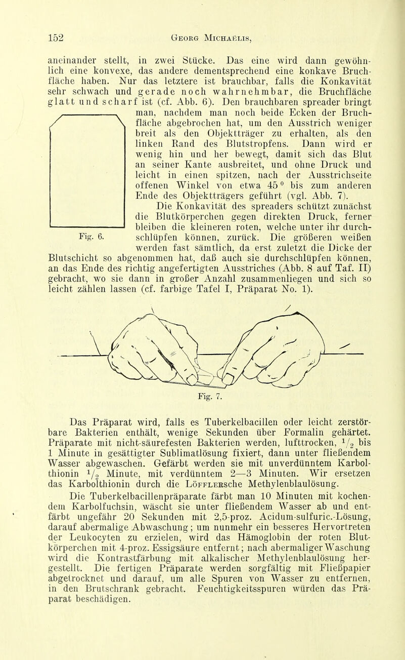 aneinander stellt, in zwei Stücke. Das eine wird dann gewöhn- lich eine konvexe, das andere dementsprechend eine konkave Bruch- fläche haben. Nur das letztere ist brauchbar, falls die Konkavität sehr schwach und gerade noch wahrnehmbar, die Bruchfläche glatt und scharf ist (cf. Abb. 6). Den brauchbaren spreader bringt . , man, nachdem man noch beide Ecken der Bruch- / \ fläche abgebrochen hat, um den Ausstrich weniger breit als den Objektträger zu erhalten, als den linken Rand des Blutstropfens. Dann wird er wenig hin und her bewegt, damit sich das Blut an seiner Kante ausbreitet, und ohne Druck und leicht in einen spitzen, nach der Ausstrichseite offenen Winkel von etwa 45 ° bis zum anderen Ende des Objektträgers geführt (vgl. Abb. 7). Die Konkavität des spreaders schützt zunächst die Blutkörperchen gegen direkten Druck, ferner ' bleiben die kleineren roten, welche unter ihr durch- Fig. 6. schlüpfen können, zurück. Die größeren weißen werden fast sämtlich, da erst zuletzt die Dicke der Blutschicht so abgenommen hat, daß auch sie durchschlüpfen können, an das Ende des richtig angefertigten Ausstriches (Abb. 8 auf Taf. II) gebracht, wo sie dann in großer Anzahl zusammenliegen und sich so leicht zählen lassen (cf. farbige Tafel I, Präparat No. 1). Fig. 7. Das Präparat wird, falls es Tuberkelbacillen oder leicht zerstör- bare Bakterien enthält, wenige Sekunden über Eormalin gehärtet. Präparate mit nicht-säurefesten Bakterien werden, lufttrocken, i/, bis 1 Minute in gesättigter Sublimatlösung fixiert, dann unter fließendem Wasser abgewaschen. Gefärbt werden sie mit unverdünntem Karbol- thionin ^/o Minute, mit verdünntem 2—3 Minuten. Wir ersetzen das Karbolthionin durch die LöFFLEESche Methylenblaulösung. Die Tuberkelbacillenpräparate färbt man 10 Minuten mit kochen- dem Karbolfuchsin, wäscht sie unter fließendem Wasser ab und ent- färbt ungefähr 20 Sekunden mit 2,5-proz. Acidum-sulfuric.-Lösung, darauf abermalige Abwaschung; um nunmehr ein besseres Hervortreten der Leukocyten zu erzielen, wird das Hämoglobin der roten Blut- körperchen mit 4-proz. Essigsäure entfernt; nach abermaliger Waschung wird die Kontrastfärbung mit alkalischer Methylenblaulösung her- gestellt. Die fertigen Präparate werden sorgfältig mit Fließpapier abgetrocknet und darauf, um alle Spuren von Wasser zu entfernen, in den Brutschrank gebracht. Feuchtigkeitsspuren würden das Prä- parat beschädigen.