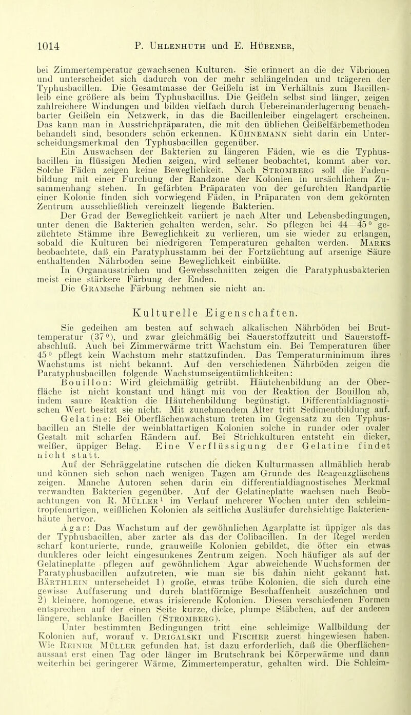 bei Zimmertemperatur gewachsenen Kulturen. Sie erinnert an die der Vibrionen und unterscheidet sich dadurch von der mehr schlängehiden und trägeren der Typhusbaciilen. Die Gesamtmasse der Geißeln ist im Verhältnis zum Bacillen- leib eine größere als beün Typhusbacillus. Die Geißeln selbst sind länger, zeigen zahlreichere Windungen und bilden vielfach durch Uebereinanderlagerung benach- barter Geißeln ein Netzwerk, in das die Bacillenleiber eingelagert erscheinen. Das kann man in Ausstrichpräparaten, die mit den üblichen Geißelfärbemetlioden behandelt sind, besonders schön erkennen. Kühnemann sieht darin ein Unter- scheidungsmerkmal den Typhusbaciilen gegenüber. Ein Auswachsen der Bakterien zu längeren Fäden, wie es die Typhus- baciilen in flüssigen Medien zeigen, wird seltener beobachtet, kommt aber vor. Solche Fäden zeigen keine Beweglichkeit. Nach Stromberg soll die Faden- bildung mit einer Furchung der Randzone der Kolonien in ursächlichem Zu- sammenhang stehen. In gefärbten Präparaten von der gefurchten liandpartie einer Kolonie finden sich vorwiegend Fäden, in Präparaten von dem gekörnten Zentrum ausschließlich vereinzelt liegende Bakterien. Der Grad der Beweglichkeit variiert je nach Alter und Lebensbedingungen, unter denen die Bakterien gehalten werden, sehr. So pflegen bei 44—45ge- züchtete Stämme ihre Beweglichkeit zu verlieren, um sie wieder zu erlangen, sobald die Kulturen bei niedrigeren Temperaturen gehalten werden. Marks beobachtete, daß ein Paratyphusstamm bei der Fortzüchtung auf arsenige Säure enthaltenden Nährboden seine Beweglichkeit einbüßte. In Organausstrichen und Gewebsschnitten zeigen die Paratyphusbakterien meist eine stärkere Färbung der Enden. Die GRAMsche Färbung nehmen sie nicht an. Kulturelle Eigenschaften. Sie gedeihen am besten auf schwach alkalischen Nährböden bei Brut- temperatur (37 0), zwar gleichmäßig bei Sauerstoffzutritt und Sauorstoff- abschluß. Auch bei Zimmerwärme tritt Wachstum ein. Bei Temperaturen über 45 pflegt kein Wachstum mehr stattzufinden. Das Temperaturminimum ihres Wachstums ist nicht bekannt. Auf den verschiedenen Nährböden zeigen die Paratyphusbacillen folgende Wachstumseigentümlichkeiten: Bouillon: Wird gleichmäßig getrübt. Häutchenbildung an der Ober- fläche ist nicht konstant und hängt mit von der Reaktion der Bouillon ab, indem saure Reaktion die Häutchenbildung begünstigt. Differentialdiagnosri- schen Wert besitzt sie nicht. Mit zunehmendem Alter tritt Sedinientbildung auf. Gelatine: Bei Oberflächenwachstura treten im Gegensatz zu den Typhus- baciilen an Stelle der weinblattartigen Kolonien solche in runder oder ovaler Gestalt mit scharfen Rändern auf. Bei Strichkulturen entsteht ein dicker, weißer, üppiger Belag. Eine Verflüssigung der Gelatine findet n i c h t s t a 11. Auf der Schräggelatine rutschen die dicken Kulturmassen allmählich herab und können sich schon nach wenigen Tagen am Grunde des Reagenzgläschens zeigen. Manche Autoren sehen darin ein differentialdiagnostisches Merkmal verwandten Bakterien gegenüber. Auf der Gelatineplatte wachsen nach Beob- achtungen von R. Müller 1 im Verlauf mehrerer Wochen unter den schleim- tropfenartigen, weißlichen Kolonien als seitlicha Ausläufer durchsichtige Bakterien- häute hervor. Agar: Das Wachstum auf der gewöhnlichen Agarplatte ist üppiger als das der Typhusbaciilen, aber zarter als das der Colibacillen. In der Regel wurden scharf konturierte, runde, grauweiße Kolonien gebildet, die öfter ein etwas dunkleres oder leicht eingesunkenes Zentrum zeigen. Noch häufiger als auf der Gelatineplatte pflegen auf gewöhnlichem Agar abweichende Wuchsformen der Paratyphusbacillen aufzutreten, wie man sie bis dahin nicht gekannt hat. Bärthlein unterscheidet 1) große, etwas trübe Kolonien, die sich durch eine gewisse Auffaserung und durch blattförmige Beschaffenheit auszeichnen und 2) kleinere, homogene, etwas irisierende Kolonien. Diesen verschiedenen Formen entsprechen auf der einen Seite kurze, dicke, plumpe Stäbchen, auf der anderen längere, schlanke Bacillen (Stromberg). Unter bestimmten Bedingungen tritt eine schleimige Wallbildung der Kolonien auf, worauf v. Drigalski und Fischer zuerst hingewiesen haben. Wie Rkinkr Müller gefunden hat. ist dazu erforderlich, daß die Oberfläclien- aussaat erst einen Tag oder länger im Brutsciirank bei Körperwärme und dann weiterhin bei geringerer Wärme, Zimmertemperatur, gehalten wird. Die Schleim-