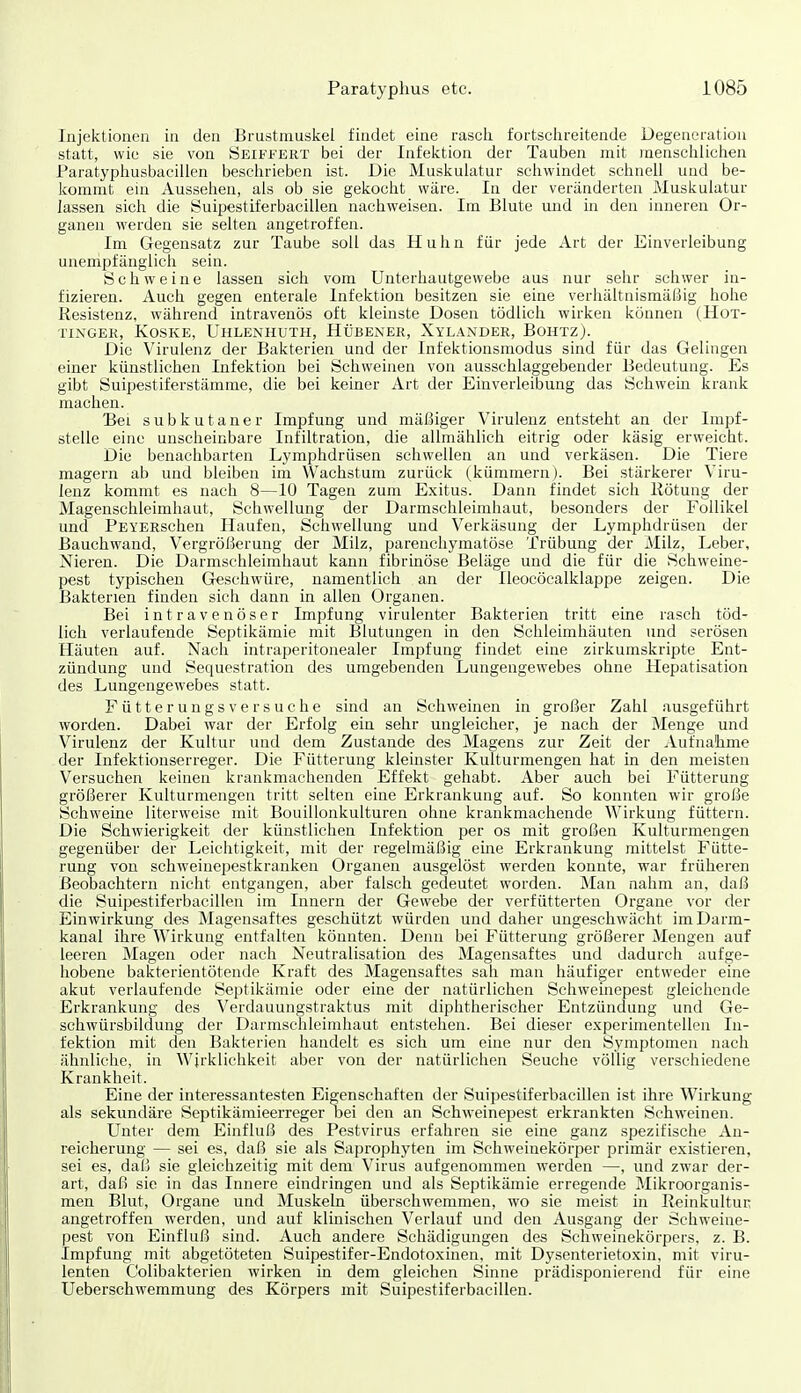 Injektionen in den Brustmuskel findet eine rasch fortschreitende Degeneration statt, wie sie von Seiffert bei der Infektion der Tauben mit menschlichen Paratyphusbacillen beschrieben ist. Die Muskulatur schwindet schnell und be- kommt ein Aussehen, als ob sie gekocht wäre. In der veränderten Muskulatur lassen sich die Öuipestü'erbacillen nachweisen. Im Blute und in den inneren Or- ganen werden sie selten angetroffen. Im Gegensatz zur Taube soll das Huhn für jede Art der Einverleibung unempfänglich sein. Schweine lassen sich vom Unterhautgewebe aus nur sehr schwer in- fizieren. Auch gegen enterale Infektion besitzen sie eine verhältnismäßig hohe Resistenz, während intravenös oft kleinste Dosen tödlich wirken können (Hox- TINGEK, KOSKE, UhLENHUTH, HÜBENER, XyLANDER, BoHTZ). Die Virulenz der Bakterien und der Infektionsmodus sind für das Gelingen einer künstlichen Infektion bei Schweinen von ausschlaggebender Bedeutung. Es gibt Suipestiferstämme, die bei keiner Art der Einverleibung das Schwein krank machen. Bei subkutaner Impfung und mäßiger Virulenz entsteht an der Impf- stelle eine unscheinbare Infiltration, die allmählich eitrig oder käsig erweicht. Die benachbarten Lymphdrüsen schwellen an und verkäsen. Die Tiere magern ab und bleiben im Wachstum zurück (kümmern). Bei stärkerer Viru- lenz kommt es nach 8—10 Tagen zum Exitus. Dann findet sich Ilötung der Magenschleimhaut, Schwellung der Darmschleimhaut, besonders der Follikel und PEYERschen Haufen, Schwellung und Verkäsung der Lymphdrüsen der ßauchwand, Vergrößerung der Milz, parenchymatöse Trübung der Milz, Leber, Nieren. Die Darmschleimhaut kann fibrinöse Beläge und die für die Schweine- pest typischen Geschwüre, namentlich an der Ileocöcalklappe zeigen. Die Bakterien finden sich dann in allen Organen. Bei intravenöser Impfung virulenter Bakterien tritt eine rasch töd- lich verlaufende Septikämie mit Blutungen in den Schleimhäuten und serösen Häuten auf. Nach intraperitonealer Impfung findet eine zirkumskripte Ent- zündung und Sequestration des umgebenden Lungengewebes ohne Hepatisation des Lungengewebes statt. Fütterungsversuche sind an Schweinen in großer Zahl ausgeführt worden. Dabei war der Erfolg ein sehr ungleicher, je nach der Menge und Virulenz der Kultur und dem Zustande des Magens zur Zeit der Aufnahme der Infektionserreger. Die Fütterung kleinster Kulturmengen hat in den meisten Versuchen keinen krankmachenden Effekt gehabt. Aber auch bei Fütterung größerer Kulturmengen tritt selten eine Erkrankung auf. So konnten wir große Schweine literweise mit Bouillonkulturen ohne krankmachende Wirkung füttern. Die Schwierigkeit der künstlichen Infektion per os mit großen Kulturmengen gegenüber der Leichtigkeit, mit der regelmäßig eine Erkrankung mittelst Fütte- rung von schweineijestkranken Organen ausgelöst werden konnte, war früheren Beobachtern nicht entgangen, aber falsch gedeutet worden. Man nahm an, daß die Suipestiferbacillen im Innern der Gewebe der verfütterten Organe vor der Einwirkung des Magensaftes geschützt würden und daher ungeschwächt im Darm- kanal ihre W^irkung entfalten könnten. Denn bei Fütterung größerer Mengen auf leeren Magen oder nach Neutralisation des Magensaftes und dadurch aufge- hobene bakterientötende Kraft des Magensaftes sah man häufiger entweder eine akut verlaufende Septikämie oder eine der natürlichen Schweinepest gleichende Erkrankung des Verdauungstraktus mit diphtherischer Entzündung und Ge- schwürsbildung der Darmschleimhaut entstehen. Bei dieser experimentellen In- fektion mit den Bakterien handelt es sich um eine nur den Symptomen nach ähnliche, in Wirklichkeit aber von der natürlichen Seuche völlig verschiedene Krankheit. Eine der interessantesten Eigenschaften der Suipestiferbacillen ist ihre Wirkung als sekundäre Septikämieerreger bei den an Schweinepest erkrankten Schweinen. Unter dem Einfluß des Pestvirus erfahren sie eine ganz spezifische An- reicherung — sei es, daß sie als Saprophyten im Schweinekörper primär existieren, sei es, daß sie gleichzeitig mit dem Virus aufgenommen werden —, und zwar der- art, daß sie in das Innere eindringen und als Septikämie erregende Mikroorganis- men Blut, Organe und Muskeln überschwemmen, wo sie meist in Reinkultur angetroffen werden, und auf klinischen Verlauf und den Ausgang der Schweine- pest von Einfluß sind. Auch andere Schädigungen des Schweinekörpers, z. B. Impfung mit abgetöteten Suipestifer-Endotoxinen, mit Dysenterietoxin, mit viru- lenten C'olibakterien wirken in dem gleichen Sinne prädisponierend für eine Ueberschwemmung des Körpers mit Suipestiferbacillen.