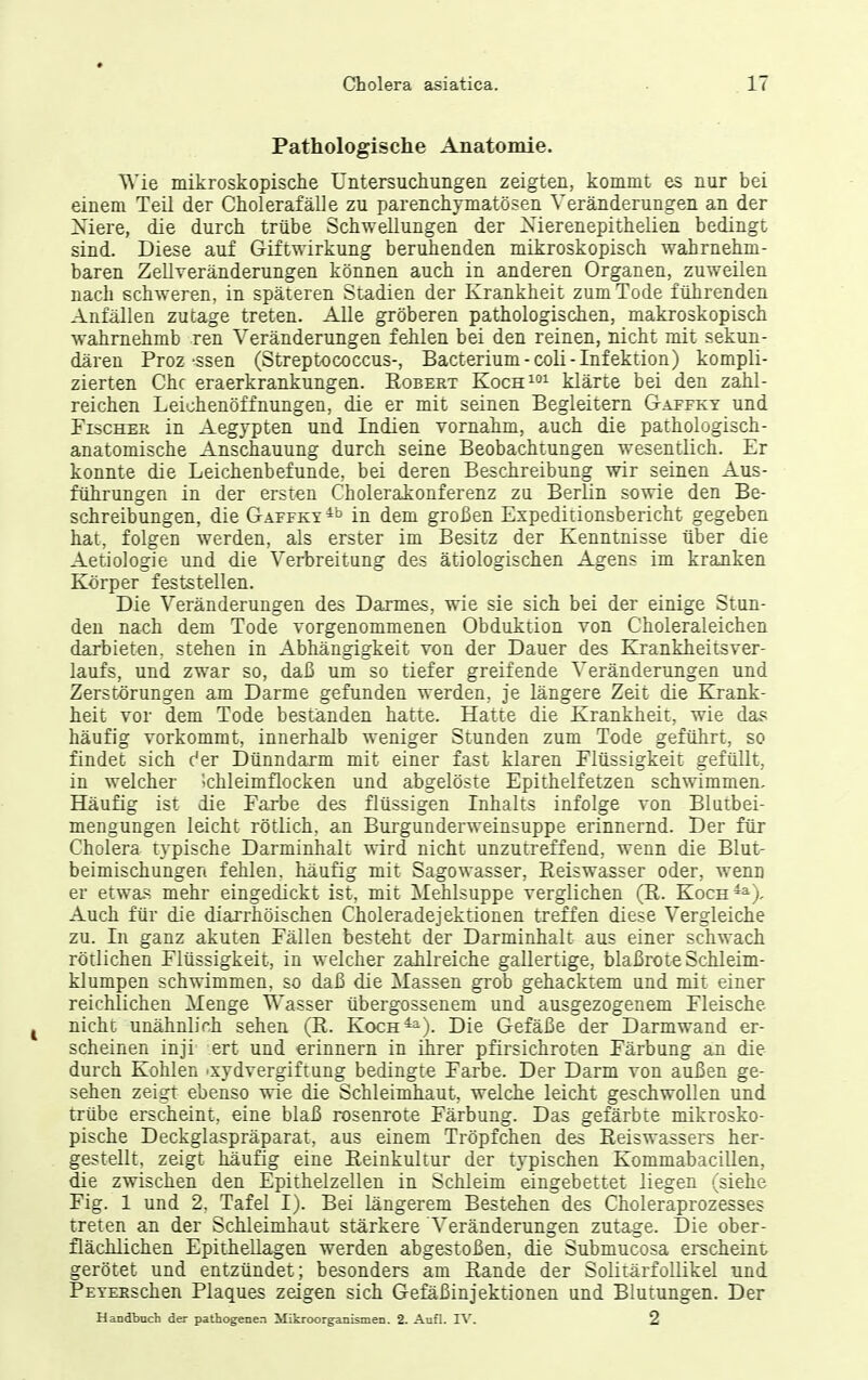 Pathologische Anatomie. Wie mikroskopische üntersuchungen zeigten, kommt es nur bei einem Teil der Cholerafälle zu parenchymatösen Veränderungen an der Niere, die durch trübe Schwellungen der Xierenepithelien bedingt sind. Diese auf Giftwirkung beruhenden mikroskopisch wahrnehm- baren Zellveränderungen können auch in anderen Organen, zuweilen nach schweren, in späteren Stadien der Krankheit zum Tode führenden Anfällen zutage treten. Alle gröberen pathologischen, makroskopisch wahrnehmb ren Veränderungen fehlen bei den reinen, nicht mit sekun- dären Proz-ssen (Streptococcus-, Bacterium-coli-Infektion) kompli- zierten Che eraerkrankungen. Robert Kochi°i klärte bei den zahl- reichen Leichenöffnungen, die er mit seinen Begleitern Gaffky und Fischer in Aegypten und Indien vornahm, auch die pathologisch- anatomische Anschauung durch seine Beobachtungen wesentlich. Er konnte die Leichenbefunde, bei deren Beschreibung wir seinen Aus- führungen in der ersten Cholerakonferenz zu Berlin sowie den Be- schreibungen, die Gaffky ^'t^ in dem großen Expeditionsbericht gegeben hat, folgen werden, als erster im Besitz der Kenntnisse über die Aetiologie und die Verbreitung des ätiologischen Agens im kranken Körper feststellen. Die Veränderungen des Darmes, wie sie sich bei der einige Stun- den nach dem Tode vorgenommenen Obdttktion von Choleraleichen darbieten, stehen in Abhängigkeit von der Dauer des Krankheitsver- laufs, und zwar so, daß um so tiefer greifende Veränderungen und Zerstörungen am Darme gefunden werden, je längere Zeit die Krank- heit vor dem Tode beständen hatte. Hatte die Krankheit, wie das häufig vorkommt, innerhalb weniger Stunden zum Tode geftihrt, so findet sich der Dünndarm mit einer fast klaren Flüssigkeit gefüllt, in welcher Ichleimflocken und abgelöste Epithelfetzen schwimmen. Häufig ist die Farbe des flüssigen Inhalts infolge von Blutbei- mengungen leicht rötlich, an Burgunderweinsuppe erinnernd. Der für Cholera typische Darminhalt wird nicht unzutreffend, wenn die Blut- beimischungen fehlen, häufig mit Sagowasser, Eeiswasser oder, wenn er etwa-s mehr eingedickt ist, mit Mehlsuppe verglichen (R. Koch^), Auch für die diarrhöischen Choleradejektionen treffen diese Vergleiche zu. In ganz akuten Fällen besteht der Darminhalt aus einer schwach rötlichen Flüssigkeit, in welcher zahlreiche gallertige, blaßrote Schleim- klumpen schwimmen, so daß die Massen grob gehacktem und mit einer reichlichen Menge Wasser übergossenem und ausgezogenem Fleische nicht unähnlich sehen (R. Koch^^). Die Gefäße der Darmwand er- scheinen inji ert und erinnern in ihrer pfirsichroten Färbung an die durch Kohlen 'xydvergiftung bedingte Farbe. Der Darm von außen ge- sehen zeigt ebenso wie die Schleimhaut, welche leicht geschwollen und trübe erscheint, eine blaß rosenrote Färbung. Das gefärbte mikrosko- pische Deckglaspräparat, aus einem Tröpfchen des Reiswassers her- gestellt, zeigt häufig eine Reinkultur der typischen Kommabacillen, die zwischen den Epithelzellen in Schleim eingebettet liegen (siehe Fig. 1 und 2, Tafel I). Bei längerem Bestehen des Choleraprozesses treten an der Schleimhaut stärkere Veränderungen zutage. Die ober- flächlichen Epithellagen werden abgestoßen, die Submucosa erscheint gerötet und entzündet; besonders am Rande der Solitärfollikel und PEYESschen Plaques zeigen sich Gefäßinjektionen und Blutungen. Der Handbuch der pathogenen Mikroorganismen. 2. Aufl. 2