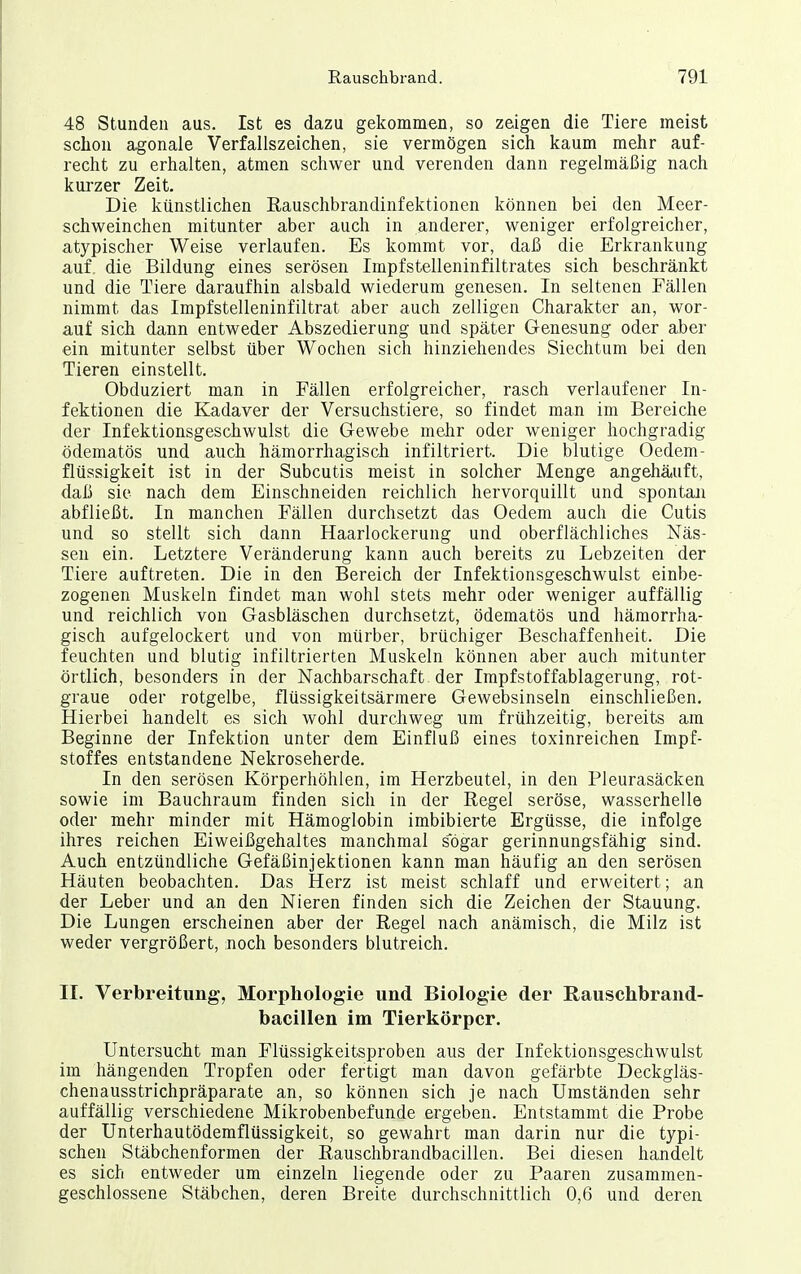 48 Stunden aus. Ist es dazu gekommen, so zeigen die Tiere meist schon agonale Verfallszeichen, sie vermögen sich kaum mehr auf- recht zu erhalten, atmen schwer und verenden dann regelmäßig nach kurzer Zeit. Die künstlichen Rauschbrandinfektionen können bei den Meer- schweinchen mitunter aber auch in anderer, weniger erfolgreicher, atypischer Weise verlaufen. Es kommt vor, daß die Erkrankung auf die Bildung eines serösen Impfstelleninfiltrates sich beschränkt und die Tiere daraufhin alsbald wiederum genesen. In seltenen Fällen nimmt das Impfstelleninfiltrat aber auch zelligen Charakter an, wor- auf sich dann entweder Abszedierung und später Genesung oder aber ein mitunter selbst über Wochen sich hinziehendes Siechtum bei den Tieren einstellt. Obduziert man in Fällen erfolgreicher, rasch verlaufener In- fektionen die Kadaver der Versuchstiere, so findet man im Bereiche der Infektionsgeschwulst die Gewebe mehr oder weniger hochgradig ödematös und auch hämorrhagisch infiltriert. Die blutige Oedem- flüssigkeit ist in der Subcutis meist in solcher Menge angehäiuft, daß sie nach dem Einschneiden reichlich hervorquillt und spontan abfließt. In manchen Fällen durchsetzt das Oedem auch die Cutis und so stellt sich dann Haarlockerung und oberflächliches Näs- sen ein. Letztere Veränderung kann auch bereits zu Lebzeiten der Tiere auftreten. Die in den Bereich der Infektionsgeschwulst einbe- zogenen Muskeln findet man wohl stets mehr oder weniger auffällig und reichlich von Gasbläschen durchsetzt, ödematös und hämorrha- gisch aufgelockert und von mürber, brüchiger Beschaffenheit. Die feuchten und blutig infiltrierten Muskeln können aber auch mitunter örtlich, besonders in der Nachbarschaft der Impfstoffablagerung, rot- graue oder rotgelbe, flüssigkeitsärmere Gewebsinsein einschließen. Hierbei handelt es sich wohl durchweg um frühzeitig, bereits am Beginne der Infektion unter dem Einfluß eines toxinreichen Impf- stoffes entstandene Nekroseherde. In den serösen Körperhöhlen, im Herzbeutel, in den Pleurasäcken sowie im Bauchraum finden sich in der Regel seröse, wasserhelle oder mehr minder mit Hämoglobin imbibierte Ergüsse, die infolge ihres reichen Eiweißgehaltes manchmal s'ögar gerinnungsfähig sind. Auch entzündliche Gefäßinjektionen kann man häufig an den serösen Häuten beobachten. Das Herz ist meist schlaff und erweitert; an der Leber und an den Nieren finden sich die Zeichen der Stauung. Die Lungen erscheinen aber der Regel nach anämisch, die Milz ist weder vergrößert, noch besonders blutreich. II. Verbreitung, Morphologie und Biologie der Rauschbrand- bacillen im Tierkörper. Untersucht man Flüssigkeitsproben aus der Infektionsgeschwulst im hängenden Tropfen oder fertigt man davon gefärbte Deckgläs- chenausstrichpräparate an, so können sich je nach Umständen sehr auffällig verschiedene Mikrobenbefunde ergeben. Entstammt die Probe der Unterhautödemflüssigkeit, so gewahrt man darin nur die typi- schen Stäbchenformen der Rauschbrandbacillen. Bei diesen handelt es sich entweder um einzeln liegende oder zu Paaren zusammen- geschlossene Stäbchen, deren Breite durchschnittlich 0,6 und deren