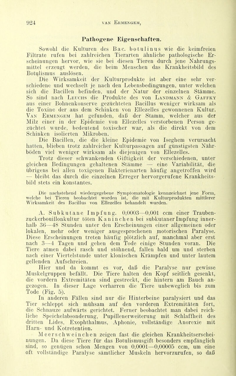 Pathogene Eigenschaften. Sowohl die Kulturen des Bac. botulinus wie die keimfreien Filtrate rufen bei zahlreichen Tierarten ähnliche pathologische Er- scheinungen hervor, wie sie bei diesen Tieren durch jene Nahrungs- mittel erzeugt werden, die beim Menschen das Krankheitsbild des Botulismus auslösen. Die Wirksamkeit der Kulturprodukte ist aber eine sehr ver- schiedene und wechselt je nach den Lebensbedingungen, unter welchen sich die Bacillen befinden, und der Natur der einzelnen Stämme. So sind nach Leuchs die Produkte des von Landmann & Gaffky aus einer Bohnenkonserve gezüchteten Bacillus weniger wirksam als die Toxine der aus dem Schinken von EUezelles gewonnenen Kultur. Van Ermengem hat gefunden, daß der Stamm, welcher aus der Milz einer in der Epidemie von EUezelles verstorbenen Person ge- züchtet wurde, bedeutend toxischer war, als die direkt von dem Schinken isolierten Mikroben. Die Bacillen, die die kleine Epidemie von Iseghem verursacht hatten, blieben trotz zahlreicher Kulturpassagen auf günstigsten Nähr- böden viel weniger wirksam als diejenigen von EUezelles. Trotz dieser schwankenden Giftigkeit der verschiedenen, unter gleichen Bedingungen gehaltenen Stämme — eine Variabilität, die übrigens bei allen toxigenen Bakterienarten häufig angetroffen wird — bleibt das durch die einzelnen Erreger hervorgerufene Krankheits- bild stets ein konstantes. Die nachstehend wiedergegebene Symptomatologie kennzeichnet jene Form, welche bei Tieren beobachtet worden ist, die mit Kulturprodukten mittlerer Wirksamkeit des Bacillus von EUezelles behandelt wurden. A. Subkutane Impfung. 0,0003—0,001 ccm einer Trauben- zuckerbouillonkultur töten Kaninchen bei subkutaner Impfung inner- halb 36—48 Stunden unter den Erscheinungen einer allgemeinen oder lokalen, mehr oder weniger ausgesprochenen motorischen Paralyse, Diese Erscheinungen treten häufig plötzlich auf, manchmal aber erst nach 3—4 Tagen und gehen dem Tode einige Stunden voran. Die Tiere atmen dabei rasch und stöhnend, fallen bald um und sterben nach einer Viertelstunde unter klonischen Krämpfen und unter lautem gellenden Aufschreien. Hier und da kommt es vor, daß die Paralyse nur gewisse Muskelgruppen befällt. Die Tiere halten den Kopf seitlich gesenkt, die vordem Extremitäten sind gestreckt, die hintern am Bauch an- gezogen. In dieser Lage verharren die Tiere unbeweglich bis zum Tode (Pig. 5). In anderen Pällen sind nur die Hinterbeine paralysiert und das Tier schleppt sich mühsam auf den vorderen Extremitäten fort, die Schnauze aufwärts gerichtet. Ferner beobachtet man dabei reich- liche Speichelabsonderung, Pupillenerweiterung mit Schlaffheit des dritten Lides, Exophthalmus, Aphonie, vollständige Anorexie mit Harn- und Kotretention. Meerschweinchen zeigen fast die gleichen Krankheitserschei- nungen. Da diese Tiere für das Botulismusgift besonders empfänglich sind, so genügen schon Mengen von 0,0001—0,00005 ccm, um eine oft vollständige Paralyse sämtlicher Muskeln hervorzurufen, so daß