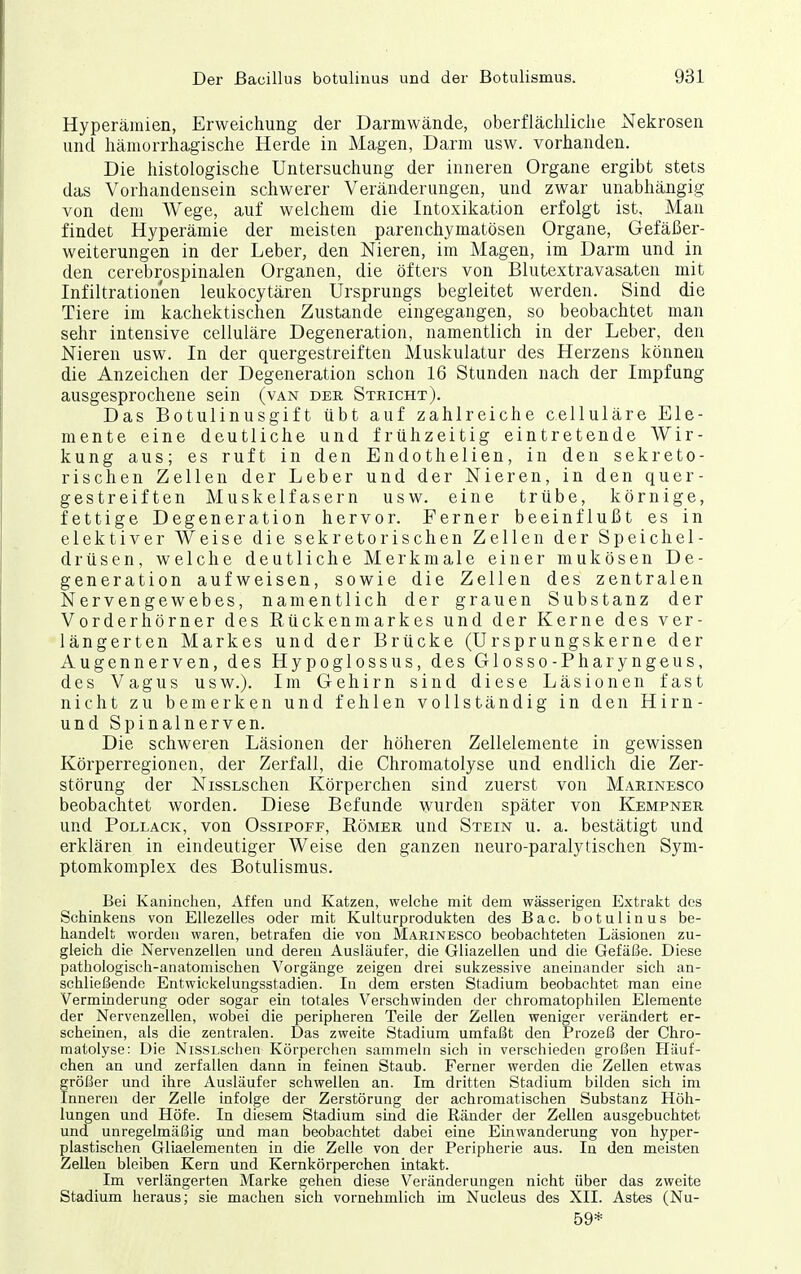 Hyperämien, Erweichung der Darmwände, oberflächliclie Nekrosen und hämorrhagische Herde in Magen, Darm usw. vorhanden. Die histologische Untersuchung der inneren Organe ergibt stets das Vorhandensein schwerer Veränderungen, und zwar unabhängig von dem Wege, auf welchem die Intoxikation erfolgt ist. Man findet Hyperämie der meisten parenchymatösen Organe, Gefäßer- weiterungen in der Leber, den Nieren, im Magen, im Darm und in den cerebrospinalen Organen, die öfters von Blutextravasaten mit Infiltrationen leukocytären Ursprungs begleitet werden. Sind die Tiere im kachektischen Zustande eingegangen, so beobachtet man sehr intensive celluläre Degeneration, namentlich in der Leber, den Nieren usw. In der quergestreiften Muskulatur des Herzens können die Anzeichen der Degeneration schon 16 Stunden nach der Impfung ausgesprochene sein (van der Stricht). Das Botulinusgift übt auf zahlreiche celluläre Ele- mente eine deutliche und frühzeitig eintretende Wir- kung aus; es ruft in den Endothelien, in den sekreto- rischen Zellen der Leber und der Nieren, in den quer- gestreiften Muskelfasern usw. eine trübe, körnige, fettige Degeneration hervor. Ferner beeinflußt es in elektiver Weise die sekretorischen Zellen der Speichel- drüsen, welche deutliche Merkmale einer mukösen De- generation aufweisen, sowie die Zellen des zentralen Nervengewebes, namentlich der grauen Substanz der Vorderhörner des Rückenmarkes und der Kerne des ver- längerten Markes und der Brücke (Ursprungskerne der Augennerven, des Hypoglossus, des Glosso-Pharyngeus, des Vagus usw.). Im Gehirn sind diese Läsionen fast nicht zu bemerken und fehlen vollständig in den Hirn- und Spinalnerven. Die schweren Läsionen der höheren Zellelemente in gewissen Körperregionen, der Zerfall, die Chromatolyse und endlich die Zer- störung der NissLschen Körperchen sind zuerst von Marinesco beobachtet worden. Diese Befunde wurden später von Kempner und Pollack, von Ossipoff, Eömer und Stein u. a. bestätigt und erklären in eindeutiger Weise den ganzen neuro-paralytischen Sym- ptomkomplex des ßotulismus. Bei Kaniuchen, Affen und Katzen, welche mit dem wässerigen Extrakt des Schinkens von Ellezelles oder mit Kulturprodukten des Bac. botulinus be- handelt worden waren, betrafen die von Marinesco beobachteten Läsionen zu- gleich die Nervenzeilen und deren Ausläufer, die Gliazellen und die Gefäße. Diese pathologisch-anatomischen Vorgänge zeigen drei sukzessive aneinander sich an- schließende Entwickelungsstadien. In dem ersten Stadium beobachtet man eine Verminderung oder sogar ein totales Verschwinden der chromatophilen Elemente der Nervenzellen, wobei die peripheren Teile der Zellen weniger verändert er- scheinen, als die zentralen. Das zweite Stadium umfaßt den Prozeß der Chro- matolyse; Die NissLschen Körperchen sammeln sich in verschieden großen Häuf- chen an und zerfallen dann in feinen Staub. Ferner werden die Zellen etwas größer und ihre Ausläufer schwellen an. Im dritten Stadium bilden sich im Inneren der Zelle infolge der Zerstörung der achromatischen Substanz Höh- lungen und Höfe. In diesem Stadium sind die Ränder der Zellen ausgebuchtet und unregelmäßig und man beobachtet dabei eine Einwanderung von hyper- plastischen Gliaelementen in die Zelle von der Peripherie aus. In den meisten Zellen bleiben Kern und Kernkörperchen intakt. Im verlängerten Marke gehen diese Veränderungen nicht über das zweite Stadium heraus; sie machen sich vornehmlich im Nucleus des XII. Astes (Nu- 59*