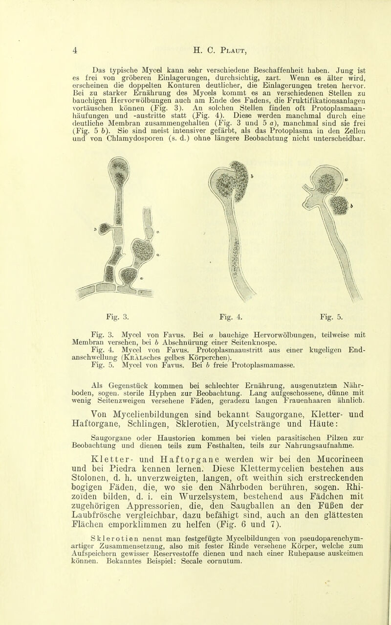 Das typische Mycel kann sehr verschiedene Beschaffenheit haben. Jung ist es frei von gröberen Einlagerungen, durchsichtig, zart. Wenn es älter wird, erscheinen die doppelten Konturen deutlicher, die Einlagerungen treten hervor. Bei zu starker Ernährung des Mycels kommt es an verschiedenen Stellen zu bauchigen Hervorwölbungen auch am Ende des Fadens, die Fruktifikationsanlagen vortäuschen können (Fig. 3). An solchen Stellen finden oft Protoplasmaan- häufungen und -austritte statt (Fig. 4). Diese werden manchmal durch eine tleutliche Membran zusammengehalten (Fig. 3 und 5 a), manchmal sind sie frei (Fig. 5 h). Sie sind meist intensiver gefärbt, als das Protoplasma in den Zellen und von Chlamydosporen (s. d.) ohne längere Beobachtung nicht unterscheidbar. Fig. 3. Mycel von Favus. Bei a bauchige Hervorwölbungen, teilweise mit Membran versehen, bei b Abschnürung einer Seitenknospe. Fig. 4. Mycel von Favus. Protoplasmaaustritt aus einer kugeligen End- anschwellung (KnALsches gelbes Körperchen). Fig. 5. Mycel von Favus. Bei b freie Protoplasmamasse. Als Gegenstück kommen bei schlechter Ernährung, ausgenutztem Nähr- boden, sogen, sterile Hyphen zur Beobachtung. Lang aufgeschossene, dünne mit wenig Seitenzweigen versehene Fäden, geradezu langen Frauenhaaren ähnlich. Von Mycelienbilduiigen sind bekannt Saugorgane, Kletter- und Haftorgane, Schlingen, Sklerotien, Mycelstränge und Häute: Saugorgane oder Haustorien kommen bei vielen parasitischen Pilzen zur Beobachtung und dienen teils zum Festhalten, teils zur Nahrungsaufnahme. Kletter- und Haftorgane werden wir bei den Mucorineen und bei Piedra kennen lernen. Diese Klettermycelien bestehen aus Stolonen, d. h. unverzweigten, langen, oft weithin sich erstreckenden bogigen Fäden, die, wo sie den Nährboden berühren, sögeai. Rhi- zoiden bilden, d. i. ein Wurzelsystem, bestehend aus Fädchen mit zugehörigen Appressorien, die, den Saugballen an den Füßen der Laubfrösche vergleichbar, dazu befähigt sind, auch an den glättesten Plächen emporklimmen zu helfen (Fig. 6 und 7). Sklerotien nennt man festgefügte Mycelbildungen von pseudoparenchym- artiger Zusammensetzung, also mit fester Rinde versehene Körper, welche zum Aufspeichern gewisser Reservestoffe dienen und nach einer Ruhepause auskeimen können. Bekanntes Beispiel: Seeale cornutum. Fig. 3. Fig. 4. Fig. 5.