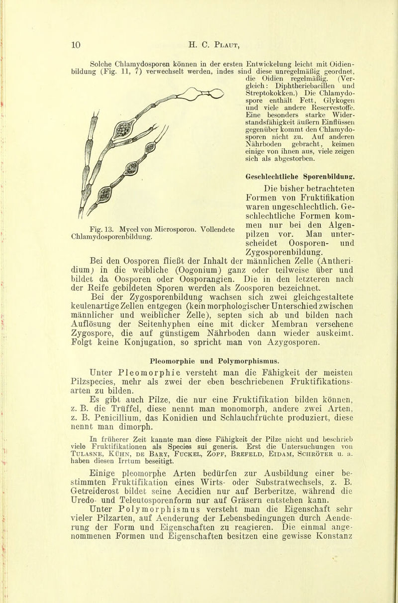 Solche Chlamydosporen können in der ersten Entwickelung leicht mit Oidien- bildung (Fig. 11, 7) verwechselt werden, indes sind diese unregelmäßig geordnet, die Oidien regelmäßig. (Ver- gleich : DiphtheriebaciUen und Streptokokken.) Die Chlamydo- spore enthält Fett, Glykogen und viele andere EeservestofFe. Eine besonders starke Wider- standsfähigkeit äußern Einflüssen gegenüber kommt den Chlamydo- sporen nicht zu. Auf anderen Nährboden gebracht, keimen einige von ihnen aus, viele zeigen sich als abgestorben. Geschlechtliche Sporenbildun^. Die bisher betrachteten Formen von Fruktifikation waren ungeschlechtlich. Ge- schlechtliche Formen kom- T^. TO n/r 1 T\/r- 11 j i Dien nur bei den Algen- Fig. 13. Mycel von Microsporon. Vollendete ■■, ur °, Chlamydosporenbildung. Pilzen vor. Man unter- scheidet Oosporen- und Zygosporenbildung. Bei den Oosporen fließt der Inhalt der männlichen Zelle (Antheri- diumj in die weibliche (Oogonium) ganz oder teilweise über und bildet da Oosporen oder Oosporangien. Die in den letzteren nach der Reife gebildeten Sporen werden als Zoosporen bezeichnet. Bei der Zygosporenbildung wachsen sich zwei gieichgestaltete keulenartige Zellen entgegen (kein morphologischer Unterschied zwischen männlicher und weiblicher Zelle), septen sich ab und bilden nach Auflösung der Seitenhyphen eine mit dicker Membran versehene Zygospore, die auf günstigem Nährboden dann wieder auskeimt. Folgt keine Konjugation, so spricht man von Azygosporen. Pleomorphie und Polymorphismus. Unter Pleomorphie versteht man die Fähigkeit der meisten Pilzspecies, mehr als zwei der eben beschriebenen Fruktifikations- arten zu bilden. Es gibt auch Pilze, die nur eine Fruktifikation bilden können, z. B. die Trüffel, diese nennt man monomorph, andere zwei Arten, z. B. Penicillium, das Konidien und Schlauchfrüchte produziert, diese nennt man dimorph. In früherer Zeit kannte man diese Fähigkeit der Pilze nicht und beschrieb viele Fruktifikationen als Speeles sui generis. Erst die Untersuchungen von TuLASNE, Kühn, de Bary, Fückel, Zopf, Brefeld, Eidam, Schröter u. a. haben diesen Irrtum beseitigt. Einige pleomorphe Arten bedürfen zur Ausbildung einer be- stimmten Fruktifikation eines Wirts- oder Substratwechsels, z. B, Getreiderost bildet seine Aecidien nur auf Berberitze, während die Uredo- und Teleutosporenform nur auf Gräsern entstehen kann. Unter Polymorphismus versteht man die Eigenschaft sehr vieler Pilzarten, auf Aenderung der Lebensbedingungen durch Aende- rung der Form und Eigenschaften zu reagieren. Die einmal ange- nommenen Formen und Eigenschaften besitzen eine gewisse Konstanz