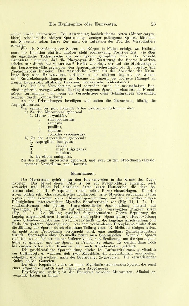 achtet wurde, hervorrufen. Bei Anwendung hochvirulenter Arten (Mucor corym- bifer), oder bei der nötigen Sporenmenge weniger pathogener Speeles, läßt sich mit Sicherheit schon kurze Zeit nach der Infektion der Tod der Versuchstiere erwarten. Wie die Zerstörung der Sporen im Körper in Fällen erfolgt, wo Heilung nach der Injektion eintritt, darüber steht ebensowenig Positives fest, wie über die eigentliche Todesursache der mit Sporen geimpften Tiere. Die Ansicht RiBBERTS '3 nämlich, daß die Phagocyten die Zerstörung der Sporen bewirken, scheint mir durch Baumgartens Kritik widerlegt, der auf die Machtlosigkeit der Leukocytenwälle gegenüber den Aspergilluswucherungen bei der Kerato- und Nephromycosis hinweist. Der wesentliche Grund für das Absterben der Keim- linge liegt nach Baumgarten vielmehr in der relativen Ungunst der Lebens- und Entwickelungsbedingungen der Keime im Innern des Körpers (Mangel an freiem Sauerstoff, alkalische Reaktion, mechanische Widerstände). Der Tod der Versuchstiere wird entweder durch die massenhaften Ent- zündungsherde erzeugt, welche die eingedrungenen Sporen mechanisch als Fremd- körper verursachen, oder wenn die Versuchstiere diese Schädigungen überwinden können, durch Toxiuwirkung. An den Erkrankungen beteiligen sich selten die Mucorineen, häufig die Aspergillusarten. Wir kennen bis jetzt folgende Arten pathogener Schimmelpilze: a) Zu den Mucoraceen gehörend 1. Mucor corymbifer, „ rhizopodiformis, „ ramosus. „ pusillus, „ septatus, „ conoides (racemosus). b) Zu den Aspergilleen gehörend: 1. Aspergillus fumigatus, 2. „ flavus, 3. „ niger (nigricans), 4. „ nidulans, 5. Eurotium malignum. Zu den Fungis imperfectis gehörend, und zwar zu den Mucedineen (Hyalo- sporae): Verticillium und Botrytis. Mucoraceen. Die Mucorineen gehören zu den Phycomyceten in die Klasse der Zygo- rayceten. Das Mycel dieser Pilze ist bis zur Fruchtbildung einzellig, reich verzweigt und bildet bei einzelnen Arten kurze Haustorien, die dazu be- stimmt sind, in die Wirtspflanze (meist selbst Pilze) einzudringen. Einzelne Arten bilden sehr charakteristisches Luftmycel. Alte Mycelien erscheinen häufig septiert, auch kommen echte Chlamydosporenbildung und bei in zuckerhaltigen Flüssigkeiten untergetauchten Mycelien Sproßverbände vor (Fig. 11, 1—7). In- volutionsformen sehr häufig! Ungeschlechtliche Sporenbildung entsteht auf Sporangien (Fig. 11, 2), die auf einfachen oder verzweigten Trägern sitzen (Fig. 11, 1). Die Bildung geschieht folgendermaßen: Zuerst Septierung der kugelig angeschwollenen Fruchthyphe (das spätere Sporangium), Hervorwölbung dieser Scheidewand, die nun Columella heißt, in die kugelige Anschwellung (die Basis des späteren Sporangiums). Aus dem vorhandenen Protoplasma findet dann die Bildung der Sporen durch simultane Teilung statt. Es bleibt bei einigen Arten, da nicht alles Protoplasma verbraucht wird, eine quellbare Zwischensubstanz zurück. Sporangien ohne Columella nennt man Sporangiolen. Wenn die Sporen reif sind, so genügt ein kleiner äußerer Anlaß, z. B. Benässung, um die Sporangien- hülle zu sprengen und die Sporen in Freiheit zu setzen. Es werden dann noch bei einigen Arten echte Konidien oder auch Konidienketten gebildet. Die geschlechtliche Sporenbildung findet bei Luftzutritt statt, gewöhnLicli am Luftmycel; es wachsen sich zwei Myceläste, die kolbenähnlich anschwellen, entgegen, und verwachsen nach der Septierung: Zygosporen. Die verwachsenden Enden heißen Gameten. Die ohne Kopulation, also an einem Myceläste entstehenden Sporen, die sonst einer Zygospore ähnlich sind, nennt man Azygosporen. Physiologisch wichtig ist die Fähigkeit mancher Mucorarten, Alkohol er- zeugende Hefen zu bilden.