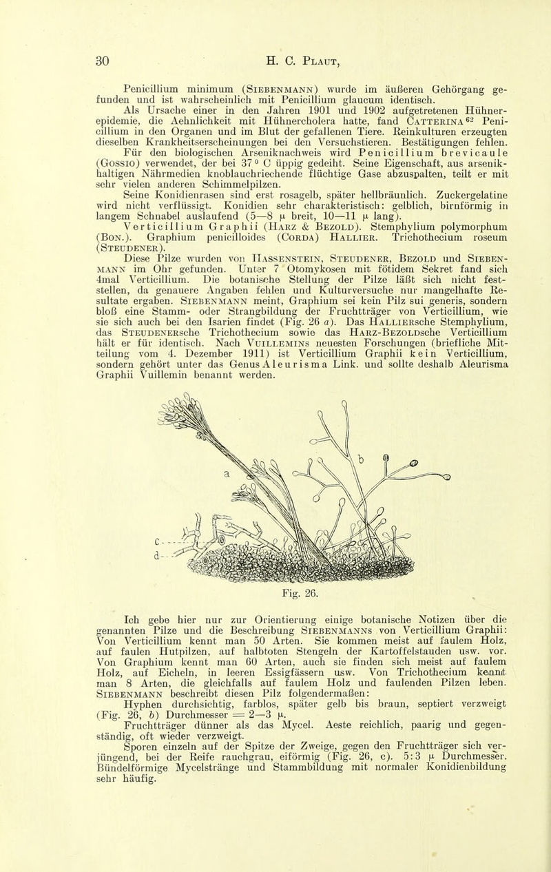 Penicillium miiiimum (Siebenmann) wurde im äußeren Gehörgang ge- funden und ist wahrscheinlich mit Penicillium glaucum identisch. Als Ursache einer in den Jahren 1901 und 1902 aufgetretenen Hühner- epidemie, die Aehnlichkeit mit Hühnercholera hatte, fand Catterina*- Peni- cillium in den Organen und im Blut der gefallenen Tiere. Reinkulturen erzeugten dieselben Krankheitserscheinungen bei den Versuchstieren. Bestätigungen fehlen. Für den biologischen Arseniknachweis wird Penicillium brevicaule (Gossio) verwendet, der bei 37  C üppig gedeiht. Seine Eigenschaft, aus arsenik- haltigen Nährmedien knoblauchriechende flüchtige Gase abzuspalten, teilt er mit sehr vielen anderen Schimmelpilzen. Seine Ivonidienrasen sind erst rosagelb, später hellbräunlich. Zuckergelatine wird nicht verflüssigt. Konidien sehr charakteristisch: gelblich, birnförmig in langem Schnabel auslaufend (5—8 |j. breit, 10—11 lang). Verticillium Graphii (Harz & Bezold). Stemphylium polymorphum (Bon.). Graphium penicilloides (Corda) Hallier. Trichothecium roseum (Steudener). Diese Pilze wurden von Hassenstein, Steudener, Bezold und Sieben- mann im Ohr gefunden. Unter 7 Otomykosen mit fötidem Sekret fand sich 4mal Verticillium. Die botanische Stellung der Pilze läßt sich nicht fest- stellen, da genauere Angaben fehlen und Kulturversuche nur mangelhafte Re- sultate ergaben. Siebenmann meint, Graphium sei kein Pilz sui generis, sondern bloß eine Stamm- oder Strangbildung der Fruchtträger von Verticillium, wie sie sich auch bei den Isarien findet (Fig. 26 a). Das HALLiERsche Stemphylium, das STEUDENERsche Trichothecium sowie das HARZ-BEZOLDsche Verticillium hält er für identisch. Nach Vuillemins neuesten Forschungen (briefliche Mit- teilung vom 4. Dezember 1911) ist Verticillium Graphii kein Verticillium, sondern gehört unter das Genus Aleurisma Link, und sollte deshalb Aleurisma Graphii Vuillemin benannt werden. Ich gebe hier nur zur Orientierung einige botanische Notizen über die genannten Pilze und die Beschreibung Siebenmanns von Verticillium Graphii: Von Verticillium kennt man 50 Arten. Sie kommen meist auf faulem Holz, auf faulen Hutpilzen, auf halbtoten Stengeln der Kartoffelstauden usw. vor. Von Graphium kennt man 60 Arten, auch sie finden sich meist auf faulem Holz, auf Eicheln, in leeren Essigfässern usw. Von Trichothecium kenmt man 8 Arten, die gleichfalls auf faulem Holz und faulenden Pilzen leben. Siebenmann beschreibt diesen Pilz folgendermaßen: Hyphen durchsichtig, farblos, später gelb bis braun, septiert verzweigt (Fig. 26, b) Durchmesser = 2—3 fi. Fruchtträger dünner als das Mycel. Aeste reichlich, paarig und gegen- ständig, oft wieder verzweigt. Sporen einzeln auf der Spitze der Zweige, gegen den Fruchtträger sich ver- jüngend, bei der Reife rauchgrau, eiförmig (Fig. 26, c). 5:3 n Durchmesser. Bündeiförmige Mycelstränge und Stammbildung mit normaler Konidienbildung sehr häufig. Fig. 26.