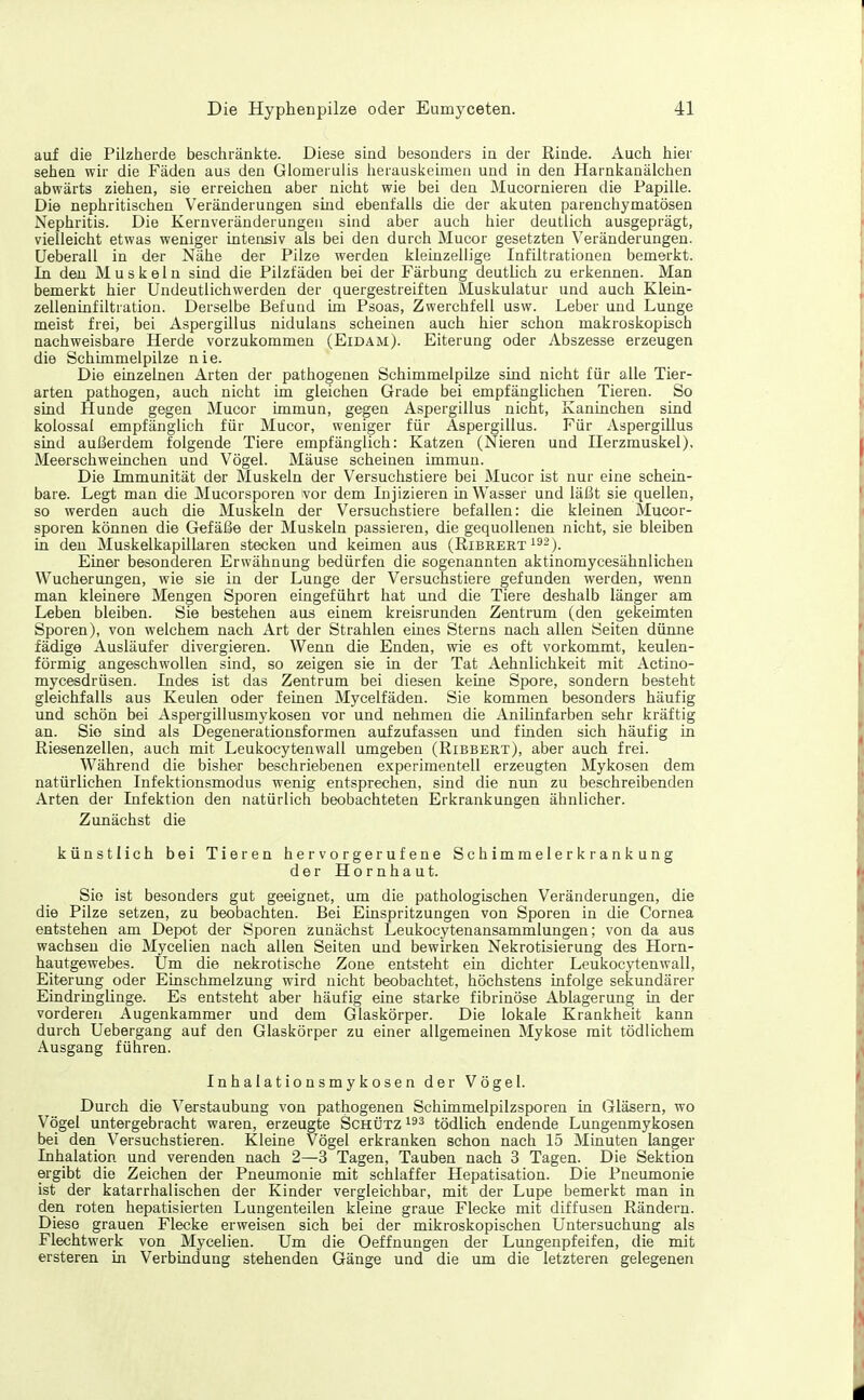 auf die Pilzherde beschränkte. Diese sind besonders in der Rinde. Auch hier sehen wir die Fäden aus den Glomerulis lierauskeinien und in den Harnkanälchen abwärts ziehen, sie erreichen aber nicht wie bei den Mucornieren die Papille. Die nephritischen Veränderungen sind ebenfalls die der akuten parenchymatösen Nephritis. Die Kernveränderungen sind aber auch hier deutlich ausgeprägt, vielleicht etwas weniger intensiv als bei den durch Mucor gesetzten Veränderungen. Ueberau in der Nähe der Pilze werden kleinzellige Infiltrationen bemerkt. In den Muskeln sind die Pilzfäden bei der Färbung deutlich zu erkennen. Man bemerkt hier Undeutlichwerden der quergestreiften Muskulatur und auch Klein- zelleninfiltration. Derselbe Befuud im Psoas, Zwerchfell usw. Leber und Lunge meist frei, bei Aspergillus nidulans scheinen auch hier schon makroskopisch nachweisbare Herde vorzukommen (Eidam). Eiterung oder Abszesse erzeugen die Schimmelpilze nie. Die einzelnen Arten der pathogenen Schimmelpike sind nicht für alle Tier- arten pathogen, auch nicht im gleichen Grade bei empfänglichen Tieren. So sind Hunde gegen Mucor immun, gegen Aspergillus nicht, Kaninchen sind kolossal empfänglich für Mucor, weniger für Aspergillus. Für Aspergillus sind außerdem folgende Tiere empfänglich: Katzen (Nieren und Herzmuskel), Meerschweinchen und Vögel. Mäuse scheinen immun. Die Immunität der Muskeln der Versuchstiere bei Mucor ist nur eine schein- bare. Legt man die Mucorsporen vor dem Injizieren in Wasser und läßt sie quellen, so werden auch die Muskeln der Versuchstiere befallen: die kleinen Mucor- sporen können die Gefäße der Muskeln passieren, die gequollenen nicht, sie bleiben in den Muskelkapillaren stecken und keimen aus (Ribrert i^-). Einer besonderen Erwähnung bedürfen die sogenannten aktinomycesähnlichen Wucherungen, wie sie in der Lunge der Versuchstiere gefunden werden, wenn man kleinere Mengen Sporen eingeführt hat und die Tiere deshalb länger am Leben bleiben. Sie bestehen aus einem kreisrunden Zentrum (den gekeimten Sporen), von welchem nach Art der Strahlen eines Sterns nach allen Seiten dünne fädige Ausläufer divergieren. Wenn die Enden, wie es oft vorkommt, keulen- förmig angeschwollen sind, so zeigen sie in der Tat Aehnlichkeit mit Actino- mycesdrüsen. Indes ist das Zentrum bei diesen keine Spore, sondern besteht gleichfalls aus Keulen oder feinen Mycelfäden. Sie kommen besonders häufig und schön bei Aspergillusmykosen vor und nehmen die Anilinfarben sehr kräftig an. Sie sind als Degenerationsformen aufzufassen und finden sich häufig in Riesenzellen, auch mit Leukocytenwall umgeben (Ribbert), aber auch frei. Während die bisher beschriebenen experimentell erzeugten Mykosen dem natürlichen Infektionsmodus wenig entsprechen, sind die nun zu beschreibenden Arten der Infektion den natürlich beobachteten Erkrankungen ähnlicher. Zunächst die künstlich bei Tieren hervorgerufene S c h im ra e le r k r a n k u n g der Hornhaut. Sie ist besonders gut geeignet, um die pathologischen Veränderungen, die die Pilze setzen, zu beobachten. Bei Einspritzungen von Sporen in die Cornea entstehen am Depot der Sporen zunächst Leukocytenansammlungen; von da aus wachsen die Mycelien nach allen Seiten und bewirken Nekrotisierung des Horn- hautgewebes. Um die nekrotische Zone entsteht ein dichter Leukocytenwall, Eiterung oder Einschmelzung wird nicht beobachtet, höchstens infolge sekundärer Eindringlinge. Es entsteht aber häufig eine starke fibrinöse Ablagerung in der vorderen Augenkammer und dem Glaskörper. Die lokale Krankheit kann durch Uebergang auf den Glaskörper zu einer allgemeinen Mykose mit tödlichem Ausgang führen. Inhalationsmykosen der Vögel. Durch die Verstaubung von pathogenen Schimmelpilzsporen in Gläsern, wo Vögel untergebracht waren, erzeugte Schütz tödlich endende Lungenmykosen bei den Versuchstieren. Kleine Vögel erkranken schon nach 15 Minuten langer Inhalation und verenden nach 2—3 Tagen, Tauben nach 3 Tagen. Die Sektion ergibt die Zeichen der Pneumonie mit schlaffer Hepatisation. Die Pneumonie ist der katarrhalischen der Kinder vergleichbar, mit der Lupe bemerkt man in den roten hepatisierten Lungenteilen kleine graue Flecke mit diffusen Rändern. Diese grauen Flecke erweisen sich bei der mikroskopischen Untersuchung als Flechtwerk von Mycelien. Um die Oeffnungen der Lungenpfeifen, die mit ersteren in Verbindung stehenden Gänge und die um die letzteren gelegenen