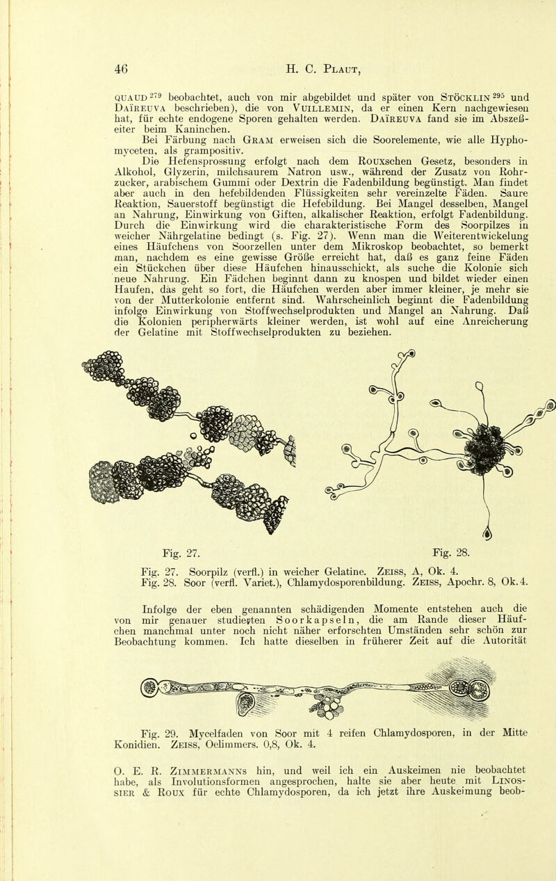 QUAUD beobachtet, auch von mir abgebildet und später von Stöcklin und Daireuva beschrieben), die von Vuillemin, da er einen Kern nachgewiesen hat, für echte endogene Sporen gehalten werden. Daireuva fand sie im Abszeß- eiter beim Kaninchen. Bei Färbung nach Gram erweisen sich die Soorelemente, wie alle Hypho- rayceten, als grampositiv. Die Hefensprossung erfolgt nach dem Rouxschen Gesetz, besonders in Alkohol, Glyzerin, milchsaurem Natron usw., während der Zusatz von Rohr- zucker, arabischem Gummi oder Dextrin die Fadenbildung begünstigt. Man findet aber auch in den hefebildenden Flüssigkeiten sehr vereinzelte Fäden. Saure Reaktion, Sauerstoff begünstigt die Hefebildung. Bei Mangel desselben, Mangel an Nahrung, Einwirkung von Giften, alkalischer Reaktion, erfolgt Fadenbildung. Durch die Einwirkung wird die charakteristische Form des Soorpilzes in weicher Nährgelatine bedingt (s. Fig. 27). Wenn man die Weiterentwickelung eines Häufchens von Soorzellen unter dem Mikroskop beobachtet, so bemerkt man, nachdem es eine gewisse Größe erreicht hat, daß es ganz feine Fäden ein Stückchen über diese Häufchen hinausschickt, als suche die Kolonie sich neue Nahrung. Ein Fädchen beginnt dann zu knospen und bildet wieder einen Haufen, das geht so fort, die Häufchen werden aber immer kleiner, je mehr sie von der Mutterkolonie entfernt sind. Wahrscheinlich beginnt die Fadenbildung infolge Einwirkung von Stoffwechselprodukten und Mangel an Nahrung. Daß die Kolonien peripherwärts kleiner werden, ist wohl auf eine Anreicherung der Gelatine mit Stoffwechselprodukten zu beziehen. Fig. 27. Fig. 28. Fig. 27. Soorpilz (verfl.) in weicher Gelatine. Zeiss, A, Ok. 4. Fig. 28. Soor (verfl. Variet.), Chlamydosporenbildung. Zeiss, Apochr. 8, Ok.4. Infolge der eben genannten schädigenden Momente entstehen auch die von mir genauer studiepten Soorkapseln, die am Rande dieser Häuf- chen manchmal unter noch nicht näher erforschten Umständen sehr schön zur Beobachtung kommen. Ich hatte dieselben in früherer Zeit auf die Autorität Fig. 29. Mycelfaden von Soor mit 4 reifen Chlamydosporen, in der Mitte Konidien. Zeiss, Oelimmers. 0,8, Ok. 4. 0. E. R. Zimmermanns hin, und weil ich ein Auskeimen nie beobachtet habe, als Involutionsformen angesprochen, halte sie aber heute mit Linos- siER & Roux für echte Chlamydosporen, da ich jetzt ihre Auskeimung beob-