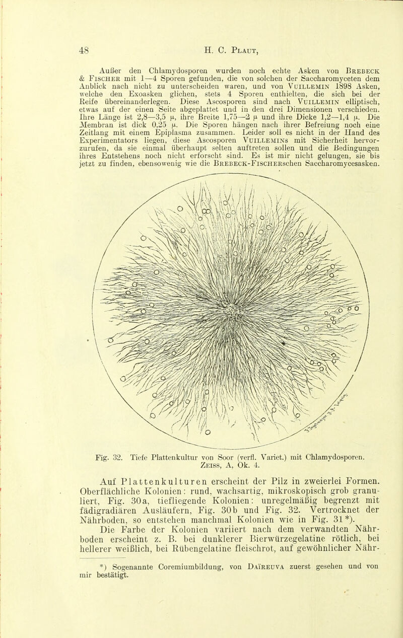 Außer den Chlamydosporen wurden noch echte Asken von Brebeck & Fischer mit 1—4 Sporen gefunden, die von solclien der Saccharomyceten dem Anblicii nach nicht zu unterscheiden waren, und von Vuillemin 1898 Asken, welche den Exoasken glichen, stets 4 Sporen enthielten, die sich bei der Reife übereinanderlegen. Diese Ascosporen sind nach Vuillemin elliptisch, etwas auf der einen Seite abgeplattet und in den drei Dimensionen verschieden. Ihre Länge ist 2,8—3,5 n, ihre Breite 1,75—2 n und ihre Dicke 1,2—1,4 fx. Die Membran ist dick 0,25 |n. Die Sporen hängen nach ihrer Befreiung noch eine Zeitlang mit einem Epiplasma zusammen. Leider soll es nicht in der Iland des Experimentators liegen, diese Ascosporen Vuillemins mit Sicherheit hervor- zurufen, da sie einmal überhaupt selten auftreten sollen und die Bedingungen ihres Entstehens noch nicht erforscht sind. Es ist mir nicht gelungen, sie bis jetzt zu finden, ebensowenig wie die BREBECK-FiscHERschen Saccharomycesasken. Fig. 32. Tiefe Plattenkiütur von Soor (verfl. Variet.) mit Chlamydosporen. Zeiss, A, Ok. 4. Auf Plattenkulturen erscheint der Pilz in zweierlei Formen, Oberflächliche Kolonien: rund, wachsartig, mikroskopisch grob granu- liert, Fig. 30a, tiefliegende Kolonien: unregelmäßig begrenzt mit fädigradiären Ausläufern, Fig. 30 b und Fig. 32. Vertrocknet der Nährboden, so entstehen manchmal Kolonien wie in Fig. 31 *). Die Farbe der Kolonien variiert nach dem verwandten Nähr- boden erscheint z. B. bei dunklerer Bierwürzegelatine rötlich, bei hellerer weißlich, bei Rübengelatine fleischrot, auf gewöhnlicher Nähr- *) Sogenannte Coremiumbildung, von D.-vireuva zuerst gesehen und von mir bestätigt.