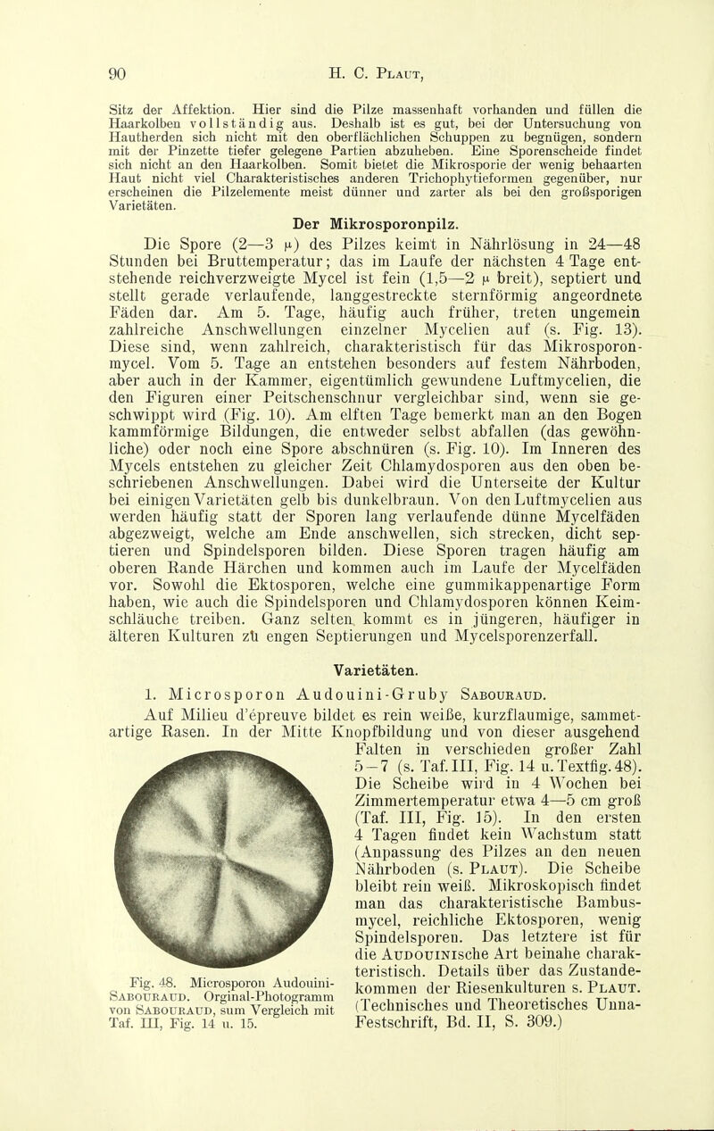 Sitz der Affektion. Hier sind die Pilze massenhaft vorhanden und füllen die Haarkolben vollständig aus. Deshalb ist es gut, bei der Untersuchung von Hautherden sich nicht mit den oberflächlichen Schuppen zu begnügen, sondern mit der Pinzette tiefer gelegene Partien abzuheben. Eine Sporenscheide findet sich nicht an den Haarkolben. Somit bietet die Mikrosporie der wenig behaarten Haut nicht viel Charakteristisches anderen Trichophytieformen gegenüber, nur erscheinen die Pilzelemente meist dünner und zarter als bei den großsporigen Varietäten. Der Mikrosporonpilz. Die Spore (2—3 n) des Pilzes keimt in Nährlösung in 24—48 Stunden bei Bruttemperatur; das im Laufe der nächsten 4 Tage ent- stehende reichverzweigte Mycel ist fein (1,5—2 breit), septiert und stellt gerade verlaufende, langgestreckte sternförmig angeordnete Fäden dar. Am 5. Tage, häufig auch früher, treten ungemein zahlreiche Anschwellungen einzelner Mycelien auf (s. Fig. 13). Diese sind, wenn zahlreich, charakteristisch für das Mikrosporon- mycel. Vom 5. Tage an entstehen besonders auf festem Nährboden, aber auch in der Kammer, eigentümlich gewundene Luftmycelien, die den Figuren einer Peitschenschnur vergleichbar sind, wenn sie ge- schwippt wird (Fig. 10). Am elften Tage bemerkt man an den Bogen kammförmige Bildungen, die entweder selbst abfallen (das gewöhn- liche) oder noch eine Spore abschnüren (s. Fig. 10). Im Inneren des Mycels entstehen zu gleicher Zeit Chlamydosporen aus den oben be- schriebenen Anschwellungen. Dabei wird die Unterseite der Kultur bei einigen Varietäten gelb bis dunkelbraun. Von den Luftmycelien aus werden häufig statt der Sporen lang verlaufende dünne Mycelfäden abgezweigt, welche am Ende anschwellen, sich strecken, dicht sep- tieren und Spindelsporen bilden. Diese Sporen tragen häufig am oberen Rande Härchen und kommen auch im Laufe der Mycelfäden vor. Sowohl die Ektosporen, welche eine gummikappenartige Form haben, wie auch die Spindelsporen und Chlamydosporen können Keim- schläuche treiben. Ganz selten kommt es in jüngeren, häufiger in älteren Kulturen zü engen Septierungen und Mycelsporenzerfall. Varietäten. 1. Microsporon Audouini-Gruby Sabouraud. Auf Milieu d'epreuve bildet es rein weiße, kurzflaumige, sammet- artige Rasen. In der Mitte Knopfbildung und von dieser ausgehend Falten in verschieden großer Zahl 5-7 (s. Taf.III, Fig. 14 u.Textflg.48). Die Scheibe wird in 4 Wochen bei Zimmertemperatur etwa 4—5 cm groß (Taf. III, Fig. 15). In den ersten 4 Tagen findet kein Wachstum statt (Anpassung des Pilzes an den neuen Nährboden (s. Plaut). Die Scheibe bleibt rein weiß. Mikroskopisch findet man das charakteristische Bambus- mycel, reichliche Ektosporen, wenig Spindelsporen. Das letztere ist für die AuDOuiNische Art beinahe charak- teristisch. Details über das Zustande- SA^JuRfüD ^OrS Photo*^ramm kommen der Riesenkulturen s. Plaut. vmfslBouLuD.lüm VergS^^ (Technisches und Theoretisches Unna- Taf. ni, Fig. 14 XX. 15. Festschrift, Bd. II, S. 309.)