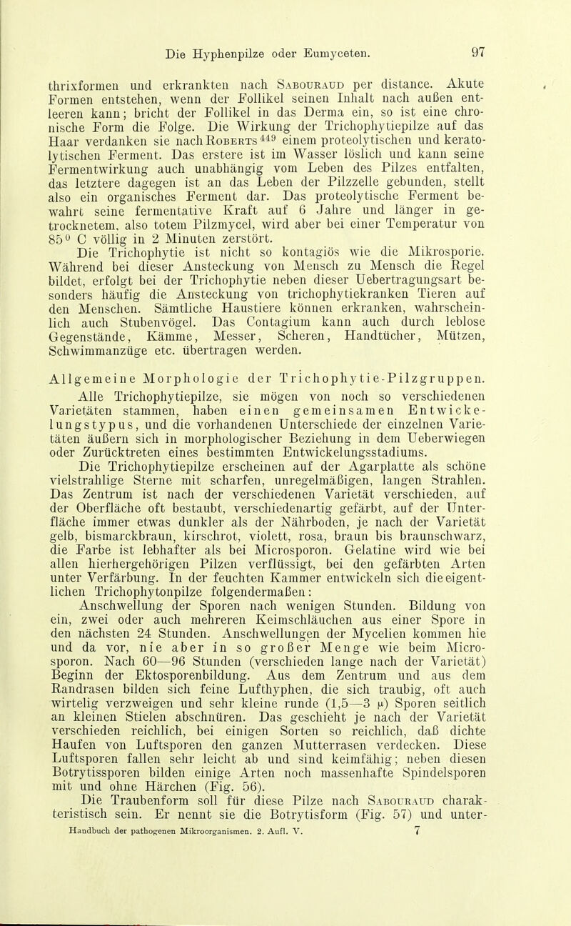 thrixformen und erkrankten nach Sabouraud per distance. Akute Formen entstehen, wenn der Follikel seinen Inhalt nach außen ent- leeren kann; bricht der Follikel in das Derma ein, so ist eine chro- nische Form die Folge. Die Wirkung der Trichophytiepilze auf das Haar verdanken sie nachKoBERTS einem proteolytischen und kerato- lytischen Ferment. Das erstere ist im Wasser löslich und kann seine Fermentwirkung auch unabhängig vom Leben des Pilzes entfalten, das letztere dagegen ist an das Leben der Pilzzelle gebunden, stellt also ein organisches Ferment dar. Das proteolytische Ferment be- wahrt seine fermentative Kraft auf 6 Jahre und länger in ge- trocknetem, also totem Pilzmycel, wird aber bei einer Temperatur von 85 C völlig in 2 Minuten zerstört. Die Trichophytie ist nicht so kontagiös wie die Mikrosporie. Während bei dieser Ansteckung von Mensch zu Mensch die Regel bildet, erfolgt bei der Trichophytie neben dieser Uebertragungsart be- sonders häufig die Ansteckung von trichophytiekranken Tieren auf den Menschen. Sämtliche Haustiere können erkranken, wahrschein- lich auch Stubenvögel. Das Contagium kann auch durch leblose Gegenstände, Kämme, Messer, Scheren, Handtücher, Mützen, Schwimmanzüge etc. übertragen werden. Allgemeine Morphologie der Trichophytie-Pilzgruppen. Alle Trichophytiepilze, sie mögen von noch so verschiedenen Varietäten stammen, haben einen gemeinsamen Entwicke- lungstypus, und die vorhandenen Unterschiede der einzelnen Varie- täten äußern sich in morphologischer Beziehung in dem Ueberwiegen oder Zurücktreten eines bestimmten Entwickelungsstadiums. Die Trichophytiepilze erscheinen auf der Agarplatte als schöne vielstrahlige Sterne mit scharfen, unregelmäßigen, langen Strahlen. Das Zentrum ist nach der verschiedenen Varietät verschieden, auf der Oberfläche oft bestaubt, verschiedenartig gefärbt, auf der Unter- fläche immer etwas dunkler als der Nährboden, je nach der Varietät gelb, bismarckbraun, kirschrot, violett, rosa, braun bis braunschwarz, die Farbe ist lebhafter als bei Microsporon. Gelatine wird wie bei allen hierhergehörigen Pilzen verflüssigt, bei den gefärbten Arten unter Verfärbung. In der feuchten Kammer entwickeln sich die eigent- lichen Trichophytonpilze folgendermaßen: Anschwellung der Sporen nach wenigen Stunden. Bildung von ein, zwei oder auch mehreren Keimschläuchen aus einer Spore in den nächsten 24 Stunden. Anschwellungen der Mycelien kommen hie und da vor, nie aber in so großer Menge wie beim Micro- sporon. ISTach 60—96 Stunden (verschieden lange nach der Varietät) Beginn der Ektosporenbildung. Aus dem Zentrum und aus dem Randrasen bilden sich feine Lufthyphen, die sich traubig, oft auch wirtelig verzweigen und sehr kleine runde (1,5—3 n) Sporen seitlich an kleinen Stielen abschnüren. Das geschieht je nach der Varietät verschieden reichlich, bei einigen Sorten so reichlich, dai3 dichte Haufen von Luftsporen den ganzen Mutterrasen verdecken. Diese Luftsporen fallen sehr leicht ab und sind keimfähig; neben diesen Botrytissporen bilden einige Arten noch massenhafte Spindelsporen mit und ohne Härchen (Fig. 56). Die Traubenform soll für diese Pilze nach Sabouraud charak- teristisch sein. Er nennt sie die Botrytisform (Fig. 57) und unter- Handbuch der pathog-enen Mikroorganismen. 2. Aufl. V. 7