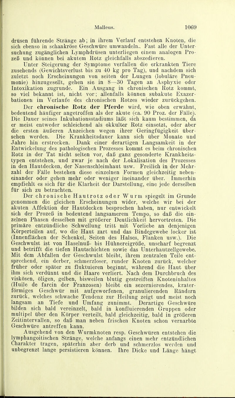 drüsen führende Stränge ab; in ihrem Verlauf entstehen Knoten, die sich ebenso in schankröse Geschwüre umwandeln.. Fast alle der Unter- suchung zugänglichen Lymphdrüsen unterliegen einem analogen Pro- zeß und können bei akutem Rotz gleichfalls abszedieren. Unter Steigerung der Symptome verfallen die erkrankten Tiere zusehends (Gewichtsverlust bis zu 40 kg pro Tag), und nachdem sich zuletzt noch Erscheinungen von selten der Lungen (lobuläre Pneu- monie) hinzugesellt, gehen sie in 8—30 Tagen an Asphyxie oder Intoxikation zugrunde. Ein Ausgang in chronischen Potz kommt, so viel bekannt ist, nicht vor; allenfalls können subakute Exazer- bationen im Verlaufe des chronischen Rotzes wieder zurückgehen. Der chronische Rotz der Pferde wird, wie oben erwähnt, bedeutend häufiger angetroffen als der akute (ca. 90 Proz. der Fälle). Die Dauer seines Inkubationsstadiums läßt sich kaum bestimmen, da er meist entweder schleichend als okkulter Rotz einsetzt, oder aber die ersten äußeren Anzeichen wegen ihrer Geringfügigkeit über- sehen werden. Die Krankheitsdauer kann sich über Monate und Jahre hin erstrecken. Dank einer derartigen Langsamkeit in der Entwickelung des pathologischen Prozesses kommt es beim chronischen Rotz in der Tat nicht selten vor, daß ganz gesonderte Krankheits- typen entstehen, und zwar je nach der Lokalisation des Prozesses in den Hautdecken, der Nasenschleimhaut usw. Freilich in der Mehr- zahl der Fälle bestehen diese einzelnen Formen gleichzeitig neben- einander oder gehen mehr oder weniger ineinander über. Immerhin empfiehlt es sich für die Klarheit der Darstellung, eine jede derselben für sich zu betrachten. Der chronische Hautrotz oder Wurm spiegelt im Grunde genommen die gleichen Erscheinungen wider, welche wir bei der akuten Affektion der Hautdecken besprochen haben, nur entwickelt sich der Prozeß in bedeutend langsamerem Tempo, so daß die ein- zelnen Phasen desselben mit größerer Deutlichkeit hervortreten. Die primäre entzündliche Schwellung tritt mit Vorliebe an denjenigen Körperteilen auf, wo die Haut zart und das Bindegewebe locker ist (Innenflächen der Schenkel, Seiten des Halses, Flanken usw.). Die Geschwulst ist von Haselnuß- bis Hühnereigröße, unscharf begrenzt und betrifft die tiefen Hautschichten sowie das Unterhautzellgewebe. Mit dem Abfallen der Geschwulst bleibt, ihrem zentralen Teile ent- sprechend, ein derber, schmerzloser, runder Knoten zurück, welcher früher oder später zu fluktuieren beginnt, während die Haut über ihm sich verdünnt und die Haare verliert. Nach dem Durchbruch des viskosen, öligen, gelben, bisweilen blutig gestreiften Knoteninhaltes (Huile de farcin der Franzosen) bleibt ein sezernierendes, krater- förmiges Geschwür mit aufgeworfenen, granulierenden Rändern zurück, welches schwache Tendenz zur Heilung zeigt und meist noch langsam an Tiefe und Umfang zunimmt. Derartige Geschwüre bilden sich bald vereinzelt, bald in konfluierenden Gruppen oder mullipel über den Körper verteilt, bald gleichzeitig, bald in größeren Zeitintervallen, so daß man neben frischen Knoten schon vernarbte Geschwüre antreffen kann. Ausgehend von den Wurmknoten resp. Geschwüren entstehen die lymphangoitischen Stränge, welche anfangs einen mehr entzündlichen Charakter tragen, späterhin aber derb und schmerzlos werden und unbegrenzt lange persistieren können. Ihre Dicke und Länge hängt