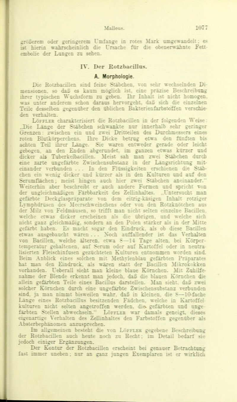 größerem oda^ geringerem Umfange in roces Mark nmgewandelc: es ■«t hierin wahrschemlich die Ursache fnr die obenerwähnte Fett- embolie der Langen za sdien. rr. Der Eotzbacillns. A. Morphologie. Die EöczbacilleD. sind feine Scabciica.. ^ :i ^-ediseinden Di- mensionen, so daß es kaum m^lich ist- riir 7:-z:i:r Beschreibnag ihrer irpischen Wuclisform zu gdien. 1 homogen, was unier anderem schon daraus herv:-^z_ - - lie einzelnen Teile desselböi gegenüber den üblichen Bakierienir ri ^:! v^sdde- den Terhalcen. LöFFi-zs charakierisien die Boi^xacillen in der fc.^ _ _ Wdse: -JDie Länge der Stäbchen schwankte nur innerhalb s-tLz geringer Grenzen: zwischea ein and zwei Dritteilen des Dorchmessers einer? roien Biackörperehens. Ihre Dicke betrog etwa den r: i r i achten Tal ihrer Länge. Sie waren entweder gerade : ; ^t. _ gd)ogen. an den Enden abgerondeC, im ganzen erw; : : dicker als Ttiberkelbacillen. Meist sah man zwei ^ eine zarte ongerarbte Zwischensobstanz in der Län^ : einander verbanden ... In den Finssigkeiten : ^ chen ein wenig dicker and kürzer als in den Z : _ Semmflächen; meist hingen auch hi^ zwei ^:- _t i .^r. Weiterhin aber beschreibt er anch andere Foniri - ~ :: der ongleichmäiiigeE Färbbarkeit des Zdlinhaltes. . V _ i gefärbte Deckglaspräparate ron dem eiirig-t£ - i. : :. ^ r Lymphdrüsen des Meerschweinchens oder xom . ? ; t1 aas der Milz von Feldmäusen, so trifft man nicht sel:-^ : i '- welche etwas dicker erscheinen als die übrisrer nicht ganz gleichmäßig, sondern an den Polen =: gefärbt haben. Es macht sogar den Eindrnd:. i_; : ^ r — 1 erwas aiisgebaacht wären... Xo*i aonallender ist das Vt:„ von Bacillen, wdche älteren, etwa 5—14 Tar^ ri. I- lemperator gehaltenen, auf Senim oder auf K^r i : lisierten Fleisch in fasen gezüchteten Kultaren en \ :l : t:i sii^i. Beim Anblick eines soldien mit MethTlenblan - : t ^raies hat man den Eindrack. als w^eu statt der Z >en vorband^ Udierall ddit man kleine blaue rl : i _ I_ Je- nahme der Bl^de erkennt man jedodi. da_ ItI Z riM i iie allein ge&rbt^ Teüe eines BaciUas dar5te_T_. i i i i^ei soldier Krändien dnrcfa eine angefärbte Zwischen e : : : : sind, ja man nimmt biswdlen wahr, dai r : —: : Länge eines Botzbadllos besitzenden F i i-i t i I koltnren nicht sdcen angetroSen werdri _t . : : li ige- färbten Stellen abwechsln. Löfflee . ^ i iieses eifenarrige Verhalten des Zdlinhaltes i _ I :: : ::er als Absterbephänomen anzospret^en. Im allgemeinen besieht die von LörixxR gegebene Besdbräbong der Botzbadllen anch heure zi'Xh zu Becht; im Detail bedarf äe jedodi einiger Eraänznn^rn. Der Kontur der ? :: iillen erscheint bei genauer Betzachtng :^t immer unebeD: i^: :-.z zizz jmgea Exemplaren ist er wirilicL