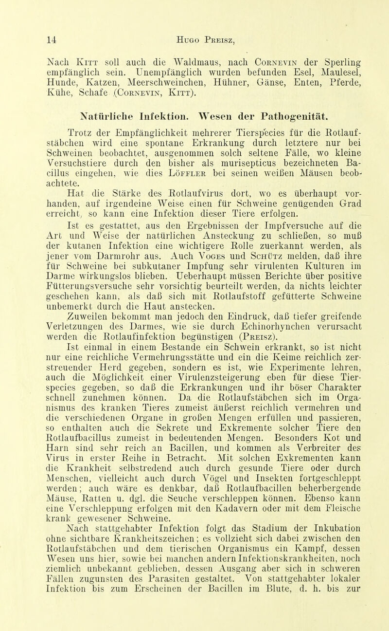 Nach Kitt soll auch die Waldmaus, nach Cornevin der Sperling empfänglich sein. Unempfänglich wurden befunden Esel, Maulesel, Hunde, Katzen, Meerschweinchen, Hühner, Gänse, Enten, Pferde, Kühe, Schafe (Cornevin, Kitt), Natttrliclie Infektion. Wesen der Pathogenität. Trotz der Empfänglichkeit mehrerer Tierspecies für die Rotlauf- stäbchen wird eine spontane Erkrankung durch letztere nur bei Schweinen beobachtet, ausgenommen solch seltene Fälle, wo kleine Versuchstiere durch den bisher als murisepticus bezeichneten Ba- cillus eingehen, wie dies Löffler bei seinen weißen Mäusen beob- achtete. Hat die Stärke des Eotlaufvirus dort, wo es überhaupt vor- handen, auf irgendeine AVeise einen für Schweine genügenden Grad erreicht, so kann eine Infektion dieser Tiere erfolgen. Ist es gestattet, aus den Ergebnissen der Impfversuche auf die Art und Weise der natürlichen Ansteckung zu schließen, so muß der kutanen Infektion eine wichtigere Eolle zuerkannt werden, als jener vom Darmrohr aus. Auch Voges und Schütz melden, daß ihre für Schweine bei subkutaner Impfung sehr virulenten Kulturen im Darme wirkungslos blieben. Ueberhaupt müssen Berichte über positive Fütterungsversuche sehr vorsichtig beurteilt werden, da nichts leichter geschehen kann, als daß sich mit Eotlaufstoff gefütterte Schweine unbemerkt durch die Haut anstecken. Zuweilen bekommt man jedoch den Eindruck, daß tiefer greifende Verletzungen des Darmes, wie sie durch Echinorhynchen verursacht werden die Rotlaufinfektion begünstigen (Preisz). Ist einmal in einem Bestände ein Schwein erkrankt, so ist nicht nur eine reichliche Vermehrungsstätte und ein die Keime reichlich zer- streuender Herd gegeben, sondern es ist, wie Experimente lehren, auch die Möglichkeit einer Virulenzsteigerung eben für diese Tier- species gegeben, so daß die Erkrankungen und ihr böser Charakter schnell zunehmen können. Da die Rotlauf Stäbchen sich im Orga- nismus des kranken Tieres zumeist äußerst reichlich vermehren und die verschiedenen Organe in großen Mengen erfüllen und passieren, so enthalten auch die Sekrete und Exkremente solcher Tiere den Rotlaufbacillus zumeist in bedeutenden Mengen. Besonders Kot und Harn sind sehr reich an Bacillen, und kommen als Verbreiter des Virus in erster Reihe in Betracht. Mit solchen Exkrementen kann die Krankheit selbstredend auch durch gesunde Tiere oder durch Menschen, vielleicht auch durch Vögel und Insekten fortgeschleppt werden; auch wäre es denkbar, daß Rotlaufbacillen beherbergende Mäuse, Ratten u. dgl. die Seuche verschleppen können. Ebenso kann eine Verschleppung erfolgen mit den Kadavern oder mit dem Fleische krank gewesener Schweine. Nach stattgehabter Infektion folgt das Stadium der Inkubation ohne sichtbare Krankheitszeichen; es vollzieht sich dabei zwischen den Rotlaufstäbchen und dem tierischen Organismus ein Kampf, dessen Wesen uns hier, sowie bei manchen andern Infektionskrankheiten, noch ziemlich unbekannt geblieben, dessen Ausgang aber sich in schweren Fällen zugunsten des Parasiten gestaltet. Von stattgehabter lokaler Infektion bis zum Erscheinen der Bacillen im Blute, d. h. bis zur