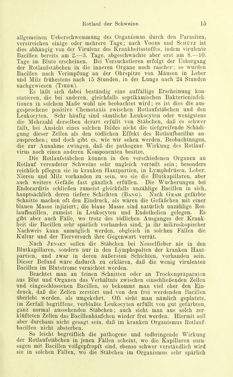 allgemeinen Ueberschwemmung des Organismus durch den Parasiten, verstreichen einige oder mehrere Tage; nach Voges und Schütz ist dies abhängig von der Virulenz des Krankheitsstoffes, indem virulente Bacillen bereits am 2.—3. Tage, abgeschwächte aber erst am 8.—10. Tage im Blute erscheinen. Bei Versuchstieren erfolgt der Uebergang der Rotlaufstäbchen in die inneren Organe noch rascher; so wurden Bacillen nach Verimpfung an der Ohrspitze von Mäusen in Leber und Milz frühestens nach 15 Stunden, in dei' Lunge nach 24 Stunden nachgewiesen (Tiede). Es läßt sich dabei beständig eine auffällige Erscheinung kon- statieren, die bei anderen, gleichfalls septikämischen Bakterieninfek- tionen in solchem Maße wohl nie beobachtet wird; es ist dies die aus- gesprochene positive Chemotaxis zwischen Rotlaufstäbchen und den Leukocyten. Sehr häufig sind sämtliche Leukocyten oder wenigstens die Mehrzalil derselben derart erfüllt von Stäbchen, daß es schwer fällt, bei Ansicht eines solchen Bildes nicht die tiefgreifende Schädi- gung dieser Zellen als den tödlichen Effekt des Rotlaufbacillus an- zusprechen ; und doch gibt es, wie wir sehen werden, Beobachtungen, die zur Annahme zwingen, daß die pathogene Wirkung des Rotlauf- virus noch einen anderen Komponenten besitze. Die Rotlaufstäbchen können in den verschiedenen Organen an Rotlauf verendeter Schweine sehr ungleich verteilt sein; besonders reichlich pflegen sie in kranken Hautpartien, in Lymphdrüsen, Leber, Nieren und Milz vorhanden zu sein, wo sie die Blutkapillaren, aber auch weitere Gefäße fast gänzlich erfüllen. Die Wucherungen bei Endocarditis schließen zumeist gleichfalls unzählige Bacillen in sich, hauptsächlich deren tiefere Schichten (Bang). Nach. Gram gefärbte Schnitte machen oft den Eindi'uck, als wären die Gefäßchen mit einer blauen Masse injiziert; die blaue Masse sind natürlich unzählige Rot- laufbazillen, zumeist in Leukocyten und Endothelien gelegen. Es gibt aber auch Fälle, wo trotz des tödlichen Ausganges der Krank- heit die Bacillen sehr spärlich vorhanden sind, ja ihr mikroskopischer Nachweis kann unmöglich werden, obgleich in solchen Fällen die Kultur und der Tierversuch ihre Gegenwart verrät. Nach Jensen sollen die Stäbchen bei Nesselfieber nie in den Blutkapillaren, sondern nur in den Lymphspalten der kranken Haut- partien, und zwar in deren äußersten Schichten, vorhanden sein. Dieser Befund wäre dadurch zu erklären, daß die wenig virulenten Bacillen im Blutstrome vernichtet werden. Beachtet man an feinen Schnitten oder an Trockenpräparatsn aus Blut und Organen das Verhältnis zwischen einschließenden Zellen und eingeschlossenen Bacillen, so bekommt man viel eher den Ein- druck, daß die Zellen zerstört und von den frei werdenden Bacillen überlebt werden, als umgekehrt. Oft sieht man nämlich geplatzte, im Zerfall begriffene, verblaßte Leukocyten erfüllt von gut gefärbten, ganz normal aussehenden Stäbchen; auch sieht man aus solch zer- klüfteten Zellen das Bacillenhäufchen wieder frei werden. Hiermit soll aber durchaus nicht gesagt sein, daß im kranken Organismus Rotlauf- bacillen nicht absterben. So leicht begreiflich die pathogene und todbringende Wirkung der Rotlaufstäbchen in jenen Fällen scheint, wo die Kapillaren sozu- sagen mit Bacillen vollgepfropft sind, ebenso schwer verständlich wird sie in solchen Fällen, wo die Stäbchen im Organismus sehr spärlich
