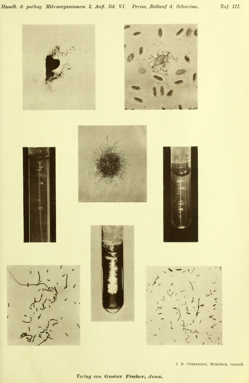 J. B. Obernetter, Müachen, reprod. Verlag von Chustav Fisclier, Jena,