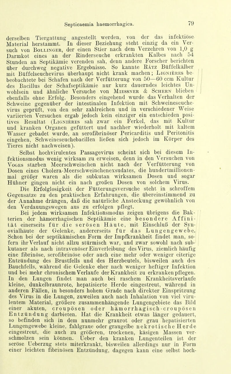 derselben Tiergattung angestellt werden, von der das infektiöse Material herstammt. In dieser Beziehung steht einzig da ein Ver- such von Bollinger, der einen Stier nach dem Verzehren von 1,0 g Darmkot eines an der Einderseuche erkrankten Kalbes nach 54 Stunden an Septikämie verenden sah, denn andere Forscher berichten über durchweg negative Ergebnisse. So kannte Ratz Büffelkälber mit Büffelseuchevirus überhaupt nicht krank raachen; LiGNiiiREs be- beobachtete bei Schafen nach der Verfütterung von 50—60 ccm Kultur | des Bacillus der Schafseptikämie nur kurz dauerndes leichtes Un- wohlsein und ähnliche Versuche von Miessner & Schern blieben ebenfalls ohne Erfolg. Besonders eingehend wurde das Verhalten der Schweine gegenüber der intestinalen Infektion mit Schweineseuche- virus geprüft, von den sehr zahlreichen und in verschiedener Weise variierten Versuchen ergab jedoch kein einziger ein entschieden posi- tives Resultat (Lignieres sah zwar ein Ferkel, das mit Kultur und kranken Organen gefüttert und nachher wiederholt mit kaltem Wasser gebadet wurde, an serofibrinöser Pericarditis und Peritonitis eingehen, Schweineseuchebacillen ließen sich jedoch im Körper des Tieres nicht nachweisen). Selbst hochvirulentes Passagevirus scheint sich bei diesem In- fektionsmodus wenig wirksam zu erweisen, denn in den Versuchen von VoGES starben Meerschweinchen nicht nach der Verfütterung von Dosen eines Cholera-Meerschweinchenexsudates, die hundertmillionen- mal größer waren als die subkutan wirksamen Dosen und sogar Hühner gingen nicht ein nach großen Dosen von solchem Virus. Die Erfolglosigkeit der Fütterungsversuche steht in schroffem Gegensatze zu den praktischen Erfahrungen, die übereinstimmend zu der Annahme drängen, daß die natürliche Ansteckung gewöhnlich von den Verdauungswegen aus zu erfolgen pflegt. Bei jedem wirksamen Infektionsmodus zeigen übrigens die Bak- terien der hämorrhagischen Septikämie eine besondere Affini- tät einerseits für die serösen Häute, mit Einschluß der Syn- ovialhäute der Gelenke, andererseits für das Lungengewebe. Schon bei der septikämischen Form der Impfkrankheit findet man, so- fern ihr Verlauf nicht allzu stürmisch war, und zwar sowohl nach sub- kutaner als nach intravenöser Einverleibung des Virus, ziemlich häufig eine fibrinöse, serofibrinöse oder auch eine mehr oder weniger eiterige Entzündung des Brustfells und des Herzbeutels, bisweilen auch des Bauchfells, während die Gelenke eher nach weniger heftiger Infektion und bei mehr chronischem Verlaufe der Krankheit zu erkranken pflegen. In den Lungen findet man auch bei raschem Krankheitsverlaufe kleine, dunkelbraunrote, hepatisierte Herde eingestreut, während in anderen Fällen, in besonders hohem Grade nach direkter Einspritzung des Virus in die Lungen, zuweilen auch nach Inhalation von viel viru- lentem Material, größere zusammenhängende Lungengebiete das Bild einer akuten, croupösen oder hämorrhagisch-croupösen Entzündung darbieten. Hat die Krankheit etwas länger gedauert, so befinden sich in dem nunmehr graurot oder grau hepatisierten Lungengewebe kleine, fahlgraue oder graugelbe nekrotische Herde eingestreut, die auch zu größeren, trockenen, käsigen Massen ver- schmolzen sein können. Ueber den kranken Lungenteilen ist der seröse Ueberzug stets miterkrankt, bisweilen allerdings nur in Form einer leichten fibrinösen Entzündung, dagegen kann eine selbst hoch-