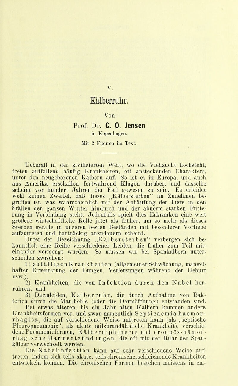 Kälberruhr. Von Prof. Dr. C. 0. Jensen in Kopenhagen. Mit 2 Figuren im Text. Ueberau in der zivilisierten Welt, wo die Viehzucht hochsteht, treten auffallend häufig Krankheiten, oft ansteckenden Charakters, unter den neugeborenen Kälbern auf. So ist es in Europa, und auch aus Amerika erschallen fortwährend Klagen darüber, und dasselbe scheint vor hundert Jahren der Fall gewesen zu sein. Es erleidet wohl keinen Zweifel, daß dieses „Kälbersterben im Zunehmen be- griffen ist, was wahrscheinlich mit der Anhäufung der Tiere in den Ställen den ganzen Winter hindurch und der abnorm starken Fütte- rung in Verbindung steht. Jedenfalls spielt dies Erkranken eine weit größere wirtschaftliche Eolle jetzt als früher, um so mehr als dieses Sterben gerade in unseren besten Beständen mit besonderer Vorliebe aufzutreten und hartnäckig anzudauern scheint. Unter der Bezeichnung ,J^älbersterben verbergen sich be- kanntlich eine Eeihe verschiedener Leiden, die früher zum Teil mit- einander vermengt wurden. So müssen wir bei Spankälbern unter- scheiden zwischen: 1) zufälligenKrankheiten (allgemeinerSchwächung, mangel- hafter Erweiterung der Lungen, Verletzungen während der Geburt usw.), 2) Krankheiten, die von Infektion durch den Nabel her- rühren, und 3) Darmleiden, Kälberruhr, die durch Aufnahme von Bak- terien durch die Maulhöhle (oder die Darmöffnung) entstanden sind. Bei etwas älteren, bis ein Jahr alten Kälbern kommen andere Krankheitsformen vor, und zwar namentlich Septicaemiahaemor- rhagica, die auf verschiedene Weise auftreten kann (als ,»septische Pleuropneumonie, als akute milzbrandähnliche Krankheit), verschie- dene Pneumonieformen, Kälberdiphtherie und croupös-hämor- rhagische Darmentzündungen, die oft mit der Euhr der Span- kälber verwechselt werden. Die Nabelinfektion kann auf sehr verschiedene Weise auf- treten, indem sich teils akute, teils chronische, schleichende Krankheiten entwickeln können. Die chronischen Formen bestehen meistens in em-