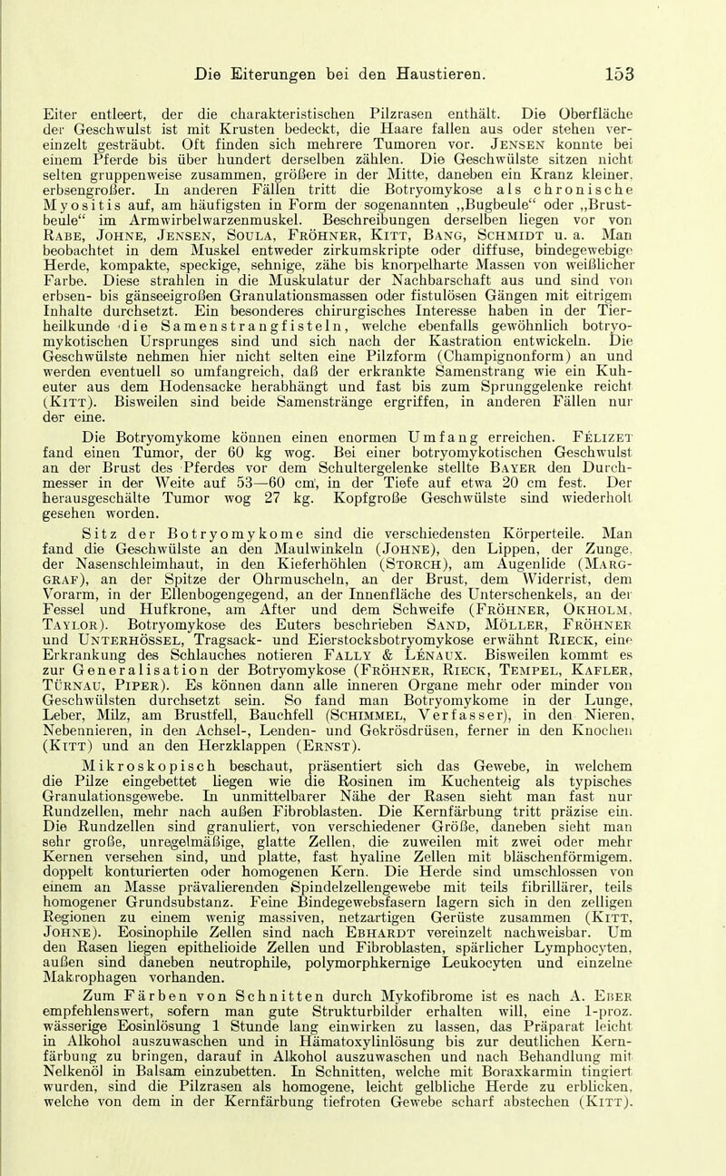 Eiter entleert, der die cliarakteristischea Pilzrasen enthält. Die Oberfläche der Geschwulst ist mit Krusten bedeckt, die Haare fallen aus oder stehen ver- einzelt gesträubt. Oft finden sich mehrere Tumoren vor. Jensen konnte bei einem Pferde bis über hundert derselben zählen. Die Geschwülste sitzen nicht selten gruppenweise zusammen, größere in der Mitte, daneben ein Kranz kleiner, erbsengroßer. In anderen Fällen tritt die Botryomykose als chronische Myositis auf, am häufigsten in Form der sogenannten „Bugbeule oder „Brust- beule im Armwirbelwarzenmuskel. Beschreibungen derselben liegen vor von Rabe, Johne, Jensen, Soula, Fröhner, Kitt, Bang, Schmidt u. a. Man beobachtet in dem Muskel entweder zirkumskripte oder diffuse, bindegewebige Herde, kompakte, speckige, sehnige, zähe bis knorpelharte Massen von weißHcher Farbe. Diese strahlen in die Muskulatur der Nachbarschaft aus und sind von erbsen- bis gänseeigroßen Granulationsmassen oder fistulösen Gängen mit eitrigem Inhalte durchsetzt. Ein besonderes chirurgisches Interesse haben in der Tier- heilkunde die Samenstrangfisteln, welche ebenfalls gewöhnlich botryo- mykotischen Ursprunges sind und sich nach der Kastration entwickeln. Die Geschwülste nehmen hier nicht selten eine Pilzform (Champignonform) an und werden eventuell so umfangreich, daß der erkrankte Samenstrang wie ein Kuh- euter aus dem Hodensacke herabhängt und fast bis zum Sprunggelenke reicht (Kitt). Bisweilen sind beide Samenstränge ergriffen, in anderen Fällen nur der eine. Die Botryomykome können einen enormen Umfang erreichen. Felizet fand einen Tumor, der 60 kg wog. Bei einer botryomykotischen Geschwulst an der Brust des Pferdes vor dem Schultergelenke stellte Bayer den Durch- messer in der Weite auf 53—60 cm', in der Tiefe auf etwa 20 cm fest. Der herausgeschälte Tumor wog 27 kg. Kopfgroße Geschwülste sind wiederholt gesehen worden. Sitz der Botryomykome sind die verschiedensten Körperteile. Man fand die Geschwülste an den Maulwinkeln (Johne), den Lippen, der Zunge, der Nasenschleimhaut, in den Kieferhöhlen (Storch), am Augenlide (Marg- graf), an der Spitze der Ohrmuscheln, an der Brust, dem Widerrist, dem Vorarm, in der Ellenbogengegend, an der Innenfläche des Unterschenkels, an dei- Fessel und Hufkrone, am After und dem Schweife (Fröhner, Okholm, Taylor). Botryomykose des Euters beschrieben Sand, Möller, Fröhner und Unterhössel, Tragsack- und Eierstoeksbotryomykose erwähnt Rieck, eine Erkrankung des Schlauches notieren Fally & Lenaux. Bisweilen kommt es zur Generalisation der Botryomykose (Fröhner, Rieck, Tempel, Kafler, Türnau, Piper). Es können dann alle inneren Organe mehr oder minder von Geschwülsten durchsetzt sein. So fand man Botryomykome in der Lunge, Leber, Müz, am Brustfell, Bauchfell (Schimmel, Verfasser), in den Nieren, Nebennieren, in den Achsel-, Lenden- und Gekrösdrüsen, ferner in den Knochen (Kitt) und an den Herzklappen (Ernst). Mikroskopisch beschaut, präsentiert sich das Gewebe, in welchem die Pilze eingebettet liegen wie die Rosinen im Kuchenteig als typisches Granulationsgewebe. In unmittelbarer Nähe der Rasen sieht man fast nur Rundzellen, mehr nach außen Fibroblasten. Die Kernfärbung tritt präzise em. Die Rundzellen sind granuliert, von verschiedener Größe, daneben sieht man sehr große, unregelmäßige, glatte Zellen, die zuweilen mit zwei oder mehr Kernen versehen sind, und platte, fast hyaline Zellen mit bläschenförmigem, doppelt konturierten oder homogenen Kern. Die Herde sind umschlossen von einem an Masse prävalierenden Spindelzellengewebe mit teils fibrillärer, teils homogener Grundsubstanz. Feine Bindegewebsfasern lagern sich in den zelligeu Regionen zu emem wenig massiven, netzartigen Gerüste zusammen (Kitt, Johne). Eosinophile Zellen sind nach Ebhardt vereinzelt nachweisbar. Um den Rasen liegen epithelioide Zellen und Fibroblasten, spärlicher Lymphocyten, außen sind daneben neutrophUe, polymorphkernige Leukocyten und einzelne Makrophagen vorhanden. Zum Färben von Schnitten durch Mykofibrome ist es nach A. Eher empfehlenswert, sofern man gute Strukturbilder erhalten will, eine 1-proz. wässerige Eosinlösung 1 Stunde lang einwirken zu lassen, das Präparat leicht in Alkohol auszuwaschen und in Hämatoxylinlösung bis zur deutlichen Kern- färbung zu bringen, darauf in Alkohol auszuwaschen und nach Behandlung mit Nelkenöl in Balsam einzubetten. In Schnitten, welche mit Boraxkarmhi tingiert, wurden, sind die Pilzrasen als homogene, leicht gelbliche Herde zu erblicken, welche von dem in der Kernfärbung tiefroten Gewebe scharf abstechen (Kitt).