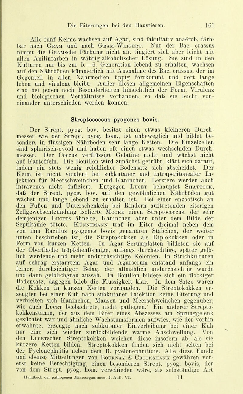 Alle fünf Keime wachsen auf Agar, sind fakultativ anaerob, färb- bar nach Gram und nach Gram-AVeigert. Nur der Bac. crassus nimmt die GRAMSche Färbung nicht an, tingiert sich aber leicht mit allen Anilinfarben in wäßrig-alkoholischer Lösung. Sie sind in den Kulturen nur bis zur 5.—6. Generation lebend zu erhalten, wachsen auf den Nährböden kümmerlich mit Ausnahme des Bac. crassus, der im Gegenteil in allen Nährmedien üppig fortkommt und dort lange leben und virulent bleibt. Außer diesen allgemeinen Eigenschaften sind bei jedem noch Besonderheiten hinsichtlich der Form, Virulenz und biologischen Verhältnisse vorhanden, so daß sie leicht von- einander unterschieden werden können. Streptococcus pyogenes bovis. Der Strept. pyog. bov. besitzt einen etwas kleineren Durch- messer wie der Strept. pyog. hom., ist unbeweglich und bildet be- sonders in flüssigen Nährböden sehr lange Ketten. Die Einzelzellen sind sphärisch-ovoid und haben oft einen etwas wechselnden Durch- messer, Der Coccus verflüssigt Gelatine nicht und wächst nicht auf Kartoffeln. Die Bouillon wird zunächst getrübt, klärt sich darauf, indem ein stets wenig reichlicher Bodensatz sich abscheidet. Der Keim ist nicht virulent bei subkutaner und intraperitonealer In^ jektion für Meerschweinchen und Kaninchen. Letztere werden auch intravenös nicht infiziert. Entgegen Lucet behauptet Shattock, daß der Strept, pyog. bov. auf den gewöhnlichen Nährböden gut wächst und lange lebend zu erhalten ist. Bei einer enzootisch an den Füßen und Unterschenkeln bei Rindern auftretenden eiterigen Zellgewebsentzündung isolierte Moore einen Streptococcus, der sehr demjenigen Lucets ähnelte, Kaninchen aber unter dem Bilde der Septikämie tötete. Künnemann traf im Eiter dreimal neben dem von ihm Bacillus pyogenes bovis genannten Stäbchen, der weiter unten beschrieben ist, die Streptokokken als Diplokokken oder in Form von kurzen Ketten. In Agar - Serumplatten bildeten sie auf der Oberfläche tröpfchenförmige, anfangs durchsichtige, später gelb- lich werdende und mehr undurchsichtige Kolonien. In Strichkulturen auf schräg erstarrtem Agar und Agarserum entstand anfangs ein feiner, durchsichtiger Belag, der allmählich undurchsichtig wurde und dann gelblichgrau aussah. In Bouillon bildete sich ein flockiger Bodensatz, dagegen blieb die Flüssigkeit klar. In dem Satze waren die Kokken in kurzen Ketten vorhanden. Die Streptokokken er- zeugten bei einer Kuh nach subkutaner Injektion keine Eiterung und verhielten sich Kaninchen, Mäusen und Meerschweinchen gegenüber, wie auch Luget beobachtete, nicht pathogen. Ein anderer Strepto- kokkenstamm, der aus dem Eiter eines Abszesses am Sprunggelenk gezüchtet war und ähnliche Wachstumsformen aufwies, wie der vorhin erwähnte, erzeugte nach subkutaner Einverleibung bei einer Kuh nur eine sich wieder zurückbildende warme Anschwellung. Von den LucETSchen Streptokokken weichen diese insofern ab, als sie kürzere Ketten bilden. Streptokokken finden sich nicht selten bei der Pyelonephritis neben dem B. pyelonephritidis. Alle diese Funde und ebenso Mitteilungen von Bournay & Crookshank gewähren vor- erst keine Berechtigung, einen besonderen Strept, pyog. bovis, der von dem Strept, pyog. hom. verschieden wäre, als selbständige Art Handbuch der pathogenen Mikroorganismen. 2. Aufl. VI. 11