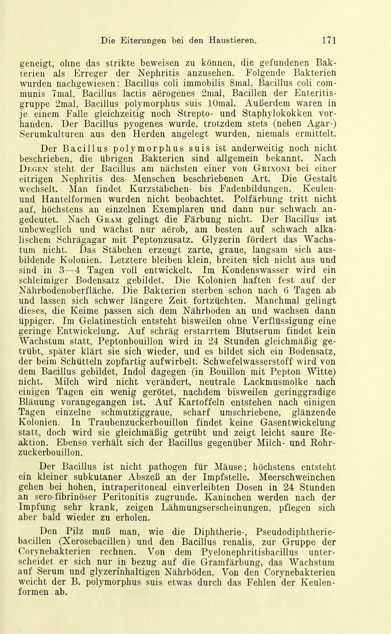 geneigt, ohne das strikte beweisen zu können, die gefundenen Bak- terien als Erreger der Nephritis anzusehen. Folgende Bakterien wurden nachgewiesen: Bacillus coli immobilis 8mal, Bacillus coli com- munis 7mal, Bacillus lactis aerogenes 2mal, Bacillen der Enteritis- gruppe 2mal, Bacillus polymorphus suis lOmal. Außerdem waren in je einem Falle gleichzeitig noch Strepto- und Staphylokokken vor- handen. Der Bacillus pyogenes wurde, trotzdem stets (neben Agar-) Serurakulturen aus den Herden angelegt wurden, niemals ermittelt. Der Bacillus polymorphus suis ist anderweitig noch nicht beschrieben, die übrigen Bakterien sind allgemein bekannt. Nach Degen steht der Bacillus am nächsten einer von Grixoni bei einer eitrigen Nephritis des Menschen beschriebenen Art. Die Gestalt wechselt. Man findet Kurzstäbchen- bis Fadenbildungen. Keulen- und Hantelformen wurden nicht beobachtet. Polfärbung tritt nicht auf, höchstens an einzelnen Exemplaren und dann nur schwach an- gedeutet. Nach Gram gelingt die Färbung nicht. Der Bacillus ist unbeweglich und wächst nur aerob, am besten auf schwach alka- lischem Schrägagar mit Peptonzusatz. Glyzerin fördert das Wachs- tum nicht. IJas Stäbchen erzeugt zarte, graue, langsam sich aus- bildende Kolonien. Letztere bleiben klein, breiten sich nicht aus und sind in 3—4 Tagen voll entwickelt. Im Kondenswasser wird ein schleimiger Bodensatz gebildet. Die Kolonien haften fest auf der Nährbodenoberfläche. Die Bakterien sterben schon nach 6 Tagen ab und lassen sich schwer längere Zeit fortzüchten. Manchmal gelingt dieses, die Keime passen sich dem Nährboden an und wachsen dann üppiger. Im Gelatinestich entsteht bisweilen ohne Verflüssigung eine geringe Entwickelung. Auf schräg erstarrtem Blutserum findet kein Wachstum statt, Peptonbouillon wird in 24 Stunden gleichmäßig ge- trübt, später klärt sie sich wieder, und es bildet sich ein Bodensatz, der beim Schütteln zopfartig aufwirbelt. Schwefelwasserstoff wird von dem Bacillus gebildet, Indol dagegen (in Bouillon mit Pepton Witte) nicht. Milch wird nicht verändert, neutrale Lackmusmolke nach einigen Tagen ein wenig gerötet, nachdem bisweilen geringgradige Bläuung vorangegangen ist. Auf Kartoffeln entstehen nach einigen Tagen einzelne schmutziggraue, scharf umschriebene, glänzende Kolonien. In Traubenzuckerbouillon findet keine Gasentwickelung statt, doch wird sie gleichmäßig getrübt und zeigt leicht saure Re- aktion. Ebenso verhält sich der Bacillus gegenüber Milch- und Rohr- zuckerbouillon. Der Bacillus ist nicht pathogen für Mäuse; höchstens entsteht ein kleiner subkutaner Abszeß an der Impfstelle. Meerschweinchen gehen bei hohen, intraperitoneal einverleibten Dosen in 24 Stunden an sero-fibrinöser Peritonitis zugrunde. Kaninchen werden nach der Impfung sehr krank, zeigen Lähmungserscheinungen, pflegen sich aber bald wieder zu erholen. Den Pilz muß man, wie die Diphtherie-, Pseudodiphtherie- bacillen (Xerosebacillen) und den Bacillus renalis, zur Gruppe der Corynebakterien rechnen. Von dem Pyelonephritisbacillus unter- scheidet er sich nur in bezug auf die Gramfärbung, das Wachstum auf Serum und glyzerinhaltigen Nährböden. Von den Corynebakterien weicht der B. polymorphus suis etwas durch das Fehlen der Keulen- formen ab.