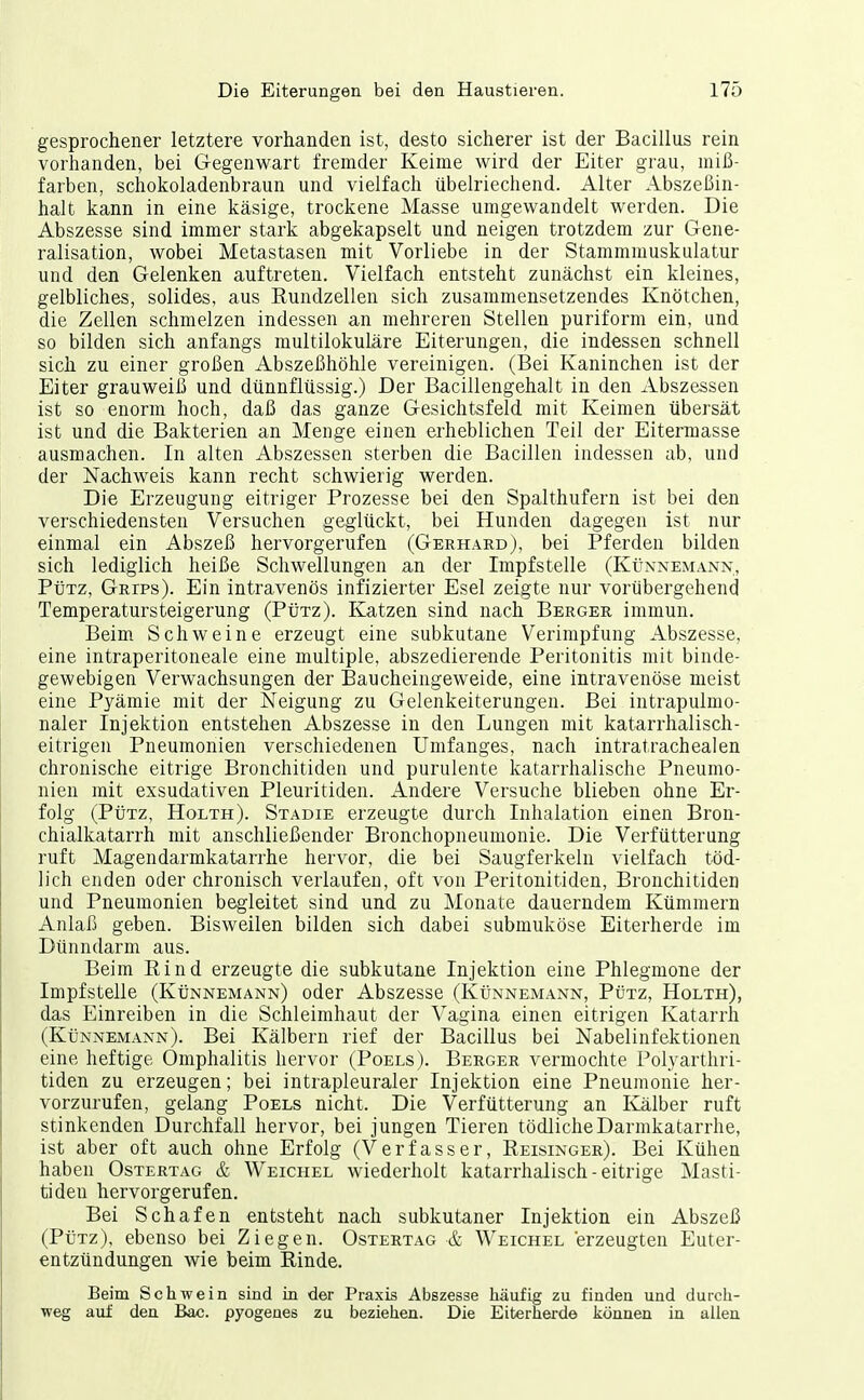 gesprochener letztere vorhanden ist, desto sicherer ist der Bacillus rein vorhanden, bei Gegenwart fremder Keime wird der Eiter grau, miß- farben, schokoladenbraun und vielfach übelriechend. Alter Abszeßin- halt kann in eine käsige, trockene Masse umgewandelt werden. Die Abszesse sind immer stark abgekapselt und neigen trotzdem zur Gene- ralisation, wobei Metastasen mit Vorliebe in der Stammmuskulatur und den Gelenken auftreten. Vielfach entsteht zunächst ein kleines, gelbliches, solides, aus Rundzellen sich zusammensetzendes Knötchen, die Zellen schmelzen indessen an mehreren Stellen puriform ein, und so bilden sich anfangs multilokulare Eiterungen, die indessen schnell sich zu einer großen Abszeßhöhle vereinigen. (Bei Kaninchen ist der Eiter grauweiß und dünnflüssig.) Der Bacillengehalt in den Abszessen ist so enorm hoch, daß das ganze Gesichtsfeld mit Keimen übersät ist und die Bakterien an Menge einen erheblichen Teil der Eitermasse ausmachen. In alten Abszessen sterben die Bacillen indessen ab, und der Nachweis kann recht schwierig werden. Die Erzeugung eitriger Prozesse bei den Spalthufern ist bei den verschiedensten Versuchen geglückt, bei Hunden dagegen ist nur einmal ein Abszeß hervorgerufen (Gerhard), bei Pferden bilden sich lediglich heiße Schwellungen an der Impfstelle (Künnemann, PijTz, Grips). Ein intravenös infizierter Esel zeigte nur vorübergehend Temperatursteigerung (Pütz). Katzen sind nach Berger immun. Beim Schweine erzeugt eine subkutane Verimpfung Abszesse, eine intraperitoneale eine multiple, abszedierende Peritonitis mit binde- gewebigen Verwachsungen der Baucheingeweide, eine intravenöse meist eine Pyämie mit der Neigung zu Gelenkeiterungen. Bei intrapulmo- naler Injektion entstehen Abszesse in den Lungen mit katarrhalisch- eitrigen Pneumonien verschiedenen Umfanges, nach intratrachealen chronische eitrige Bronchitiden und purulente katarrhalische Pneumo- nien mit exsudativen Pleuritiden. Andere Versuche blieben ohne Er- folg (Pütz, Holth). Stadie erzeugte durch Inhalation einen Bron- chialkatarrh mit anschließender Bronchopneumonie. Die Verfütterung ruft Magendarmkatarrhe hervor, die bei Saugferkeln vielfach töd- lich enden oder chronisch verlaufen, oft von Peritonitiden, Bronchitiden und Pneumonien begleitet sind und zu Monate dauerndem Kümmern Anlaß geben. Bisweilen bilden sich dabei submuköse Eiterherde im Dünndarm aus. Beim Rind erzeugte die subkutane Injektion eine Phlegmone der Impfstelle (Künnemann) oder Abszesse (Künnemann, Pütz, Holth), das Einreiben in die Schleimhaut der Vagina einen eitrigen Katarrh (Künnemann). Bei Kälbern rief der Bacillus bei Nabelinfektionen eine heftige Omphalitis hervor (Poels). Berger vermochte Polyarthri- tiden zu erzeugen; bei intrapleuraler Injektion eine Pneumonie her- vorzurufen, gelang Poels nicht. Die Verfütterung an Kälber ruft stinkenden Durchfall hervor, bei jungen Tieren tödliche Darmkatarrhe, ist aber oft auch ohne Erfolg (Verfasser, Reisinger). Bei Kühen haben Ostertag & Weichel wiederholt katarrhalisch - eitrige Masti- tiden hervorgerufen. Bei Schafen entsteht nach subkutaner Injektion ein Abszeß (Pütz), ebenso bei Ziegen. Ostertag & Weichel erzeugten Euter- entzündungen wie beim Rinde. Beim Schwein sind in der Praxis Abszesse häufig zu finden und durch- weg auf den Bac. pyogenes zu beziehen. Die Eiterherde Jiönnen in allen