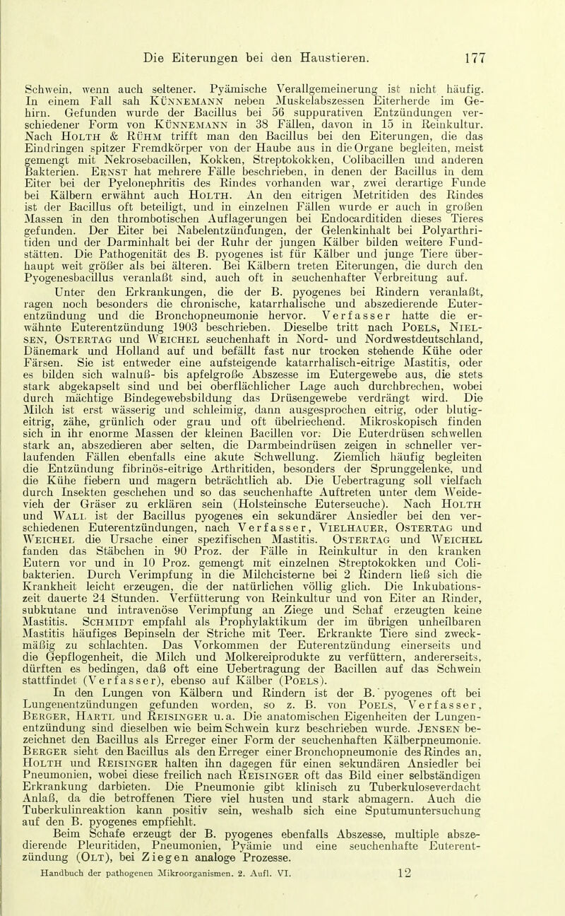 Schwein, wenn auch seltener. Pyämische Verallgemeinerung ist nicht häufig. In einem Fall sah Künnemann neben Muskelabszessen Eiterherde im Ge- hirn. Gefunden wurde der Bacillus bei 56 suppurativen Entzündungen ver- schiedener Form von Künnemann in 38 Fällen, davon in 15 in Reinkultur. Nach HoLTH & Rühm trifft man den Bacillus bei den Eiterungen, die das Eindringen spitzer Fremdkörper von der Haube aus in die Organe begleiten, raeist gemengt mit Nekrosebacillen, Kokken, Streptokokken, Colibacillen und anderen Bakterien. Ernst hat mehrere Fälle beschrieben, in denen der Bacillus in dem Eiter bei der Pyelonephritis des Rindes vorhanden war, zwei derartige Funde bei Kälbern erwähnt auch Holth. An den eitrigen Metritiden des Rindes ist der Bacillus oft beteiligt, und in einzelnen Fällen wurde er auch in großen Massen in den thrombotischen Auflagerungen bei Endocarditiden dieses Tieres gefunden. Der Eiter bei NabelentziincTungen, der Gelenkinhalt bei Polyarthri- tiden und der Darminhalt bei der Ruhr der jungen Kälber bilden weitere Fund- stätten. Die Pathogenität des B. pyogenes ist für Kälber und junge Tiere über- haupt weit größer als bei älteren. Bei Kälbern treten Eiterungen, die durch den Pyogenesbacillus veranlaßt sind, auch oft in seuchenhafter Verbreitung auf. Unter den Erkrankungen, die der B. pyogenes bei Rindern veranlaßt, ragen noch besonders die chronische, katarrhalische und abszedierende Euter- entzündung und die Bronchopneumonie hervor. Verfasser hatte die er- wähnte Euterentzündung 1903 beschrieben. Dieselbe tritt nach Poels, Niel- sen, OsTERTAG und Weichel seuchenhaft in Nord- und Nordwestdeutschland, Dänemark und Holland auf und befällt fast nur trocken stehende Kühe oder Färsen. Sie ist entweder eine aufsteigende katarrhalisch-eitrige Mastitis, oder es bilden sich walnuß- bis apfelgroße Abszesse im Eutergewebe aus, die stets stark abgekapselt sind und bei oberflächlicher Lage auch durchbrechen, wobei durch mächtige Bindegewebsbildung das Drüsengewebe verdrängt wird. Die Milch ist erst wässerig und schleimig, dann ausgesprochen eitrig, oder blutig- eitrig, zähe, grünlich oder grau und oft übelriechend. Mikroskopisch finden sich in ihr enorme Massen der kleinen Bacillen vor. Die Euterdrüsen schwellen stark an, abszedieren aber selten, die Darmbeindrüsen zeigen in schneller ver- laufenden Fällen ebenfalls eine akute Schwellung. Ziemlich häufig begleiten die Entzündung fibrinös-eitrige xirthritiden, besonders der Sprunggelenke, und die Kühe fiebern und magern beträchtlich ab. Die Uebertragung soll vielfach durch Insekten geschehen und so das seuchenhafte Auftreten unter dem Weide- vieh der Gräser zu erklären sein (Holsteinsche Euterseuche). Nach Holth und Wall ist der Bacillus pyogenes ein sekundärer Ansiedler bei den ver- schiedenen Euterentzündungen, nach Verfasser, Vielhauer, Ostertag und Weichel die Ursache einer spezifischen Mastitis. Ostertag und Weichel fanden das Stäbchen in 90 Proz. der Fälle in Reinkultur in den kranken Eutern vor und in 10 Proz. gemengt mit einzelnen Streptokokken und Coli- bakterien. Durch Verimpfung in die Milchcisterne bei 2 Rindern ließ sich die Krankheit leicht erzeugen, die der natürlichen völlig glich. Die Inkubations- zeit dauerte 24 Stunden. Verfütterung von Reinkultur und von Eiter an Rinder, subkutane und intravenöse Verimpfung an Ziege und Schaf erzeugten keine Mastitis. Schmidt empfahl als Prophylaktikum der im übrigen unheilbaren Mastitis häufiges Bepinseln der Striche mit Teer. Erkrankte Tiere sind zweck- mäßig zu sehlachten. Das Vorkommen der Euterentzündung einerseits und die Gepflogenheit, die Milch und Molkereiprodukte zu verfüttern, andererseits, dürften es bedingen, daß oft eine Uebertragung der Bacillen auf das Schwein stattfindet (Verfasser), ebejiso auf Kälber (Poels). In den Lungen von Kälbern und Rindern ist der B.' pyogenes oft bei Lungeneaitzündungen gefunden worden, so z. B. von Poels, Verfasser, Berger, Hartl und Reisinger u.a. Die anatomischen Eigenheiten der Lungen- entzündung sind dieselben wie beim Schwein kurz beschrieben wurde. Jensen be- zeichnet den Bacillus als Erreger einer Form der seuchenhaften Kälberpneumonie. Berger sieht den Bacillus als den Erreger einer Bronchopneumonie des Rindes an, PIoLTH und Reisinger halten ihn dagegen für einen sekundären Ansiedler bei Pneumonien, wobei diese freilich nach Reisinger oft das Bild einer selbständigen Erkrankung darbieten. Die Pneumonie gibt klinisch zu Tuberkuloseverdacht Anlaß, da die betroffenen Tiere viel husten und stark abmagern. Auch die Tuberkulinreaktion kann positiv sein, weshalb sich eine Sputumuntersuchung auf den B. pyogenes empfiehlt. Beim Schafe erzeugt der B. pyogenes ebenfalls Abszesse, multiple absze- dierende Pleuritiden, Pneumonien, Pyämie und eine seuchenhafte Euterent- zündung (Olt), bei Ziegen analoge Prozesse. Handbuch der pathogenen Mikroorganismen. 2. Aufl. VI. 12