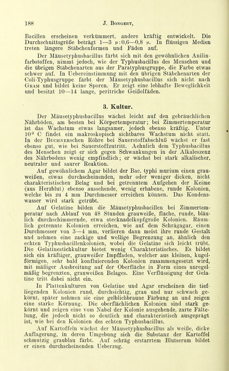 Bacillen erscheinen verkümmert, andere kräftig entwickelt. Die Durchschnittsgröße beträgt 1—3 fi:0,6—0,8 ^i. In flüssigen Medien treten längere Stäbchenformen und Fäden auf. Der Mäusetyphusbacillus färbt sich mit den gewöhnlichen Anilin- farbstoffen, nimmt jedoch, wie der Typhusbacillus des Menschen und die übrigen Stäbchenarten aus der Paratyphusgruppe, die Farbe etwas schwer auf. In Uebereinstimmung mit den übrigen Stäbchenarten der Coli-Typhusgruppe färbt der Mäusetyphusbacillus sich nicht nach Gram und bildet keine Sporen. Er zeigt eine lebhafte Beweglichkeit und besitzt 10—14 lange, peritriche Geißelfäden. 3. Kultur. Der Mäusetyphusbacillus wächst leicht auf den gebräuchlichen Nährböden, am besten bei Körpertemperatur; bei Zimmertemperatur ist das Wachstum etwas langsamer, jedoch ebenso kräftig. Unter 10*^ C findet ein makroskopisch sichtbares Wachstum nicht statt. In der BucHNERSchen Köhre bei Sauerstoffabschluß wächst er fast ebenso gut, wie bei Sauerstoffzutritt. Aehnlich dem Typhusbacillus des Menschen zeigt er sich gegen Schwankungen in der Alkaleszenz des Nährbodens wenig empfindlich; er wächst bei stark alkalischer, neutraler und saurer Reaktion. Auf gewöhnlichem Agar bildet der Bac. typhi murium einen grau- weißen, etwas durchscheinenden, mehr oder weniger dicken, nicht charakteristischen Belag und bei getrenntem Aufgehen der Keime (aus Herzblut) ebenso aussehende, wenig erhabene, runde Kolonien, welche bis zu 4 mm Durchmesser erreichen können. Das Kondens- wasser wird stark getrübt. Auf Gelatine bilden die Mäusetyphusbacillen bei Zimmertem- peratur nach Ablauf von 48 Stunden grauweiße, flache, runde, bläu- lich durchschimmernde, etwa stecknadelkopfgroße Kolonien. Räum- lich getrennte Kolonien erreichen, wie auf dem Schrägagar, einen Durchmesser von 3—4 mm, verlieren dann meist ihre runde Gestalt und nehmen eine zackige und wellige Begrenzung an, ähnlich den echten Typhusbacillenkolonien, wobei die Gelatine sich leicht trübt. Die Gelatinestichkultur bietet wenig Charakteristisches. Es bildet sich ein kräftiger, grauweißer Impffaden, welcher aus kleinen, kugel- förmigen, sehr bald konfluierenden Kolonien zusammengesetzt wird, mit mäßiger Ausbreitung auf der Oberfläche in Form eines unregel- mäßig begrenzten, grauweißen Belages. Eine Verflüssigung der Gela- tine tritt dabei nicht ein. In Plattenkulturen von Gelatine und Agar erscheinen die tief- liegenden Kolonien rund, durchsichtig, grau und nur schwach ge- körnt, später nehmen sie eine gelblichbraune Färbung an und zeigen eine starke Körnung. Die oberflächlichen Kolonien sind stark ge- körnt und zeigen eine vom Nabel der Kolonie ausgehende, zarte Fälte- lung, die jedoch nicht so deutlich und charakteristisch ausgeprägt ist, wie bei den Kolonien des echten Typhusbacillus. Auf Kartoffeln wächst der Mäusetyphusbacillus als weiße, dicke Auflagerung, in deren Umgebung sich die Substanz der Kartoffel schmutzig graublau färbt. Auf schräg erstarrtem Blutserum bildet er einen durchscheinenden Ueberzug.