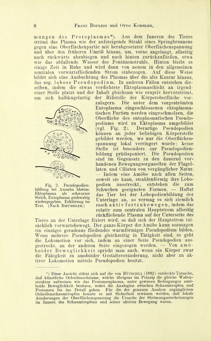 mungen des Protoplasmas*). Aus dem Inneren des Tieres strömt das Plasma wie der aufsteigende Strahl eines Springbrunnens gegen eine Oberflächenpartie mit herabgesetzter Oberflächenspannung und über den früheren Umriß hinaus, um, vorne angelangt, allseitig nach rückwärts abzubiegen und nach hinten zurückzufließen, etwa wie das abfallende Wasser des Fontänenstrahls. Hinten bleibt es einige Zeit in Ruhe und wird dann von neuem in den allgemeinen zentralen vorwärtsfließenden Strom einbezogen. Auf diese Weise bildet sich eine Ausbuchtung des Plasmas über die alte Kontur hinaus, das sog. lobose Pseudopodium. In anderen Fällen entstehen die- selben, indem die etwas verdichtete Ektoplasmaschicht an irgend- einer Stelle platzt und der Inhalt gleichsam wie eruptiv hervorströmt, um sich halbkugelartig der Rißstelle der Körperoberfläche vor- zulagern. Die unter dem vorgeströmten Entoplasma eingeschlossenen ektoplasma- tischen Partien werden eingeschmolzen, die Oberfläche des entoplasmatischen Pseudo- podiums wird zu Ektoplasma umgebildet (vgl. Fig. 2). Derartige Pseudopodien können an jeder beliebigen Körperstelle gebildet werden, wo nur die Oberflächen- spannung lokal verringert wurde; keine Stelle ist besonders zur Pseudopodien- bildung prädisponiert. Die Pseudopodien sind im Gegensatz zu den dauernd vor- handenen Bewegungsorganellen der Flagel- laten und Ciliaten von vergänglicher Natur. — Indem eine Amöbe nach allen Seiten, soweit sie kann, strahlenförmig ihre Lobo- podien ausstreckt, entstehen die zum Schweben geeigneten Formen. — Haftet das Tier bei der Lobopodienbildung der Unterlage an, so vermag es sich ziemlich rasch aktiv fortzubewegen, indem das relativ zum zentralen Hauptstrom allseitig rückfließende Plasma auf der Unterseite des Tieres an der Unterlage fixiert wird, so daß sich der Hauptstrom tat- sächlich vorwärtsbewegt. Der ganze Körper der Amöbe kann sozusagen ein einziges geradeaus fließendes wurmförmiges Pseudopodium bilden. Wenn mehrere Pseudopodien gleichzeitig in Tätigkeit sind, so geht die Lokomotion vor sich, indem an einer Seite Pseudopodien aus- gestreckt, an der anderen Seite eingezogen werden. — Von amö- boider Beweglichkeit spricht man auch, wenn ein Körper zwar die Fähigkeit zu amoböider Gestaltsveränderung, nicht aber zu ak- tiver Lokomotion mittels Pseudopodien besitzt. Fig. 2. Pseudopodien- bildung bei Amoeba blattae. Ektoplasma als schwarzer Strich, Entoplasma grob wabig wiedergegeben. Erklärung im Text. (Nach Rhumbler.) *) Diese Ansicht stützt sich auf die von Bütschli (1892) entdeckte Tatsache, daß künstliche Oelseifenschäume, welche übrigens im Prinzip die gleiche Waben- struktur aufweisen wie das Protozoenplasma, unter gewissen Bedingungen amö- boide Beweglichkeit besitzen, wobei die Analogien zwischen Schaumtropfen und Protozoen bis ins Detail gehen. Für die der genauen Analyse zugänglichen Oelseifenschaumtropfen konnte es mit Sicherheit erwiesen werden, daß lokale Aenderungen der Oberflächenspannung die Ursache der Strömungserscheinungen im Innern des Schaumtropfens und seiner aktiven Bewegung waren.