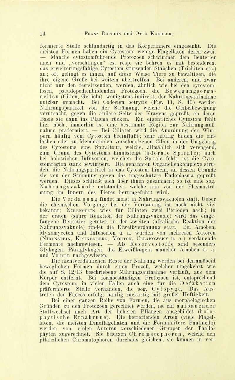 formierte Stelle schlundartig in das Körperinnere eingesenkt. Die meisten Formen haben ein Cytostom, wenige Flagellaten deren zwei. — Manche cytostomführende Protozoen schwimmen dem Beutetier nach und „verschlingen es, resp. sie bohren es mit besonderen, das erweiterungsfähige Cytostom stützenden Stäbchen (Trichiten etc.) an; oft gelingt es ihnen, auf diese Weise Tiere zu bewältigen, die ihre eigene Größe bei weitem übertreffen. Bei anderen, und zwar nicht nur den festsitzenden, werden, ähnlich wie bei den cytostom- losen, pseudopodienbildenden Protozoen, die Bewegungsorga- neilen (Cilien, Geißeln), wenigstens indirekt, der Nahrungsaufnahme nutzbar gemacht. Bei Codosiga botrytis (Fig. 11, S. 40) werden Nahrungs'partikel von der Strömung, welche die Geißelbewegung verursacht, gegen die äußere Seite des Kragens gepreßt, an deren Basis sie dann ins Plasma rücken. Ein eigentliches Cytostom fehlt hier noch; immerhin ist eine bestimmte E-egion zur Nahrungsauf- nahme präformiert. — Bei Ciliaten wird die Anordnung der Wim- pern häufig vom Cytostom beeinflußt; sehr häufig bilden die ein- fachen oder zu Membranulen verschmolzenen Cilien in der Umgebung- des Cytostoms eine Spiraltour, welche, allmählich sich verengend, zum Grund des Cytostoms hinabsteigt (adorale Spirale); auch bei holotrichen Infusorien, welchen die Spirale fehlt, ist die Cyto- stomregion stark bewimpert. Die genannten Organellenkomplexe stru- deln die Nahrungspartikel in das Cytostom hinein, an dessen Grunde sie von der Strömung gegen das ungeschützte Endoplasma gepreßt werden. Dieses schließt sich über ihnen zusammen; so ist eine sog. Nahrungsvakuole entstanden,- welche nun von der Plasmaströ- mung im Innern des Tieres herumgeführt wird. Die Verda uung findet meist in Nahrungsvakuolen statt. Ueber die chemischen Vorgänge bei der Verdauung ist noch nicht viel bekannt; Nirenstein wies für Ciliaten zwei Perioden nach; in der ersten (saure Eeaktion der Nahrungsvakuole) wird das einge- fangene Beutetier getötet, in der zweiten (alkalische Reaktion der Nahrungsvakuole) findet die Eiweißverdauung statt. Bei Amöben, Myxomyceten und Infusorien u. a. wurden von mehreren Autoren (Nirenstein, Krukenberg, Mouton, Celakowsky u. a.) verdauende Fermente nachgewiesen. — Als Reservestoffe sind besonders Glykogen, Paraglykogen, die Eiweißkugeln mancher Amöben u. a. und Volutin nachgewiesen. Die nichtverdaulichen Reste der Nahrung werden bei den amöboid beweglichen Formen durch einen Prozeß, welcher umgekehrt wie die auf S. 12/13 beschriebene Nahrungsaufnahme verläuft, aus dem Körper entfernt. Bei formbeständigen Protozoen ist, entsprechend dem Cytostom, in vielen Fällen auch eine für die Defäkation präformierte Stelle vorhanden, die sog. Cytopyge. Das Aus- treten der Faeces erfolgt häufig ruckartig mit großer Heftigkeit. Bei einer ganzen Reihe von Formen, die aus morphologischen Gründen zu den Protozoen gerechnet werden, ist ein aufbauender Stoffwechsel nach Art der höheren Pflanzen ausgebildet (holo- phytische Ernährung). Die betreffenden Arten (viele Flagel- laten, die meisten Dinoflagellaten und die Foraminifere Paulinella) werden von vielen Autoren verschiedenen Gruppen der Thallo- phyten zugerechnet. Sie besitzen C h r o m a t o p h o r e n , welche den pflanzlichen Chromatophoren durchaus gleichen; sie können in ver-