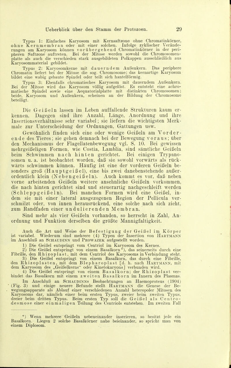 Typus 1: Einfaches Karyosom mit Kernsaftzone oline Chromatinkörner, ohne Kernmembran oder mit einer solchen. Infolge zyklischer Verände- rmigen am Karyosom können vorübergehend Chromatinkörner in der peri- pheren Saftzone auftreten. Bei der Mitose werden sowohl die Chromosomen- platte als auch die verschieden stark ausgebildeten Polkappen ausschließlich aus Karyosommaterial gebildet. Typus 2: Karyosomkerne mit dauerndem Außenkern. Das periphere Chromatin liefert bei der iiitose die sog. Chromosome; das kernartige Karyosom bildet eine wabig gebaute Spindel oder teilt sich hanteiförmig. Typus 3: Ebenfalls chromatisches Karyosom mit dauerndem Außenkern. Bei der Mitose wird das Karyosom völlig aufgelöst. Es entsteht eine achro- matische Spindel sowie eine Aequatorialplatte mit distinkten Chromosomen; beide, Karyosom und Außenkern, scheinen an der Bildung der Chromosome beteiligt. Die Geißeln lassen im Leben auffallende Strukturen kaum er- kennen. Dagegen sind ihre Anzahl, Länge, Anordnung und ihre Insertionsverhältnisse sehr variabel; sie liefern die wichtigsten IMerk- male zur Unterscheidung der Ordnungen, Gattungen usw. Gewöhnlich finden sich eine oder wenige Geißeln am Vorder- ende des Tieres; sie gehen demnach bei der Bewegung voraus; über den Mechanismus der Flagellatenbewegung vgl. S. 10. Bei gewissen mehrgeißeligen Formen, wie Costia, Lamblia, sind sämtliche Geißeln beim Schwimmen nach hinten gerichtet. Bei einigen Trypano- somen u. a. ist beobachtet worden, daß sie sowohl vorwärts als rück- wärts schwimmen können. Häufig ist eine der vorderen Geißeln be- sonders groß (Hauptgeißel), eine bis zwei danebenstehende außer- ordentlich klein (Neb eng eißein). Auch kommt es vor, daß neben vorne arbeitenden Geißeln weitere ansehnliche Geißeln vorkommen, die nach hinten gerichtet sind und steuerartig nachgeschleift werden (Schleppgeißeln). Bei manchen Formen Avird eine Geißel, in- dem sie mit einer lateral ausgezogenen Region der Pellicula ver- schmilzt oder, von innen herausrückend, eine solche nach sich zieht, zum Eandfaden einer undulierenden Membran. Sind mehr als vier Geißeln vorhanden, so herrscht in Zalil^ An- ordnung und Funktion derselben die größte Mannigfaltigkeit. Auch die Art und Weise der Befestigung der Geißel im Körper ist variabel. Wiederum sind mehrere (4) Typen der Insertion von Hartm-inx im Anschluß an Schaudinx und Prowazek aufgestellt worden. 1) Die Geißel entspringt vom Centriol im Karyosom des Kernes. 2) Die Geißel entspringt von einem Basalkorn*), das seinerseits durch eine Fibrille, den Rhizoplast, mit dem Centriol des Karyosoms in Verbindung steht. 3) Die Geißel entspringt von einem Basalkorn, das durch eine Fibrille, den Rhizoplasten, mit dem Blepharoplast [d. h. nach Hartmaxx, mit dem Karyosom des „Geißelkerns oder Kinetokaryons] verbunden wird. 4) Die Geißel entspringt von einem Basalkorn; der Rhizoplast ver- bindet das Basalkorn mit einem zweiten Basalkorn im Innern des Plasmas. Im Anschluß an Schaüdixxs Beobachtungen an Haemoproteus (1904) (Fig. 3) und einige neuere Befunde stellt Hartmaxx die Genese der Be- wegungsapparate als Ablauf einer verschiedenen Anzahl heteropoler 3Iitosen des Karyosoms dar, nämlich einer beim ersten Typus, zweier beim zweiten Typus, dreier beim dritten Tj'pus. Beim ersten Typ soll die Geißel als Centro- de smose einer einmaligen Teilung des Centriols entstehen. Im zweiten Fall *) Wenn mehrere Geißeln nebeneinander inserieren, so besitzt jede ein Basalkorn. Liegen 2 solche Basalkörner nahe beieinander, so spricht man von einem Diplosom.