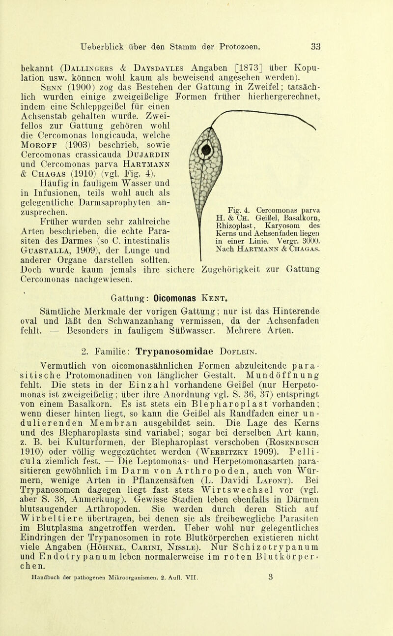 bekannt (Dallingers & Daysdayles Angaben [1873] über Kopu- lation usw. können wohl kaum als beweisend angesehen werden). Senn (1900) zog das Bestehen der Gattung in Zweifel; tatsäch- lich wurden einige zweigeißelige Formen früher hierhergerechnet, indem eine Schleppgeißel für einen Achsenstab gehalten wurde. Zwei- fellos zur Gattung gehören wohl die Cercomonas longicauda, welche MoROFF (1903) beschrieb, sowie Cercomonas crassicauda Dujardin und Cercomonas parva Hartmann & Chagas (1910) (vgl. Fig. 4). Häufig in fauligem Wasser und in Infusionen, teils wohl auch als gelegentliche Darmsaprophyten an- zusprechen. Früher wurden sehr zahlreiche Arten beschrieben, die echte Para- siten des Darmes (so C. intestinalis GuASTALLA, 1909), der Lunge und anderer Organe darstellen sollten. Doch wurde kaum jemals ihre sichere Zugehörigkeit zur Gattung Cercomonas nachgewiesen. Fig. 4. Cercomonas parva H. & Ch. Geißel, Basaliforn, Rhizoplast, Karyosom des Kerns und Achsenfaden Hegen in einer Linie. Vergr. 3000. Nach Hartmanjst & Chagas. Gattung: Oicomonas Kent. Sämtliche Merkmale der vorigen Gattung; nur ist das Hinterende oval und läßt den Schwanzanhang vermissen, da der Achsenfaden fehlt. — Besonders in fauligem Süßwasser. Mehrere Arten. 2. Familie: Trypanosomidae Doflein. Vermutlich von oicomonasähnlichen Formen abzuleitende para- sitische Protomonadinen von länglicher Gestalt. Mundöffnung fehlt. Die stets in der Einzahl vorhandene Geißel (nur Herpeto- monas ist zweigeißelig; über ihre Anordnung vgl. S. 36, 37) entspringt von einem Basalkorn. Es ist stets ein Blepharoplast vorhanden; wenn dieser hinten liegt, so kann die Geißel als Eandfaden einer u n - dulierenden Membran ausgebildet sein. Die Lage des Kerns und des Blepharoplasts sind variabel; sogar bei derselben Art kann, z. B. bei Kulturformen, der Blepharoplast verschoben (Rosenbusch 1910) oder völlig weggezüchtet werden (Werbitzky 1909). Pelli- c'ula ziemlich fest. — Die Leptomonas- und Herpetomonasarten para- sitieren gewöhnlich im Darm von Arthropoden, auch von Wür- mern, wenige Arten in Pflanzensäften (L. Davidi Lafont). Bei Trypanosomen dagegen liegt fast stets Wirtswechsel vor (vgl. aber S. 38, Anmerkung). Gewisse Stadien leben ebenfalls in Därmen blutsaugender Arthropoden. Sie werden durch deren Stich auf Wirbeltiere übertragen, bei denen sie als freibewegliche Parasiten im Blutplasma angetroffen werden. Ueber wohl nur gelegentliches Eindringen der Trypanosomen in rote Blutkörperchen existieren nicht viele Angaben (Höhnel, Carini, Nissle). Nur Schizotrypanum und Endotrypanum leben normalerweise im roten Blutkörper- chen. Handbuch der pathogenen Mikroorganismen. 2. Aufl. VII. 3