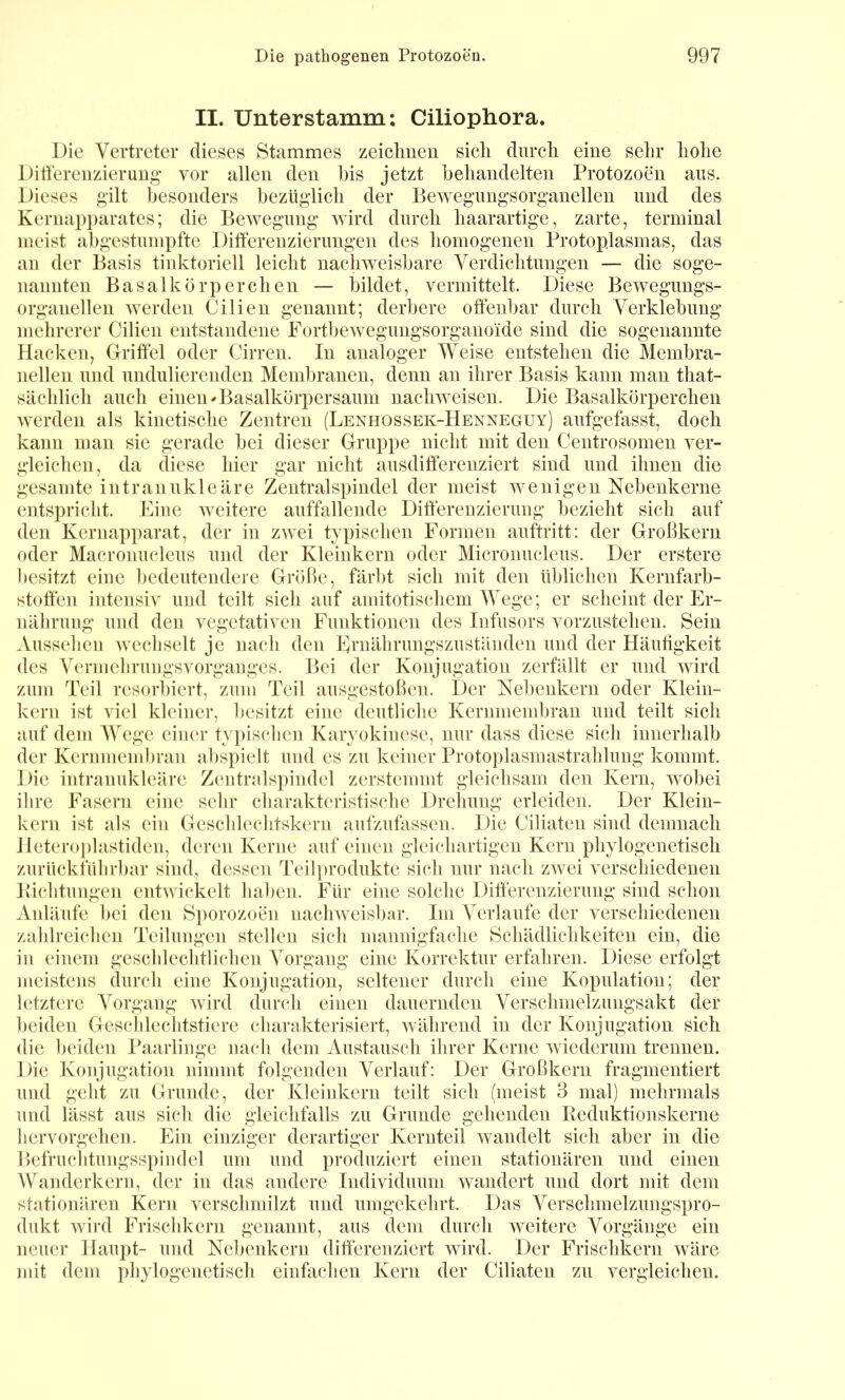 II. Unterstamm: Ciliophora. Die Vertreter dieses Stammes zeiclmeu sicli durch eine sehr hohe Differenzieruug- vor allen den bis jetzt behandelten Protozoen aus. Dieses gilt besonders bezüglich der Bewegungsorganellen und des Kernapparates; die Bewegung wird durch haarartige, zarte, terminal meist abgestumpfte Differenzierungen des homogenen Protoplasmas, das an der Basis tinktoriell leicht nachweisbare Verdichtungen — die soge- nannten Basalkörperchen — bildet, vermittelt. Diese Bewegungs- organellen werden Cilien genannt; derbere offenbar durch Verklebung mehrerer Cilien entstandene Fortbewegungsorganoide sind die sogenannte Hacken, Griffel oder Cirren. In analoger Weise entstehen die Membra- nellen und undulierenden Membranen, denn an ihrer Basis kann man that- sächlicli auch einen ^Basalkürpersauni nachweisen. Die Basalkörperchen werden als kinetische Zentren (Lenhossek-Hexneguy) aufgefasst, doch kann man sie gerade bei dieser Gruppe nicht mit den Centrosomen ver- gleichen, da diese hier gar nicht ausdiff'erenziert sind und ihnen die gesamte intranukleäre Zentralspindel der meist wenigen Nebenkerne entspricht. Eine weitere auffallende Differenzierung bezieht sich auf den Kernapparat, der in zwei typischen Formen auftritt: der Großkern oder Macronucleus und der Kleinkern oder Micronucleus. Der erstere l)esitzt eine bedeutendeie Größe, färbt sich mit den üblichen Kernfarb- stoffen intensiv und teilt sich auf amitotiscliem Wege; er scheint der Er- nälirung und den vegetativen Funktionen des Infusors vorzustehen. Sein Ausselien Avechselt je nach den Ernährungszuständen und der Häufigkeit des Vermelirungsvorganges. Bei der Konjugation zerfällt er und wird zum Teil resoiTiert, zum Teil ausgestoßeu. Der Nebenkern oder Klein- kern ist viel kleiner, besitzt eine deutliche Kernmembrau und teilt sich auf dem AVegc einer typiBchen Karyokinese, nur dass diese sich innerhalb der Kernmembran abspielt und es zu keiner Protoplasmastrahluug kommt. Die intranukleäre Zentralspindel zerstemmt gleichsam den Kern, wobei ihre Fasern eine sehr charakteristische Drehung erleiden. Der Klein- kern ist als ein Gesclilechtskern aufzufassen. Die Ciliaten sind demnach Hetero]dastiden, deren Kerne auf einen gleichartigen Kern phylogenetisch zurückfüliiTar sind, dessen Teil})rodukte sich nur nach zwei verschiedenen Biclitungen entwickelt hal)en. Für eine solche Differenzierung sind schon Anläufe l)ei den Si)orozocn nachweisbar. Im Verlaufe der verschiedenen zalilreichen Teilungen stellen sich mannigffichc Schädlichkeiten ein, die in einem geschlechtlichen Vorgang eine Korrektur erfahren. Diese erfolgt meistens durch eine Konjugation, seltener durch eine Kopulation; der letztere Vorgang wird durch einen dauernden Verschmelzungsakt der ])eiden Gescbleclitstiere charakterisiert, während in der Konjugation sich die ])eiden Paarlinge nach dem Austausch ihrer Kerne wiederum trennen. Die Konjugation nimmt folgenden Verlauf: Der Großkerii fragmentiert und geht zu Grunde, der Kleinkern teilt sich (meist 3 mal) mehrmals und lässt aus sich die gleichfalls zu Grunde gehenden Beduktionskerne hervorgehen. Ein einziger derartiger Kernteil wandelt sich aber in die Befruchtungsspindel um und produziert einen stationären und einen Wanderkern, der in das andere Individuum wandert und dort mit dem stalionären Kern verschmilzt und umgekehrt. Das Verschmelzungspro- dukt wird Frischkern genannt, aus dem durch weitere Vorgänge ein neuer Haupt- uud Nebenkern differenziert wird. Der Frischkern Aväre mit dem pliylogenetiscli einfachen Kern der Ciliaten zu vergleichen.