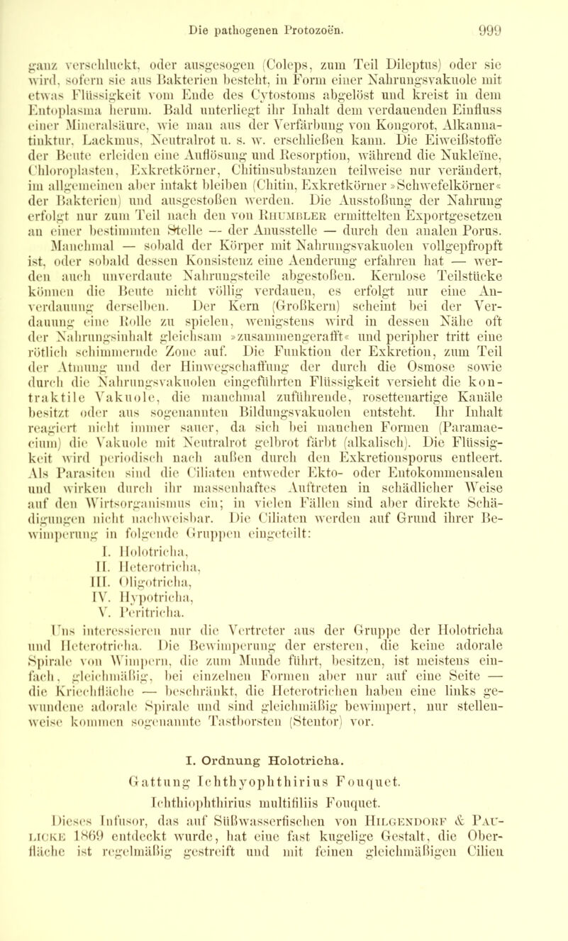 ganz verscliluekt, oder aiisgesogeii (Coleps, zum Teil Dileptus) oder sie wird, sofern sie ans 1 Bakterien bestellt, in i^irm einer Xalirungsvakuole mit etwas Flüssigkeit vom Ende des Cytostoms abgelöst und kreist in dem Kntoplasma herum. Bald unterliegt ihr Inhalt dem A’^erdauenden Einfluss einer Mineralsäure, wie man aus der Verfärbung a on Kongorot, Alkanna- tinktur, Lackmus, Xeutralrot u. s. av. erschließen kann. Die Ehveißstoffe der Beute erleiden eine Auflösung und Desorption, AAäüirend die Nukleiue, Chloropiasten, Exkretkörner, Chitinsubstanzen teihveise nur Anrändert, im allgemeinen aber intakt bleiben fChitin, Exkretkörner »ScliAAnfelköruer« der Bakterien) und ausgestoßen Averdeu. Die Ausstoßung der Nahrung erfolgt nur zum Teil nach den Ami Ehuaibler ermittelten Exportgesetzen an einer bestimmten Hieße — der Anusstelle — durch den analen Porus. ^lanchmal — sobald der Körper mit NahrungSAakuolen vollgepfropft ist, oder sobald dessen Konsistenz eine Aeuderung erfahren hat — Aver- den auch unverdaute Nahrimgsteile abgestoßen. Kernlose Teilstücke können die Beute nicht völlig A’erdauen, es erfolgt nur eine An- verdauung derselben. Der Kern (Großkern) scheint bei der Ver- dauung eine Bolle zu s])ielen, AA^enigstens Avird in dessen Nähe oft der Nabrungsinhalt gleichsam »zusammengerafft« und peripher tritt eine rötlich schimmernde Zone auf. Die Funktion der Exkretion, zum Teil der Atmung und der Himvegschaffung der durch die Osmose soAAÜe durch die Nahrungsvakuolen eingeführten Flüssigkeit Amsieht die kon- traktile ATikuole, die manchmal zuführende, rosetteuartige Kanäle besitzt oder aus sogenannten Bildung.sAnkuolen entsteht. Ihr Inhalt reagiert nicht immer sauer, da sich bei maucheu Formen (Paramae- cium) di(* Mikuole mit Neutralrot gelbrot färbt (alkalisch). Die Flüssig- keit Avinl periodisch nach außen durch den Exkretionsporus entleert. Als Parasiten sind die Ciliaten entAveder Ekto- oder Entokommensalen und Avirken durch ihr massenhaftes Auftreten in schädlicher AVeise auf den Wirtsorganismus ein; in vielen Fällen sind aber direkte Schä- digungen nicht nacliAveisbar. Die Ciliaten Averden auf Grund ihrer Be- Aviin])erung in folgnaide Grup])en eingeteilt: I. Ilolotricha, II. Il(*terotricha, III. Oligotricha, IV. IIy])otricha, \\ P(‘ritricha. Fns interessierc'ii nur die Vc'rtreter aus der Grup])e der Ilolotricha und Iletenffricha. Die BeAvim])erung der ersteren, die keine adorale Spirale von M'impern, die zum Alunde führt, besitzen, ist meistens ein- fach, gleichmäßig, bei einzelnen Formen aber nur auf eine Seite — die Kriechfläche — beschränkt, die lleterotrichen haben eine links ge- Avundene adorale S])irale und sind gleichmäßig bcAvimpcrt, nur stelleu- Aveise kommen sogcMiannte Tastborsten (Stentor) A'or. I. Ordnung Holotricha. Gattung rchthyophthirius Fouquet. Ichthio])hthirius multitiliis Fouquet. Dies(*s Inliisor, das auf SüßAvasserflschen Aon IIilgexdorf & Pau- LiEKE lSf)9 entdeckt Avurdc, hat eine fast kugelige Gestalt, die Ober- fläche ist n'gelmäßig gestreift und mit feinen gleichmäßigen Cilieii