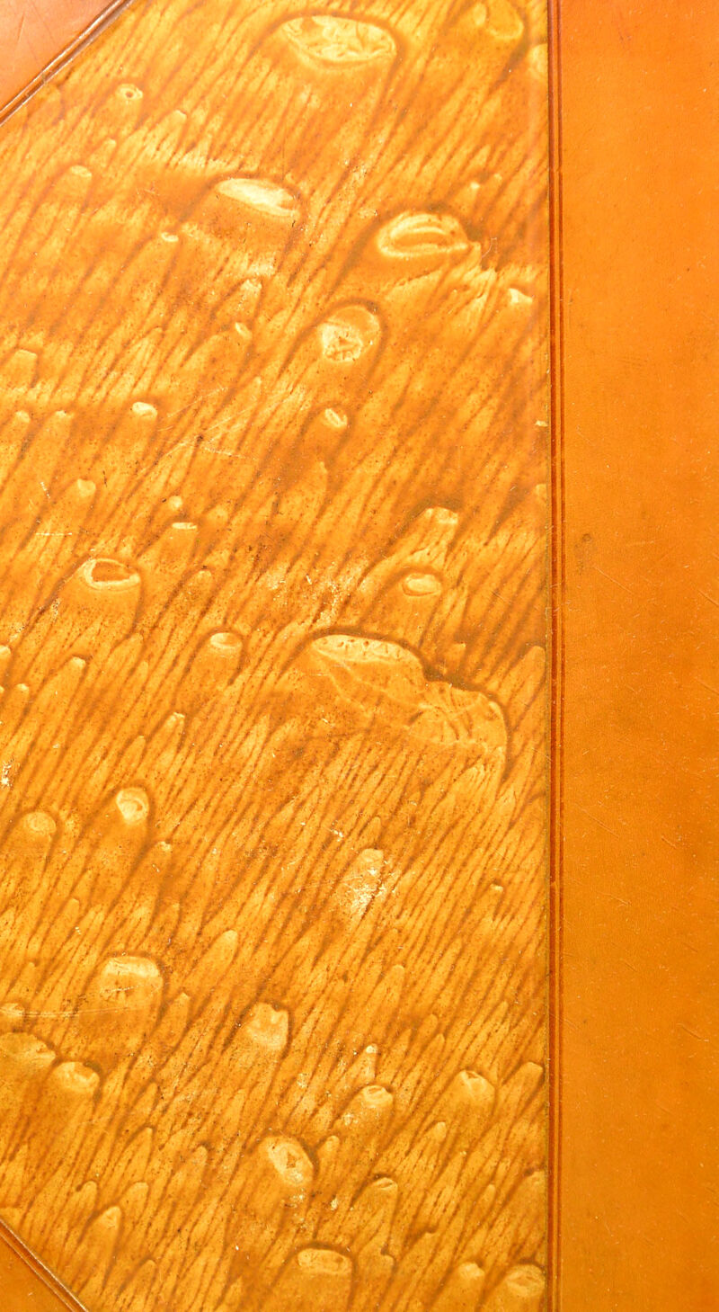 No text description is available for this image