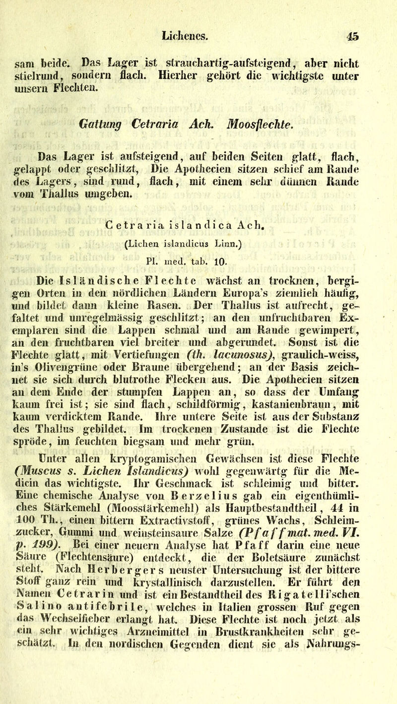 sam beide. Das Lager ist strauchartig-aufsteigend, aber nicht stielrund, sondern flach. Hierher gehört die wichtigste unter unsern Flechten. Gattung Cetraria Ach. Moosflechte. Das Lager ist ansteigend, auf beiden Seiten glatt, flach, gelappt oder geschlitzt, Die Apothecien sitzen schief am Rande des Lagers, sind rund, flach, mit einem sehr dünnen Rande vom Thallus umgeben. Cetraria islandica Ach. (Lichen islandicus Linn.) PI. med. tab. 10. Die Isländische Flechte wächst an trocknen, bergi- gen Orten in den nördlichen Ländern Europa’s ziemlieh häufig, und bildet dann kleine Rasen. Der Thallus ist aufrecht, ge- faltet und unregelmässig geschützt ; an den unfruchtbaren Ex- emplaren sind die Lappen schmal und am Rande gewimpert, an den fruchtbaren viel breiter und abgerundet. Sonst ist die Flechte glatt, mit Vertiefungen (th. lacunosus), graulich-weiss, ins Olivengrüne oder Braune übergehend; an der Basis zeich- net sie sich durch blutrothe Flecken aus. Die Apothecien sitzen an dem Ende der stumpfen Lappen an, so dass der Umfang kaum frei ist; sie sind flach, schildförmig, kastanienbraun, mit kaum verdicktem Rande. Ihre untere Seite ist aus der Substanz des Thallus gebildet. Im trockenen Zustande ist die Flechte spröde, im feuchten biegsam und mehr grün. Unter allen kryptogamischen Gewächsen ist diese Flechte (Muscus s. Lichen Islandicus) wohl gegen wärtg für die Me- diän das wichtigste. Ihr Geschmack ist schleimig und bitter. Eine chemische Analyse von Berzelius gab ein eigenthümli- ches Stärkemehl (Moosstärkemehl) als Hauptbestandteil, 44 in 100 Th., einen bittern Extractivstoff, grünes Wachs, Schleim- zucker, Gummi und w eiusteinsaure Salze (P f a ffmat. med. VI. p. 199). Bei einer neuern Analyse hat Ffaff darin eine neue Säure (Flechtensäure) entdeckt, die der Boletsäure zunächst steht. Nach Herbergers neuster Untersuchung ist der bittere Stoff ganz rein und kristallinisch darzustellen. Er führt den Namen Ce t rar in und ist ein Bestandteil des Riga telli’schen Salino antifebrile, welches in Italien grossen Ruf gegen das Wechseifieber erlangt hat. Diese Flechte ist noch jetzt als ein sehr wichtiges Arzneimittel in Brustkrankheiten sehr ge- schätzt. In den nordischen Gegenden dient sie als Nahrungs-