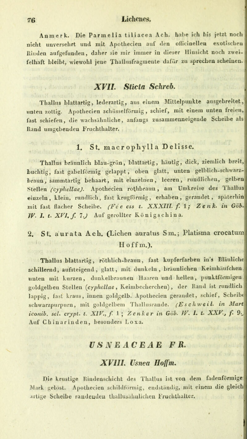 Anmerk. Die Parmelia tiliacea Ach. habe ich bis jetzt noch nicht unversehrt uncl mit Apothecien auf den oflicinellen exotischen Rinden aufgefunden, daher sie mir immer in dieser Hinsicht noch zwei- felhaft bleibt, wiewohl jene Thallusfragmente dafür zu sprechen scheinen. XVII. Sticta Schreb. Thallus blattartig, lederartig, aus einem Mittelpunkte ausgebreitet, unten zottig. Apothecien schüsselförmig , schief, mit einem unten freien, fast schiefen, die wachsähnliche, anfangs zusammenneigende Scheibe als Rand umgebenden Fruchthalter. 1. St. macrophylla Delisse. Thallus bräunlich blau-grün, blattartig, häutig, dick, ziemlich breit, buchtig, fast gabelförmig gelappt, oben glatt, unten gelblich-sch\varz-j braun, sammtartig behaart, mit einzelnen, leeren, rundlichen, gelben Stellen (cyphellae). Apothecien rothbraun, am Umkreise des Thallus einzeln, klein, rundlich, fast krugfbrmig, erhaben, gerandet, späterhin mit fast flacher Scheibe. (Fe e ess t. XXXIII. fl; Zen k. in Gab. JV. I. t. XVI, f l.J Auf gerollter Königs china. 2. St. aurata Ach. (Lichen auratus Sm.; Platisma crocatum Iloffm.). Thallus blattartig, röthlich-braun, fast kupferfarben in’s Bläuliche schillernd, aufsteigend, glatt, mit dunkeln, bräunlichen Keimhäufchen, unten mit kurzen, dunkelbraunen Haaren und hellen, punktförmigen goldgelben Stellen (cyphellae, Keimbeclierchen), der Rand ist rundlich I lappig, fast kraus, innen goldgelb. Apothecien gerandet, schief, Scheibe schwarzpurpurn, mit goldgelbem Thallusrande. (Es cliwe il. in Mart iconib. sei. crypt. t. XIV., f. 1; Zenker in Gab. IV. 1. t. XXV., f £)•„ Auf Chinarinden, besonders Loxa. USNEACEAE FR. XVIII. Usnea Ilofjm. Die krustige Rindenschicht des Thallus ist von dem fadenförmige! Mark gebist. Apothecien schildförmig, endständig, mit einem die gleich artige Scheibe raudenden thallusähnlichen Fruchthaller.