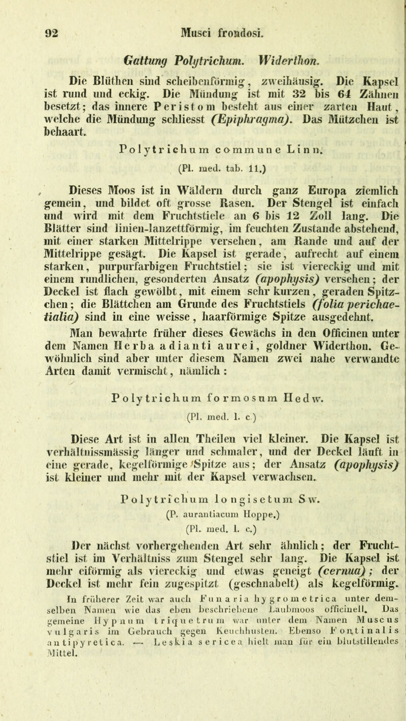 Gattung Polytrichum. Widertlion. Die Blütheii sind scheibenförmig’, zweihäusig. Die Kapsel ist rund und eckig. Die Mündung ist mit 32 bis 64 Zähnen besetzt; das innere Peristom besteht aus einer zarten Haut, welche die Mündung schliesst (Epiphragma). Das Mützchen ist I behaart. Polytrichum commune L i n n. (PL med. tab. 11.) Dieses Moos ist in Wäldern durch ganz Europa ziemlich gemein, und bildet oft grosse Rasen. Der Stengel ist einfach und wird mit dem Fruchtstiele an 6 bis 12 Zoll lang. Die j Blätter sind linien-lanzettförmig, im feuchten Zustande abstehend, 1 mit einer starken Mittelrippe versehen, am Rande und auf der j Mittelrippe gesägt. Die Kapsel ist gerade, aufrecht auf einem starken, purpurfarbigen Fruchtstiel; sie ist viereckig und mit einem rundlichen, gesonderten Ansatz (apophysis) versehen; der Deckel ist flach gewölbt, mit einem sehr kurzen, geraden Spitz- elten ; die Blättchen am Grunde des Fruchtstiels (folia perichae- tialia) sind in eine weisse, haarförmige Spitze ausgedehnt. Man bewahrte früher dieses Gewächs in den Officinen unter dem Namen Herba adianti aurei, goldner Widerthon. Ge- wöhnlich sind aber unter diesem Namen zwei nahe verwandte Arten damit vermischt, nämlich : Polytrichum formosum IIedw. (PI. med. 1. c.) Diese Art ist in allen Theilen viel kleiner. Die Kapsel ist verhältnissmässig länger und schmaler, und der Deckel läuft in eine gerade, kegelförmige/Spitze aus; der Ansatz (apophysis) ist kleiner und mehr mit der Kapsel verwachsen. Polytrichum longisetum Sw. (P. aurantiacum Hoppe.) (Pl. med. 1. c.) Der nächst vorhergehenden Art sehr ähnlich; der Frucht- stiel ist im Verhältniss zum Stengel sehr lang. Die Kapsel ist mehr eiförmig als viereckig und etwas geneigt (cernua); der Deckel ist mehr fein zugespitzt (geschnabelt) als kegelförmig. In früherer Zeit war auch Funaria hy grometrica unter dem- selben Namen wie das eben beschriebene Laubmoos offieinell. Das gemeine IIy p n u m triquetru m war unter dem Namen Muscus vulgaris im Gebrauch gegen Keuchhusten. Ebenso F o n, t i n a 1 i s an tipy ret ica. — Le skia sericea hielt man für ein blutstillendes Mittel.