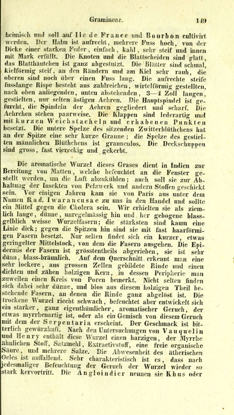 heimisch um! soll auf 11 e de France und Bourbon cultivirt werden. Der Halm ist aufrecht, mehrere Fuss hoch, von der Dicke einer starken Feder, einfach, kahl, sehr steif und innen mit Mark erfüllt. Die Knoten und die Blattscheiden sind g-latt, das Blatthäutchen ist ganz abgestutzt. Die Blätter sind schmal’ kielförmig“ steif, an den Rändern und am Kiel sehr rauh, die oberen sind noch über einen Fuss lang. Die aufrechte steife fusslange Rispe besteht aus zahlreichen, wirtelförmig gestellten, nach oben anliegenden, unten abstehenden, 3—4 Zoll langen, gestielten, nur selten ästigen Aehren. Die'Hauptspindel ist ge- furcht, die Spindeln der Aehren gegliedert und scharf. Die Aehrchen stehen paarweise. Die Klappen sind lederartig und mit kurzen Weichstacheln und erhabenen Punkten besetzt. Die untere Spelze des sitzenden Zwitterblüthchens hat au der Spitze eine sehr kurze Granne ; die Spelze des gestiel- ten männlichen Blüthchens ist grannenlos. Die Deckschuppen sind gross, fast viereckig und gekerbt. Die aromatische Wurzel dieses Grases dient in Indien zur Bereitung von Matten, welche befeuchtet an die Fenster ge- stellt werden, um die Luft abzukühlen; auch soll sie zur Ab- haltung der Insekten von Pelzwerk und andern Stoffen geschickt sein. Vor einigen Jahren kam sie von Paris aus unter dem Namen Bad. Iwarancusae zu uns in den Handel und sollte ein Mittel gegen die Cholera sein. Wir erhielten sie als ziem- lich lange, dünne, unregelmässig hin und her gebogene blass- gelblich weisse Wurzelfasern; die stärksten sind kaum eine Linie dick; gegen die Spitzen hin sind sie mit fast haarförmi- gen Fasern besetzt. Nur selten findet sich ein kurzer, etwas geringelter Mittelstock, von dem die Fasern ausgehen. Die Epi- dermis der Fasern ist grösstentheils abgerieben, sie ist sehr dünn, blass-bräunlich. Auf dem Querschnitt erkennt man eine sehr lockere, aus grossen Zellen gebildete Binde und einen dichten und zähen holzigen Kern,, in dessen Peripherie man zuweilen einen Kreis von Poren bemerkt. Nicht selten finden sich dabei sehr dünne, und hlos aus diesem holzigen Theil be- stehende Fasern, an denen die Binde ganz abgelöst ist. Die trockene Wurzel riecht schwach, befeuchtet aber entwickelt sich ein starker r ganz eigentümlicher, aromatischer Geruch, der etw as myrrhenartig ist, oder als ein Gemisch von diesem Geruch mit dem der Serpentaria erscheint. Der Geschmack ist bit- terlich gewürzhaft. Nach den Untersuchungen von Vau quelin und Henry enthält diese Wurzel einen harzigen, der Myrrhe ähnlichen Stoff, Satzmehl, Extractivstoff, eine freie organische Säuie, und mehrere Salze. Die Abw esenheit des ätherischen Oeles ist auffallend. Sehr charakteristisch ist es, dass nach jedesmaliger Befeuchtung der Geruch der Wurzel wieder so staik kervortritt. Die Angloindier nennen sie Khus oder