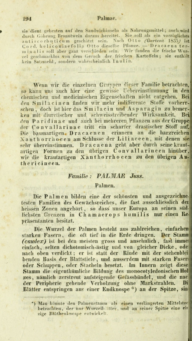 sie dient gebraten auf den Sandwicliinseln als Nahrungsmittel; auch wird durch Giilirung Branntwein daraus bereite!. Sie soll als ein vorzügliches antiscorb u ticu m geschätzt sein. Nach Otto (Gartenz 1835^1 ist Cord, heliconiaefolia Otto dieselbe Pflanze. — Dracaena ter- minal is soll aber ganz verschieden sein, Mir fanden die frische Wur- zel geschmacklos von dem Geruch der frischen Kartoffeln ; sie enthalt kein Satzmehl, sondern wahrscheinlich Inulin. Wenn wir die einzelnen Gruppen dieser Familie betrachten, so kann uns auch hier eine gewisse Übereinstimmung in den chemischen und medicinischen Eigenschaften nicht entgehen. Bei den Smilacinen finden wir mehr indifferente Stoffe vorherr- schen, doch ist hier das Smilacin und As paragin zu bemer- ken mit diuretischer und schweisstreibender Wirksamkeit. Bei den P a r i d i n a e und auch bei mehreren Pflanzen aus der Gruppe der Convallarinae tritt ein scharfer drastischer Stoff auf. Oie baumartigen* Dracaenen erinnern an die harzreichen X a n t h o r r ii o-e e n am Schlüsse der L i 1 i a c e e n , mit denen sie sehr übereinstimmen. Dracaena geht aber durch seine kraut- artigen Formen zu den übrigen C onv all a rin een hinüber, wie die krautartigen Xanthorrhoeen zu den übrigen A u- th e r i c i n e e n. Familie: PALMAE Juss. Palmen. Die Palmen bilden eine der schönsten und ausgezeichne- testen Familien des Gewächsreiches, die fast ausschliesslich der heissen Zonen angehört, so dass unser Europa an seinen süd- lichsten Grenzen in Chamaerops humilis nur einen Re- präsentanten besitzt. Die Wurzel der Palmen besteht aus zahlreichen, einfachen starken Fasern, die oft tief in die Erde dringen. Der Stamn (caudex) ist bei den meisten gross und ansehnlich, fasl immei einfach, selten dichotomisch-ästig und von gleicher Dicke, ode nach oben verdickt; er ist statt der Rinde mit der stehenblei benden Basis der Blattstiele, und ausserdem mit starken Fasern oder Schuppen, oder Stacheln besetzt. Im Innern zeigt diese- Stamm die eigenthümliche Bildung des monocotyledonischenHol zes, nämlich zerstreut aufsteigende Gefässbündel, und die nac der Peripherie gehende Verholzung ohne Markstrahlen. Di: Blätter entspringen aus einer Endknospe *) an der Spitze, sin *) Mau könnte den Palmenstamm als einen verlängerten Mittelstocl betrachten, der hur Wurzelb itter, und an seiner Spitze eine eir zige Blüthenknospe entwickelt.