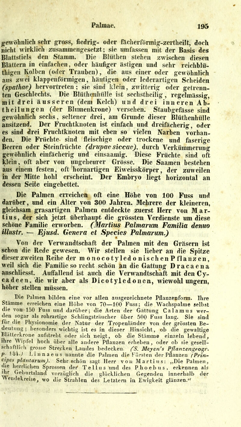 gewöhnlich sehr gross, fiedrig- oder f&cherförmig-zertheilfc, doch nicht wirklich zusammengesetzt; sie umfassen mit der Basis des Blattstiels den Stamm. Die Blüthen stehen zwischen diesen Blättern in einfachen, oder häufiger ästigen und sehr reichblü- thigen Kolben (oder Trauben), die aus einer oder gewöhnlich aus zwei klappenförmigen, häutigen oder lederartigen Scheiden (spathae) hervortreten; sie sind klein, zwitterig oder getrenn- ten Geschlechts. Die Blüthenhülle ist sechstheilig, regelmässig, mit drei äusseren (dem Kelch) und drei inneren Ab- theilungen (der Blumenkrone) versehen. Staubgefässe sind gewöhnlich sechs, seltener drei, am Grunde dieser Blüthenhülle ansitzend. Der Fruchtknoten ist einfach und dreifächerig, oder es sind drei Fruchtknoten mit eben so vielen Narben vorhan- den. Die Früchte, sind fleischige oder trockene und faserige Beeren oder Steinfrüchte (drupae siccae), durch Verkümmerung gewöhnlich einfächerig und einsaamig. Diese Früchte sind oft klein, oft aber von ungeheurer Grösse. Die Saamen bestehen aus einem festen, oft hornartigen Eiweisskörper, der zuweilen in der Mitte hohl erscheint. Der Embryo liegt horizontal an dessen Seite eingebettet. Die Palmen erreichen oft eine Höhe von 100 Fuss und darüber, und ein Alter von 300 Jahren. Mehrere der kleineren, gleichsam grasartigen Palmen entdeckte zuerst Herr von Mar- tius, der sich jetzt überhaupt die grössten Verdienste um diese schöne Familie erworben. (Martins Palmarum Familia denuo illustr. ‘— Ejusd. Genera et Species Palmarum.) Von der Verwandtschaft der Palmen mit den Gräsern ist schon die Bede gewesen. Wir stellen sie lieber an die Spitze dieser zweiten Reihe der monocotyledonischenPflanzen, weil sich die Familie so recht schön an die Gattung Dracaena anschliesst. Auffallend ist auch die Verwandtschaft mit den Cy- cadeen, die wir aber als Dicotyledonen, wiewohl ungern, höher stellen müssen. Die Palmen bilden eine vor allen ausgezeichnete Pflanzenform. Ihre Stämme erreichen eine Höhe von 70—100 Fuss; die Wachspalme selbst die von 150 Fuss und darüber; die Arten der Gattung Calamus wer- den sogar als rohrartige Schlingsträucher über 500 Fuss lang. Sie sind für die Physionomie der Natur der Tropenländer von der grössten Be- deutung ; besonders wichtig ist es in dieser Hinsicht, ob die gewaltige Blätterkrone aufstrebt oder sich neigt, ob die Stämme einzeln lebend, ihre Wipfel hoch über alle andere Pflanzen erheben, oder ob sie gesell- schaftlich grosse Strecken Landes bedecken. ('S. Meyens Pßanzengeogv. P 144.; Linnaeus nannte die Palmen die Fürsten der Pflanzen (Prin- cipes plantarumj. Sehr 6chön sagt Herr von Martins: ,,Die Palmen, die herrlichen Sprossen dei* Tellus'und des Phoebus, erkennen als dir Geburtsland vorzüglich die glücklichen Gegenden innerhalb der Wendekreise, wo die Strahlen des Letztem in Ewigkeit glänzen.