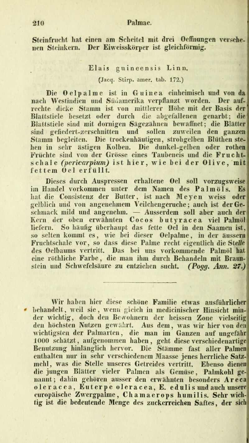 Steinfrucht hat einen am Scheitel mit drei Oeffnungen versehe- nen Steinkern. Der Eiweisskörper ist gleichförmig. Eiais guineensis Linn. (Jacq. Stirp. amer. tab. 172.) Die 0 e 1 p a 1 m e ist in Guinea einheimisch und von da nach Westindien und Südamerika verpflanzt worden. Der auf- rechte dicke Stamm ist von mittlerer Höhe mit der Basis der Blattstiele besetzt oder durch die abgefallenen genarbt; die’ Blattstiele sind mit dornigen Sägezähnen bewaffnet; die Blätter sind gefiedert-zerschnitten und sollen zuweilen den ganzen Stamm begleiten. Die trockenhäutigen, strohgelben Blüthen ste- hen in sehr ästigen Kolben. Die dunkel-gelben oder rothen Früchte sind von der Grösse eines Taubeneis und die Frucht- scbale (pericarpium) ist hier, w ie bei der Olive, mit fettem Oel erfüllt. Dieses durch Auspressen erhaltene Oel soll vorzugsweise im Handel V orkommen unter dem Namen des Palmöls. Es bat die Consistenz der Butter, ist nach Meyen weiss oder gelblich und von angenehmem Veilchengeruche; auch ist der Ge- schmack mild und angenehm. — Ausserdem soll aber auch der Kern der oben erwähnten Cocos butyracea viel Palmöl i liefern. So häufig überhaupt das fette Oel in den Saamen ist, so selten kommt es, wie bei dieser Oelpalme, in der äussern Fruchtschale vor, so dass diese Palme recht eigentlich die Stelle des Oelbaums vertritt. Das bei uns vorkommende Palmöl hat eine röthliche Farbe, die man ihm durch Behandeln mit Braun- stein und Schw efelsäure zu entzielien sucht. (Pogg. Ann. 27.) I Wir haben hier diese schöne Familie etwas ausführlicher * behandelt, weil sie, wenn gleich in medicinischer Hinsicht min- i der wichtig, doch den Bewohnern der heissen Zone vielseitig den höchsten Nutzen gewährt. Aus dem, was wir hier von denl wichtigsten der Palmarten, die man im Ganzen auf ungefährj 1000 schätzt, aufgenommen haben, geht diese verschiedenartige!] Benutzung hinlänglich hervor. Die Stämme fast aller Palmen i enthalten nur in sehr verschiedenem Maasse jenes herrliche Satz-'j mehl, was die Stelle unseres Getreides vertritt. Ebenso dienen i die jungen Blätter vieler Palmen als Gemüse, Palmkohl ge-' nannt; dahin gehören ausser den erwähnten besonders Arecal oleracea, Euterpe oleracea, E. edulis und auch unserej europäische Zwergpalme, Cliamaerops humi 1 is. Sehr wich- tig ist die bedeutende Menge des zuckerreichen Saftes, der sich