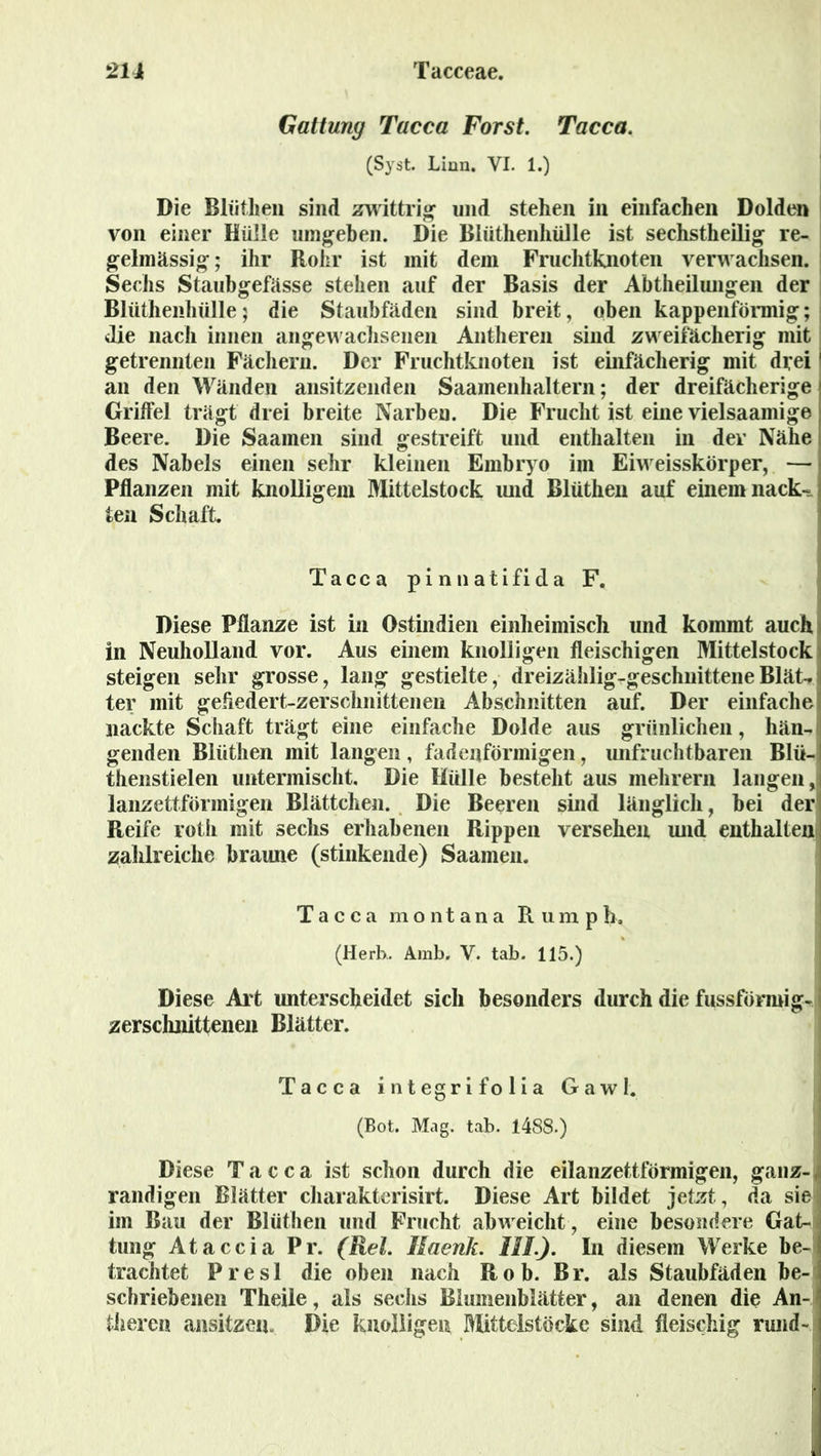 Tacceae. 2U Gattung Tacca Forst. Tacca. (Syst. Linn. VI. 1.) Die Blüthen sind zwittrig und stehen in einfachen Dolden von einer Hülle umgehen. Die Blüthenhülle ist sechstheilig re- gelmässig ; ihr Rohr ist mit dem Fruchtknoten verwachsen. Sechs Staubgefässe stehen auf der Basis der Abtheilungen der Blüthenhülle; die Staubfäden sind breit, oben kappenförmig; die nach innen angewachsenen Antheren sind zweifächerig mit getrennten Fächern. Der Fruchtknoten ist einfächerig mit drei' an den Wänden ansitzenden Saamenhaltern; der dreifächerige Griffel trägt drei breite Narben. Die Frucht ist eine vielsaamige Beere. Die Saamen sind gestreift und enthalten in der Nähe des Nabels einen sehr kleinen Embryo im Eiweisskörper, — Pflanzen mit knolligem Mittelstock und Blüthen auf einem nack- ten Schaft. Tacca pinnatifida F. Diese Pflanze ist in Ostindien einheimisch und kommt auch in Neuholland vor. Aus einem knolligen fleischigen Mittelstock steigen sehr grosse, lang gestielte, dreizählig-geschnittene BläU ter mit gefledert-zerschnittenen Abschnitten auf. Der einfache nackte Schaft trägt eine einfache Dolde aus grünlichen, hän-^ genden Blüthen mit langen, fadenförmigen, unfruchtbaren Blü- thenstielen untermischt. Die Hülle besteht aus mehrern langen, lanzettförmigen Blättchen. Die Beeren sind länglich, bei der Reife roth mit sechs erhabenen Rippen versehen und enthalten zahlreiche braune (stinkende) Saamen. Tacca montana R u m p h, (Herb.. Amb. V. tab. 115.) Diese Art unterscheidet sich besonders durch die fussförmig-1 zerschnittenen Blätter. Tacca integrifolia Gawl. (Bot. Mag. tab. 1488.) Diese Tacca ist schon durch die eilanzettförmigen, ganz-jj randigen Blätter charakterisirt. Diese Art bildet jetzt, da siel im Bau der Blüthen und Frucht abweicht, eine besondere Gat- tung Ataccia Pr. (Rel. Haenk. HL). In diesem Werke be- trachtet Presl die oben nach Rob. Br. als Staubfäden be- schriebenen Theile, als sechs Blumenblätter, an denen die An-1 tlieren ansitzen. Die knolligen Mittelstöcke sind fleischig rund-