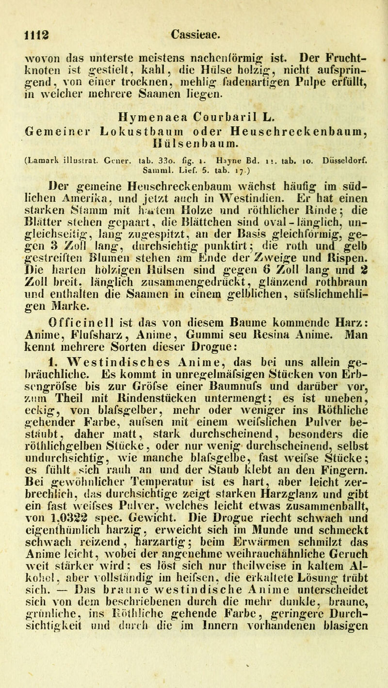 wovon das unterste meistens nachenförmig ist. Der Frucht- knoten ist gestielt, kahl, die Hülse holzig, nicht aufsprin- gend, von einer trocknen, mehlig fadenartigen Pulpe erfüllt, in welcher mehrere Saainen liegen. Hymenaea Courbaril L. Gemeiner Lokustbaum oder Heuschreckenbaum, Hülsen bäum. (Lamark illustrat. Gcner. tab. 33o. fig. 1. Hajne Bd. i •. tab. 10. Düsseldorf. Sainml. Lief. 5. tab. 17.) Der gemeine Heuschreckenbaum wächst häutig im süd- lichen Amerika, und jetzt auch in Westindien. Er hat einen starken Stamm mit hAitern Holze und röthlicher Rinde; die Blätter stehen gepaart, die Blättchen sind oval - länglich, un- gleichseitig, lang zugespitzt, an der Basis gleichförmig, ge- gen 3 Zoll lang, durchsichtig punktirt; die roth und gelb gestreiften Blumen stehen am Ende der Zweige und Rispen. Die harten holzigen Hülsen sind gegen 6 Zoll lang und 2 Zoll breit, länglich zusammengedrückt, glänzend rothbraun und enthalten die Saamen in einem gelblichen, süfslichmehli- gen Marke. Officinell ist das von diesem Baume kommende Harz: Anime, Flufsharz, Anirne, Gummi seu Rcsina Anime. Man kennt mehrere Sorten dieser Drogue: 1. Westindisches Anime, das bei uns allein ge- bräuchliche. Es kommt in unregelmäfsigen Stücken von Erb- sengröfse bis zur Gröfse einer Baumnufs und darüber vor, zum Theil mit Rindenstücken untermengt} es ist uneben, eckig, von blafsgelber, mehr oder weniger ins Röthliche gehender Farbe, aufsen mit einem weifslichen Pulver be- stäubt, daher matt, stark durchscheinend, besonders die röthlichgelben Stücke, oder nur wenig durchscheinend, selbst undurchsichtig, wie manche blafsgelbe, fast weifse Stücke; es fühlt sich rauh an und der Staub klebt an den Fingern. Bei gewöhnlicher Temperatur ist es hart, aber leicht zer- brechlich, das durchsichtige zeigt starken Harzglanz und gibt ein fast weifses Pulver, welches leicht etwas zusammenballt, von 1,0322 spec. Gewicht. Die Drogue riecht schwach und eigenth tunlich harzig, erweicht sich im Munde und schmeckt schwach reizend, harzartig; beim Erwärmen schmilzt das Anime leicht, wobei der angenehme weihrauchähnliche Geruch weit stärker wird ; es löst sich nur theilweise in kaltem Al- kohol, aber vollständig im heifsen, die erkaltete Lösung trübt sich. — Das braune westindische Anime unterscheidet sich von dem beschriebenen durch die mehr dunkle, braune, grünliche, ins Röthliche gehende Farbe, geringere Durch- sichtigkeit und durch die im Innern vorhandenen blasigen