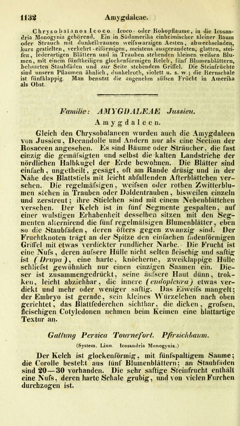 C h rys o b al a n o s Icoco Icoco- oder Kokopflaume, in die Icosan- dria Monogynia gehörend. Ein in Südamerika einheimischer kleiner Baum oder Strauch mit dunkelbraunen weifswarzigeD Aestcn, abwechselnden, kurz gestielten, verkehrt - eiförmigen, meistens ausgerandeten, glatten, stei- fen, lederartigen Blättern und in Trauben stehenden kleinen weilsen Blu- men, mit einem fünftheiligen glockenförmigen Kelch, fünf Blumenblättern, behaarten Staubfäden und zur Seite stehendem Griffel. Die Steinfrüchte sind unsern Pflaumen ähnlich, dunkelrotb, violett u. s. w ; die Kernschale ist fünfklappig. Man benutzt die angenehm süfsen Frücht in Amerika als Obst. Familie: AMYGDALEAE Jussien. Amygdaleen. Gleich den Chrysobalaneen wurden auch die Amygdaleen von Jussieu, Decandolle und Andern nur als eine Section der Rosaceen angesehen. Es sind Bäume oder Sträucher, die fast einzig die gemäfsigten und selbst die kalten Landstriche der nördlichen Halbkugel der Erde bewohnen. Die Blätter sind einfach, ungetheilt, gesägt, oft am Rande drüsig und in der Nähe des Blattstiels mit leicht abfallenden Afterblättchen ver- sehen. Die regelmäfsigen, weifsen oder rothen Zwitterblu- men stehen in Trauben oder Doldentrauben, bisweilen einzeln und zerstreut ; ihre Stielchen sind mit einem Nebenblättchen versehen. Der Kelch ist in fünf Segmente gespalten, auf einer wulstigen Erhabenheit desselben sitzen mit den Seg- menten alternirend die fünf regelmäfsigen Blumenblätter, eben so die Staubfäden, deren öfters gegen zwanzig sind. Der Fruchtknoten trägt an der Spitze den einfachen fadenförmigen Griffel mit etwas verdickter rundlicher Narbe. Die Frucht ist eine Nufs, deren äufsere Hülle nicht selten fleischig und saftig ist (IJrupaJ, eine harte, knöcherne, zweiklappige Hülle schliefst gewöhnlich nur einen einzigen Saamen ein. Die- ser ist zusammengedrückt, seine äufsere Haut dünn, trok- ken, leicht abziehbar, die innere (endopleuraj etwas ver- dickt und mehr oder weniger saftig*. Das Eiweifs mangelt; der Embryo ist gerade, sein kleines Würzelchen nach oben gerichtet, das ßlattfederchen sichtbar, die dicken, grofsen, fleischigen Cotyledonen nehmen beim Keimen eine blattartige Textur an. Gallnng Persica Tourneforl. Pfirsichbaim. (System. Linn. Icosandria Monogynia.) Der Kelch ist glockenförmig, mit fünfspaltigem Saume; die Corolle besteht aus fünf Blumenblättern; an Staubfaden sind 20—30 vorhanden. Die sehr saftige Steinfrucht enthält eine Nufs, deren harte Schale grubig, und von vielen Furchen durchzogen ist.